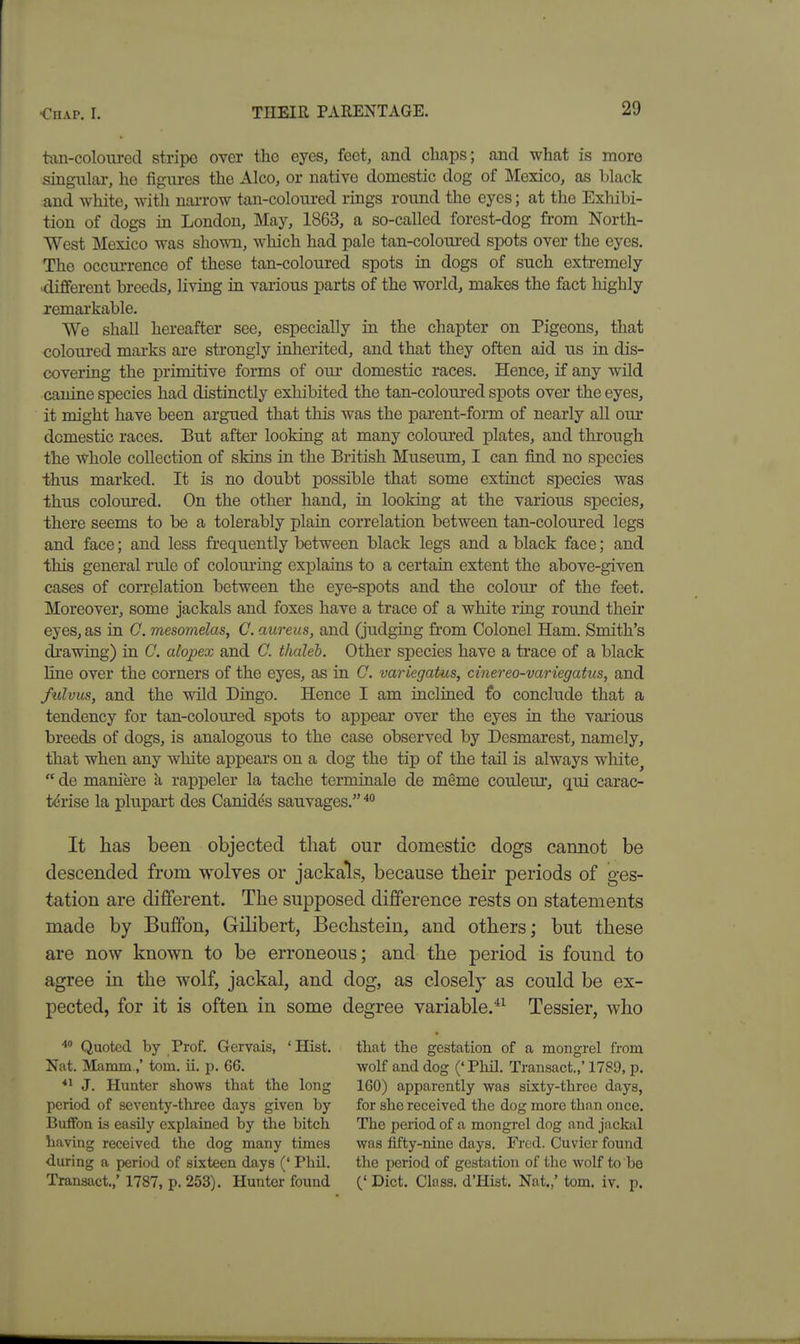 tixn-colourecl stripe over the eyes, feet, and cliaps; and what is more singular, he figm-es the Alco, or native domestic dog of Mexico, as black and white, with nai-row tan-coloured rings round the eyes; at the Exhibi- tion of dogs in London, May, 1863, a so-called forest-dog from North- West Mexico was shown, which had pale tan-coloui'ed spots over the eyes. The occurrence of these tan-coloured spots in dogs of such extremely different breeds, living in various parts of the world, makes the fact highly remarkable. We shall hereafter see, especially in the chapter on Pigeons, that coloiu-ed marks are strongly inherited, and that they often aid us in dis- covering the primitive forms of our domestic races. Hence, if any wild canine species had distinctly exhibited the tan-coloured spots over the eyes, it might have been argued that this was the parent-form of nearly all our domestic races. But after looking at many coloured plates, and through the whole collection of skins in the British Museum, I can find no species •thus marked. It is no doubt possible that some extinct species was thus coloured. On the other hand, in looking at the various species, there seems to be a tolerably plain correlation between tan-coloured legs and face; and less frequently between black legs and a black face; and this general rule of colouring explains to a certain extent the above-given cases of con-elation between the eye-spots and the colour of the feet. Moreover, some jackals and foxes have a trace of a white ring round their eyes, as in G. mesomelas, C. aureus, and (judging from Colonel Ham. Smith's drawing) in C. alopex and C. thdleb. Other species have a trace of a black line over the corners of the eyes, as in C. variegatus, cinereo-variegatus, and fulvus, and the wild Dingo. Hence I am inclined fo conclude that a tendency for tan-coloured spots to appear over the eyes in the various breeds of dogs, is analogous to the case observed by Desmarest, namely, that when any white appears on a dog the tip of the tail is always white^  de maniere ii rappeler la tache terminale de meme couleur, qui carac- tdrise la plupart des Canides sauvages. It has been objected that our domestic dogs cannot be descended from wolves or jackals, because their periods of ges- tation are different. The supposed difference rests on statements made by Buffon, Gilibert, Bechstein, and others; but these are now known to be erroneous; and the period is found to agree in the wolf, jackal, and dog, as closely as could be ex- pected, for it is often in some degree variable.*^ Tessier, who Quoted by Prof. Gervais, 'Hist. Nat. Mamm.,' torn. ii. p. 66. *^ J. Hunter shows that the long period of seventy-three days given by Buffon is easily explained by the bitch having received the dog many times ■during a period of sixteen days (' Phil. Transact.,' 1787, p. 253). Hunter found that the gestation of a mongrel from wolf and dog (' Phil. Transact.,' 1789, p. 160) apparently was sixty-three days, for she received the dog more than once. The period of a mongrel dog and jackal was fifty-nine days. Fred. Cuvier found the period of gestation of the wolf to be (' Diet. Class. d'Hist. Nat.,' torn. iv. p.