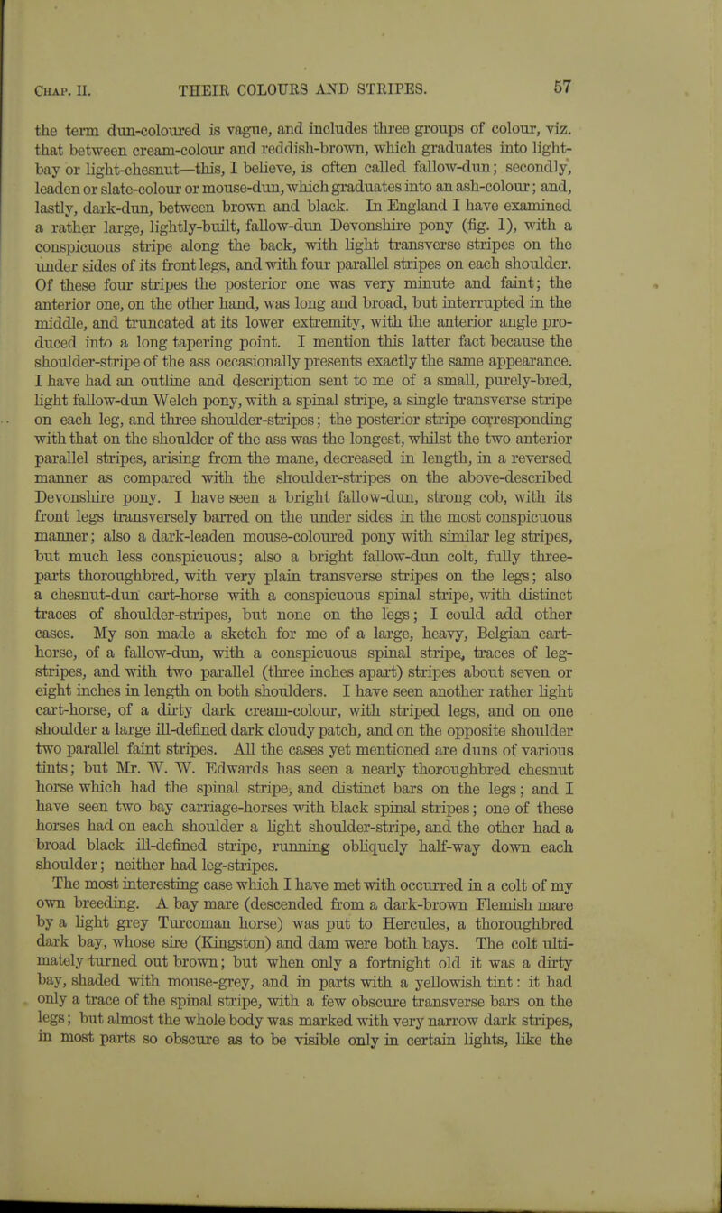 the term dun-coloured is vague, and includes three groups of colour, viz. that between cream-colour and reddish-brown, which graduates into light- bay or light-chesnut—this, I believe, is often called fallow-dim; secondly, leaden or slate-colour or mouse-dun, which gi-aduates into an ash-colour; and, lastly, dark-dun, between brown and black. In England I have examined a rather large, lightly-built, fallow-dun Devonshire pony (fig. 1), with a conspicuous stripe along the back, with light transverse stripes on the xmder sides of its front legs, and with four parallel stripes on each shoulder. Of these four stripes the posterior one was very minute and faint; the anterior one, on the other hand, was long and broad, but interrupted in the middle, and ti'uncated at its lower exti-emity, with the anterior angle pro- duced into a long tapering point. I mention this latter fact because the shoulder-sti'ipe of the ass occasionally presents exactly the same appearance. I have had an outline and description sent to me of a small, purely-bred. Light fallow-dun Welch pony, with a spinal stripe, a single transverse stripe on each leg, and three shoulder-stripes; the posterior stripe corresponding with that on the shoulder of the ass was the longest, whilst the two anterior parallel stripes, arising from the mane, decreased in length, in a reversed manner as compared with the shoulder-stripes on the above-described Devonshire pony. I have seen a bright fallow-dun, strong cob, with its front legs transversely barred on the under sides in the most conspicuous manner; also a dark-leaden mouse-coloured pony with similar leg stripes, but much less conspicuous; also a bright fallow-dun colt, fully three- parts thoroughbred, with very plain transverse stripes on the legs; also a chesnut-dun cart-horse with a conspicuous spinal stripe, with distinct traces of shoulder-stripes, but none on the legs; I could add other cases. My son made a sketch for me of a large, heavy, Belgian cart- horse, of a fallow-dun, with a conspicuous spinal stripe, traces of leg- stripes, and with two parallel (three inches apart) stripes about seven or eight inches in length on both shoulders. I have seen another rather light cart-horse, of a dirty dark cream-colour, with striped legs, and on one shoulder a large ill-defined dark cloudy patch, and on the opposite shoulder two parallel faint stripes. All the cases yet mentioned are duns of various tints; but Mr. W. W. Edwards has seen a nearly thoroughbred chesnut horse which had the spinal stripe, and distinct bars on the legs; and I have seen two bay carriage-horses with black spinal stripes; one of these horses had on each shoulder a hght shoulder-stripe, and the other had a broad black ill-defined stripe, running obHquely half-way down each shoulder; neither had leg-stripes. The most interesting case which I have met with occurred in a colt of my own breeding. A bay mare (descended from a dark-brown Flemish mare by a hght grey Turcoman horse) was put to Hercules, a thoroughbred dark bay, whose sire (Kingston) and dam were both bays. The colt ulti- mately turned out brown; but when only a fortnight old it was a dirty bay, shaded with mouse-grey, and in parts with a yellowish tint: it had only a trace of the spinal stripe, with a few obscure transverse bars on the legs; but almost the whole body was marked with very narrow dark stripes, in most parts so obscure as to be visible only in certain lights, like the