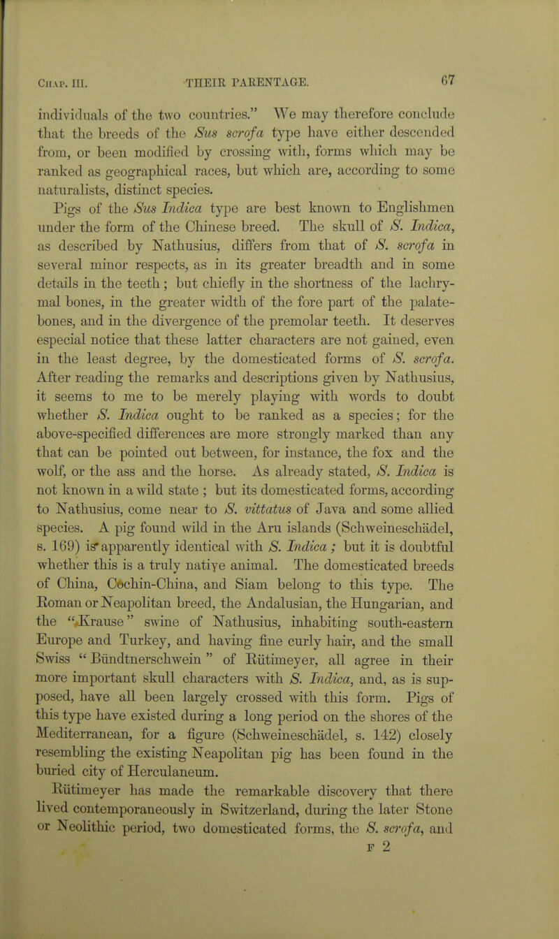 individuals of the two countries. We may therefore conclude that the breeds of the Sus scrofa type have either descended from, or been modified by crossing with, forms which may be ranked as geographical races, but which are, according to some naturalists, distinct species. Pigs of the Sus Indica type are best known to Englishmen imder the form of the Chinese breed. The skull of S. Indica, as described by Nathusius, differs from that of S. scrofa in several minor respects, as in its greater breadth and in some details in the teeth ; but chiefly in the shortness of the lachry- mal bones, in the greater width of the fore part of the palate- bones, and in the divergence of the premolar teeth. It deserves especial notice that these latter characters are not gained, even in the least degree, by the domesticated forms of S. scrofa. After reading the remarks and descriptions given by Nathusius, it seems to me to be merely playing with words to doubt whether S. Indica ought to be ranked as a species; for the above-specified differences are more strongly marked than any that can be pointed out between, for instance, the fox and the wolf, or the ass and the horse. As already stated, S. Indica is not known in a wild state ; but its domesticated forms, according to Nathusius, come near to S. vittatus of Java and some allied species. A pig found wild in the Aru islands (Schweineschadel, s. 169) is* apparently identical with S. Indica; but it is doubtful whether this is a truly natiye animal. The domesticated breeds of China, Ciichin-China, and Siam belong to this type. The Eoman or Neapolitan breed, the Andalusian, the Hungarian, and the .Krause swine of Nathusius, inhabiting south-eastern Europe and Turkey, and having fine curly hair, and the small Swiss  Biindtnerschwein  of Riitimeyer, all agree in their more important skull characters with /S. Indica, and, as is sup- posed, have all been largely crossed with this form. Pigs of this type have existed during a long period on the shores of the Mediterranean, for a figure (Schweineschadel, s. 142) closely resembling the existing Neapolitan pig has been found in the buried city of Herculaneum. Riitimeyer has made the remarkable discovery that there lived contemporaneously in Switzerland, during the later Stone or Neolithic period, two domesticated forms, the S. scrofa, and p 2