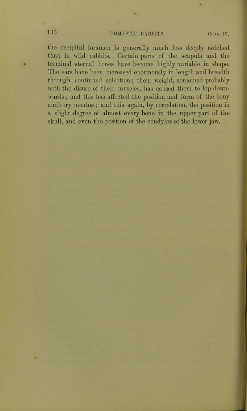 the occipital foramen is generally much less deeply notched than in wild rabbits. Certain parts of the scapula and the terminal sternal bones have become highly variable in shape. The ears have been increased enormously in length and breadth through continued selection; their weight, conjoined probably with the disuse of their muscles, has caused them to lop down- wards ; and this has affected the position and form of the bony auditory meatus ; and this again, by correlation, the position in a slight degree of almost every bone in the upper part of the skull, and even the position of the condyles of the lower jaw.