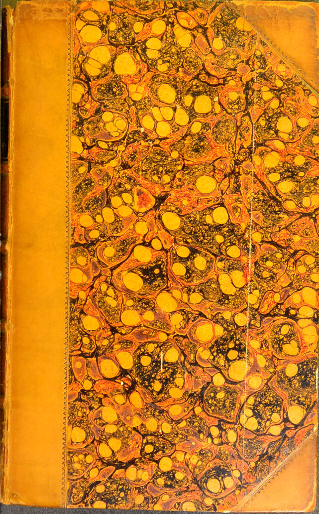 No text description is available for this image