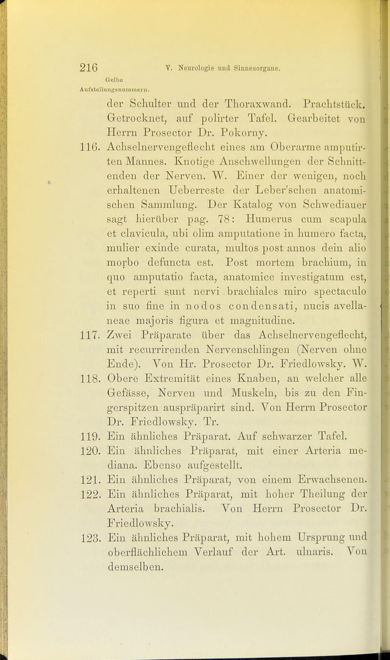 Gelbe Äufstellungsnummern. der Schulter und der Thortixwand. Prachtstück. Getrocknet, auf poHrter TafeL Gearbeitet von Herrn Prosector Dr. Pokorny. 116. Achselnervengeflecht eines am Oberarme amputir- ten Mannes. Knotige Anschwellungen der Schnitt- enden der Nerven. W. Einer der wenigen, noch erhaltenen Ueberreste der Leber'scheu anatomi- schen Sammlung. Der Katalog von Schwediauer sagt hierüber pag. 78: Humerus cvim scapula et clavicula, ubi olim amputatione in humero facta, mulier exinde curata, multos post annos dein alio morbo defuncta est. Post mortem brachium, in quo amputatio facta, anatomice investigatum est, et reperti sunt nervi brachiales miro spectaculo in suo fine in nodos condensati, nucis avella- neae majoris figura et magnitudine. 117. Zwei Präparate über das Achselnervengeflecht, mit recurrirenden Nervenschlingen (Nerven ohne Ende). Von Hr. Prosector Dr. Friedlowsky. W. 118. Obere Extremität eines Knaben, an welcher alle Gefässe, Nerven und Muskeln, bis zu den Fin- gerspitzen auspräparirt sind. Von Herrn Prosector Dr. Fried]owsky. Tr. 119. Ein ähnliches Präparat. Auf schwarzer Tafel. 120. Ein ähnliches Präparat, mit einer Arteria me- diana. Ebenso atifgestellt. 121. Ein ähnliches Präparat, von einem Erwachsenen. 122. Ein ähnliches Präparat, mit hoher Theiluug der Arteria brachialis. Von Herrn Prosector Dr. Frie dl owsky. 123. Ein ähnliches Präparat, mit hohem Ursprung und oberflächlichem Verlauf der Art. ulnaris. Von demselben.