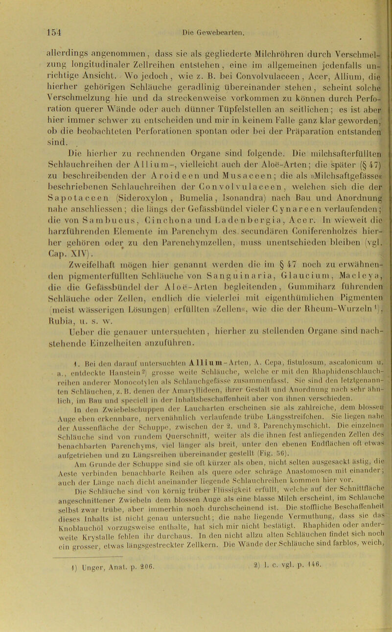 allerdings angenommen, dass sie als gegliederte Milchröhren durch Verschmel- zung longitudinaler Zell reihen entstehen, eine im allgemeinen jedenfalls un- richtige Ansicht. Wo jedoch , wie z. B. hei Convolvulaceen , Acer, Alliurn, die hierher gehörigen Schläuche geradlinig übereinander stehen, scheint solche Verschmelzung hie und da streckenweise Vorkommen zu können durch Perfo- ration querer Wände oder auch dünner Tüpfelslellen an seitlichen; es ist aber hier immer schwer zu entscheiden und mir in keinem Falle ganz klar geworden, ob die beobachteten Perforationen spontan oder bei der Präparation entstanden sind. Die hierher zu rechnenden Organe sind folgende. Die milchsafterfüllten Schlauchreihen der Alliurn-, vielleicht auch der Aloö-Arlen; die später (§47) zu beschreibenden der Aroideen und Musaceen; die als »Milchsaflgefässe« beschriebenen Schlauchreihen der Convolvulaceen, welchen sich die der Sapotaceen (Sideroxylon , Bumelia, Isonandra) nach Bau und Anordnung nahe anschliessen; die längs der Gefässbündel vieler Cynareen verlaufenden; die von Sambueus, Cinchona und Ladenbergia, Acer. In wieweit die harzführenden Elemente im Parenchym des secundären Coniferenholzes hier- her gehören oder zu den Parenchymzellen, muss unentschieden bleiben (vgl. Cap. XIV). Zweifelhaft mögen hier genannt werden die im § 47 noch zu erwähnen- den pigmenlerfUllten Schläuche von Sanguinaria, Glaucium, Macleya, die die Gefässbündel der Aloe-Arten begleitenden, Gummiharz führenden Schläuche oder Zellen, endlich die vielerlei mit eigenthümlichen Pigmenten meist wässerigen Lösungen) erfüllten »Zellen«, wie die der Rhcum-Wurzeln Rubia, u. s. w. lieber die genauer untersuchten, hierher zu stellenden Organe sind nach- stehende Einzelheiten anzuführen. 1. Bei den darauf untersuchten Allium-Arten, A. Cepa, fistulosum, ascalonicum u. a., entdeckte Hanslcin2) grosse weite Schläuche, welche er milden Rhaphidenschlauch- reihen anderer Monocolylen als Sohlauchgefässe zusammenfasst. Sie sind den letztgenann- ten Schläuchen, z. B. denen der Amaryllideen, ihrer Gestalt und Anordnung nach sehr ähn- lich, im Bau und speciell in der InbaltsbeschafTonheit aber von ihnen verschieden. ln den Zwiebelschuppen der Laucharten erscheinen sic als zahlreiche, dem blossen Auge eben erkennbare, ner\unähnlich verlaufende trübe Längsstreifchen. Sic liegen nahe der Aussenflüche der Schuppe, zwischen der 2. und 3. Parenchymschicht. Die einzelnen Schläuche sind von rundem Querschnitt, weiter als die ihnen fest anliegenden Zellen des benachbarten Parenchyms, viel länger als breit, unter den ebenen Endflächen oft etwas aufgetrieben und zu Längsreihen übereinander gestellt (Fig. 50). Am Grunde der Schuppe sind sie oft kürzer als oben, nicht selten ausgesackt ästig, die Aeste verbinden benachbarte Reihen als quere oder schräge Anastomosen miteinander; auch der Länge nach dicht aneinander liegende Schlauchreihen kommen hier vor. Die Schläuche sind von körnig trüber Flüssigkeit erfüllt, welche aut der Schnittflä( he angeschnittener Zwiebeln dem blossen Auge als eine blasse Milch erscheint, im Schlauche selbst zwar trübe, aber immerhin noch durchscheinend ist. Die stoffliche Beschaffenheit dieses Inhalts ist nicht genau untersucht; die nahe liegende Vermuthung, dass sie das Knoblauchöl vorzugsweise enthalte, hat sich mir nicht bestätigt. Rhaphidcn oder andei - weite Krystalle fehlen ihr durchaus, ln den nicht allzu alten Schläuchen findet sich noch ein grosser, etwas längsgestreckter Zellkern. Die Wände der Schläuche sind farblos, weich, -1) Unger, Anal. p. 206. 2) 1. C. vgl. p. 146.