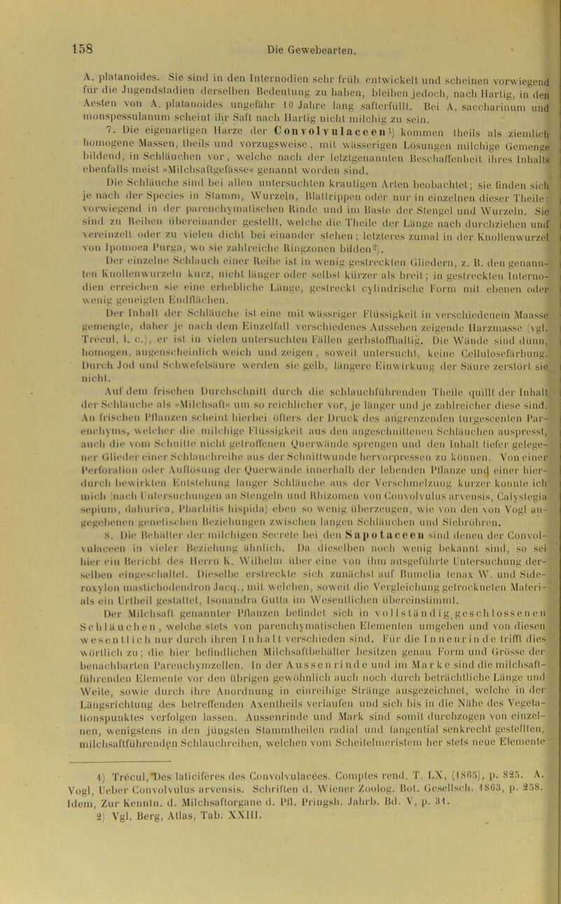 A. platanoides. Sie sind in den Internodien sehr früli entwickelt und scheinen vorwiegend für die Jugendstadien derselben Bedeutung zu haben, bleiben jedoch, nach Hartig, in den Aesten von A. platanoides ungefähr 10 Jahre lang safterfüllt. Bei A. saccharinuni und monspessulanum scheint ihr Saft nach Hartig nicht milchig zu sein. 7. Die eigenartigen Harze der Convolvulaccen >) kommen theils als ziemlich homogene Massen, theils und vorzugsweise, mit wässerigen Lösungen milchige Gemenge bildend, in Schläuchen vor, welche nach der letztgenannten Beschaffenheit ihres Inhalt] j ebenfalls meist »Milehsaftgefässe« genannt worden sind. Die Schläuche sind bei allen untersuchten krautigen Arten beobachtet; sie finden sieh je nach der Species in Stamm, Wurzeln, Blallrippcn oder nur in einzelnen dieser Theile: vorwiegend in der parenchymalischen Rinde und im Baste der Stengel und Wurzeln. Sie sind zu Reihen übereinander gestellt, welche die Theile der Lange nach durchziehen und i vereinzelt oder zu vielen dicht bei einander stehen ; letzteres zumal in der Knollenwurzel von Ipomoea Purga, wo sie zahlreiche Ringzonen bilden1 2). Der einzelne Schlauch einer Reihe ist in wenig gestreckten Gliedern, z. B. den genann- ten Knollenwurzeln kurz, nicht länger oder selbst kürzer als breit; in gestreckten Interno- dien erreichen sie eine erhebliche Länge, gestreckt cylindrischc Komi mit ebenen oder wenig geneigten Endflächen. Der Inhalt der Schläuche ist eine mit wässriger Flüssigkeit in verschiedenem Maasse gemengte, datier je nach dem Einzelfall verschiedenes Aussehen zeigende llarzmasse (vgl. Treeul, I. c.), er ist in vielen untersuchten Fällen gerbslofi'hallig. Die Wände sind dünn, homogen, augenscheinlich weich und zeigen , soweit untersucht, keine Cellulosefärbung.- Durch Jod und Schwefelsäure werden sie gelb, längere Einwirkung der Säure zerstört sie i nicht. Auf dem frischen Durchschnitt durch die schlauchführenden Theile quillt der Inhalt der Schläuche als »Milchsaft« um so reichlicher vor, je länger und je zahlreicher diese sind. An frischen Pflanzen scheint hierbei öfters der Druck des angrenzenden turgesccnfen Par- enchyms, welcher die milchige Flüssigkeit aus den angeschnittenen Schläuchen auspresst, auch die vom Schnitte nicht getroffenen Querwände sprengen und den Inhalt tiefer gelege- ner Glieder einer Schlauchreihe aus der Schnittwunde hervorpressen zu können. Von einer Perforation oder Auflösung der Querwände innerhalb der lebenden Pflanze und einer hier- durch bewirkten Entstehung langer Schläuche aus der Verschmelzung kurzer konnte ich mich nach Untersuchungen an Stengeln und Rhizomen von Convolvulus arvensis, Calystegia sepium, dahurica, Pharbilis hispida) eben so wenig überzeugen, wie von den von Vogl an- gegebenen genetischen Beziehungen zwischen langen Schläuchen und Siebröhren. s. Die Behälter der milchigen Sccrete bei den Sa potaeeen sind denen der Convol- vulaceen in vieler Beziehung ähnlich. Da dieselben noch wenig bekannt sind, so sei hierein Bericht des Herrn K. Wilhelm über eine von ihm ausgcl’ührle Untersuchung der- selben eingeschaltet. Dieselbe erstreckte sich zunächst auf ßumelia lenax W. und Side-J roxylon mastichodendron Jaeq., mit welchen, soweit die Vergleichung getrockneten Materi- als ein Uriheil gestaltet, Isonandra Gutta im Wesentlichen übereinstimml. Der Milchsaft genannter Pflanzen befindet sich in vol lstän d ig.gesch lossen en Schläuchen , welche stets von parenchymalischen Elementen umgeben und von diesen w escn 11 i ch nur durch ihren 1 n h a 11 verschieden sind. Für die I n nen r in de trifft dies wörtlich zu; die hier befindlichen Milchsaftbehältcr besitzen genau Form und Grösse der benachbarten Parenchymzellen. In der Aussen rinde und im Marke sind die milchsaft- führenden Elemente vor den übrigen gewöhnlich auch noch durch beträchtliche Länge und Weite, sowie durch ihre Anordnung in einreihige Stränge ausgezeichnet, welche in der Längsrichtung des betreffenden Axentheils verlaufen und sich bis in die Nähe des Vegeta- tionspunktes verfolgen lassen. Aussenrinde und Mark sind somit durchzogen von einzel- nen, wenigstens in den jüngsten Stammtheilen radial und tangential senkrecht gestellten, milchsaftführenden Schlauchreihen, welchen vom Scheitelmeristem her stets neue Elemente 1) Tröcul,*Des laticiferes des Convolvulacöes. Comptes rend. T. LN, (18(55), p. 825.' A. Vogl, Ucber Convolvulus arvensis. Schriften d. Wiener Zoolog. Bol. Gesellsch. 18G3, p. 258. Idem, Zur Kennln. d. Milchsaftorgane d. Pli. Pringsh. Jahrb. Bd. V, p. 31. 2) Vgl. Berg, Atlas, Tab. XXIII.