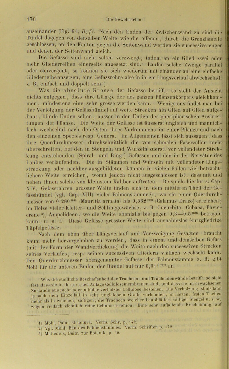 auseinander (big. 61, D,/). Nach den Enden der Zwischenwand zu sind die Tüpfel dagegen von derselben Weite wie die offenen, durch die Grenzlamelle geschlossen, an den Kanten gegen die Seitenwand werden sie successive enger und denen der Seitenwand gleich. Die Gefässe sind nicht selten verzweigt, indem an ein Glied zwei oder mehr Gliederreihen einerseits angeselzt sind. Laufen solche Zweige parallel oder convergent, so können sie sich wiederum mit einander an eine einfache Gliederreihe anselzen, eine Gefässröhre also in ihrem Längsverlauf abwechselnd, z. B. einfach und doppelt sein1). Was die absolute Grösse der Gefässe betrifft, so steht der Ansicht nichts entgegen, dass ihre Länge der des ganzen Pflanzenkörpers gleichkom- men , mindestens eine sehr grosse werden kann. Wenigstens findet man bei der Verfolgung der Gefässbündel auf weile Strecken hin Glied auf Glied aufge- baut . blinde Enden selten, ausser in den Enden der pheripherischen Ausbrei- tungen der Pflanze. Die Weite der Gefässe ist äusserst ungleich und mannich- faeh wechselnd nach den Orlen ihres Vorkommens in einer Pflanze und nach den einzelnen Species resp. Genera. Im Allgemeinen lässt sich aussagen, dass ihre Querdurclnnesser durchschnittlich die von schmalen Faserzellen nicht überschreiten, bei den in Stengeln und Wurzeln zuerst, vor vollendeter Strek- kung entstehenden (Spiral- und Ring-) Gelassen und den in der Nervatur des Laubes verlaufenden. Die in Stämmen und Wurzeln mit vollendeter Längs- streckung oder nachher ausgebildeten können in vielen Fällen viel beträcht- lichere Weite erreichen, womit jedoch nicht ausgeschlossen ist, dass mit und neben ihnen solche von kleinstem Kaliber auftrelen. Beispiele hierfür s. Gap! XIV. Gefässröhren grösster Weite finden sich in dem mittleren Theil der Ge- fässbündel (vgl. Gap. VIII) vieler Palmenstämme2) , wo sie einen Querdurch- messer von 0,280 mm (Mau ril ia armala) bis 0,5021,1,11 (Galamus Draco) erreichen; im Holze vieler Kletler- und Schlinggewächse, z. B. Cucurbita, Gobaea, Phylo- crene3), Ampelideen, wo die Weite ebenfalls bis gegen 0,3—0,5 mm betragen kann, u. s. f. Diese Gefässe grösster Weite sind ausnahmslos kurzgliedrige Titpfelgefässe. Nach dem oben über Längsverlauf und Verzweigung Gesagten braucht kaum mehr hervorgehoben zu werden, dass in einem und demselben Gefäss (mit der Form der Wandverdickung) die Weite nach den successiven Strecken seines Verlaufes, resp. seinen successiven Gliedern vielfach wechseln kann. Den Querdurchmesser obengenannter Gefässe der Palmenstämme z. B. gibt Mohl für die unteren Enden der Bündel auf nur 0,011,nm an. Was die stoffliche Beschaffenheit der Tracheen- und Tracheidenwähde betrifft, so steht fest dass sic in ihrer ersten Anlage Cellulosemembranen sind, und dass sie im erwachsenen Zustande aus mehr oder minder verholzter Cellulose bestehen. Die Verholzung ist alsdann je nach dem Einzelfall in sehr ungleichem Grade vorhanden; in harten, festen Theilcn mehr als in weichen, saftigen ; die Tracheen weicher Lauhblätler, saftiger Stengel u. s. w. zeigen vielfach ziemlich reine Cellulösereaction. Eine sehr auffallende Erscheinung, aut 1) Mohl, Palm, structura. Verra. Sehr. p. 142. 2) Vgl. Mohl, Bau des Palmenstammes. Venn. Schriften p. 142. 8) Mettenius, Beitr. zur Botanik, p. 80.