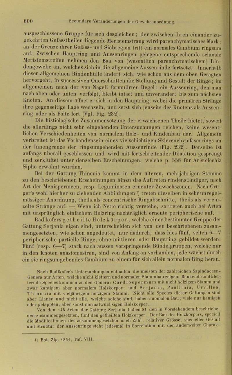ausgeschlossene Gruppe für sich desgleichen; der zwischen ihren einander zu- gekehrten Gefässlheilen liegende Meristemstrang wird parenchymatisches Mark; an der Grenze ihrer Gefäss- und Siebregion tritt ein normales Cambium ringsum auf. Zwischen Hauptring und Aussenringen gelegene entsprechende schmale Merislemslreifen nehmen den Bau von (wesentlich parenchymatischem) Rin- dengewebe an, welches sich in die allgemeine Aussenrinde fortsetzt. Innerhalb dieser allgemeinen Rindenhülle ändert sich, wie schon aus dem oben Gesagten hervorgeht, in successiven Querschnitten die Stellung und Gestalt der Ringe; im allgemeinen nach der von Nägeli formulirten Regel: ein Aussenring, den man nach oben oder unten verfolgt, bleibt intacl und unverändert bis zum nächsten Knoten. An diesem öffnet er sich in den Hauplring, wobei die primären Stränge ihre gegenseitige Lage wechseln, und setzt sich jenseits des Knotens als Aussen- ring oder als Falte fort (Vgl. Fig. 232). Die histiologische Zusammensetzung der erwachsenen Theile bietet, soweit die allerdings nicht sehr eingehenden Untersuchungen reichen, keine wesent- lichen Verschiedenheiten von normalem Holz- und Rindenbau dar. Allgemein verbreitet ist das Vorhandensein eines vielschichtigen Sklerenchymfaserrings an der Innengrenze der ringsumgehenden Aussenrinde (Fig. 232). Derselbe ist anfangs überall geschlossen und wird mit fortschreitender Dilatation gesprengt und zerklüftet unter denselben Erscheinungen, welche p. 558 für Aristolochia Sipho erwähnt wurden. Bei der Gattung Thinouia kommt in dem älteren, mehrjährigen Stamme zu den beschriebenen Erscheinungen hinzu das Auftreten rindenständiger, nach Art der Menispcrrneen, resp. Leguminosen erneuter Zuwachszonen. Nach Crü- ger’s w'ohl hierher zu ziehenden Abbildungen ') treten dieselben in sehr unregel- mässiger Anordnung, theils als concentrische Ringabschnitte, theils als verein- zelte Stränge auf. — Wenn ich Netto richtig verstehe, so treten auch bei Arten mit ursprünglich einfachem Holzring nachträglich erneute peripherische auf. Radlkofers geth ei lte Holzkörper, welche einer bestimmten Gruppe der Gattung Serjania eigen sind, unterscheiden sich von den beschriebenen zusam- mengesetzten, wie schon angedeutet, nur dadurch, dass blos fünf, selten 6—7 peripherische partielle Ringe, ohne mittleren oder Hauptring gebildet werden. Fünf (resp. 6—7) stark nach aussen vorspringende Bündelgruppen, welche nur in den Knoten anastomosiren, sind von Anfang an vorhanden, jede wächst durch ein sie ringsumgebendes Cambium zu einem für sich allein normalen Ring heran. Nach Radlkofcr’s Untersuchungen enthalten die meisten der zahlreichen Sapindaceen- Genera nur Arten, welche nicht klettern und normalen Stammbau zeigen. Rankendeund klet- ternde Species kommen zu den Genera: Card iospermum mit nicht holzigem Stamm und zwar kantigem aber normalem Holzkörper; und Serjania, Pauliinia, Urvillea, Thinouia mit vieljährigem holzigem Stamm. Nicht alle Species dieser Gattungen sind aber Lianen und nicht alle, welche solche sind, haben anomalen Bau; viele nur kantigen oder gelappten, aber sonst normalwüchsigen Holzkörper. Von den 145 Arten der Gattung Serjania haben 84 den in Vorstehendem beschriebe- nen zusammengesetzten, fünf den getheilten Holzkörper. Der Bau des Ilolzkörpers, speciell die Modificationen des zusammengesetzten nach Zahl, relativer Grösse, specieller Gestalt und Structur der Aussenringe steht jedesmal in Correlation mit den anderweiten Charak- 1) Bot. Ztg. 1851, Taf. VIII.