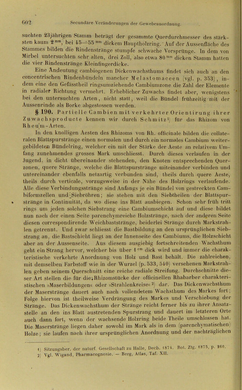 nS- suchten 23jährigen Stamm beträgt der gesammle Querdurchmesser des stärk- sten kaum 2mm, bei 45—55 mm dickem Hauptholzring. Auf der Aussenfläche des Stammes bilden die Rindenstränge stumpfe schwache Vorsprünge. In dem von Miibei untersuchten sehr alten, drei Zoll, also etwa 80ram dicken Stamm halten die vier Rindenstränge Kleinfingerdicke. Eine Andeutung cambiogenen Dickenwachsthums findet sich auch an den concentrischen Rindenbündeln mancher Melastomaceen (vgl. p. 353), in- dem eine den Gefässlheil ringsumziehende Gambiumzone die Zahl der Elemente in radialer Richtung vermehrt. Erheblicher Zuwachs findet aber, wenigstens bei den untersuchten Arten, nicht statt, weil die Riindel frühzeitig mit der Aussenrinde als Borke abgeslossen werden. § 190. Partielle Gambien mit verkehrter Orienlirung ihrer Zuwachsproducte kennen wir durch Schmitz1) für das Rhizom von Rh e um-Arten. In den knolligen Aesten des Rhizoms von Rh. officinale bilden die collate- ralen Blattspurstränge einen normalen und durch ein normales Cambium weiter- gebildeten Bündelring, welcher ein mit der Stärke der Aesle an relativem Um- fang zunehmendes grosses Mark umschliesst. Durch dieses verlaufen in der Jugend, in dicht übereinander stehenden, den Knoten entsprechenden Quer- zonen, quere Stränge, welche die Blattspurstränge miteinander verbinden und untereinander ebenfalls netzartig verbunden sind, theils durch quere Aeste, theils durch verticale, vorzugsweise in der Nähe des Holzrings verlaufende. Alle diese Verbindungsstränge sind Anfangs je ein Bündel von gestreckten Gam- biformzellen uiuUSiebröhren; sie stehen mit den Sieblheilen der Blattspur- slränge in Gonlinuität, da wo diese ins Blatt ausbiegen. Schon sehr früh tritt rings um jeden solchen Siebstrang eine Cambiumschieht auf und diese bildet nun nach der einen Seite parenchymreiche Holzstränge, nach der anderen Seite diesen correspondirende Weichbaststränge, beiderlei Stränge durch Markstrah- len getrennt. Und zwar schliesst die Bastbildung an den ursprünglichen Sieb- strang an, die Bastschicht liegt an der Innenseite des Cambiums, die Holzschicht aber an der Aussenseile. Aus diesem ausgiebig fortschreitenden Wachsthum geht ein Strang hervor, welcher bis über \ cm dick wird und immer die charak- teristische verkehrte Anordnung von Holz und Bast behält. Die zahlreichen, mit demselben Farbstoff wie in der Wurzel (p.533, 540) versehenen Markstrah- len geben seinem Querschnitt eine reiche radiale Streifung. Durchschnitte die- ser Art stellen die für die;Rhizomstücke der officinellen Rhabarber charakteri- stischen »Maserbildungen« oder »Strahlenkreise«2) dar. Das Dickenwachsthum der Maserstränge dauert auch nach vollendetem Wachslhum des Markes fort; Folge hiervon ist theilweise Verdrängung des Markes und Verschiebung der Stränge. Das Dickenwachsthum der Stränge reicht ferner bis zu ihrer Ansatz- stelle an den ins Blatt austretenden Spurstrang und dauert im letzteren Orte auch dann fort, wenn der wachsende Holzring beide Theile umschlossen hat. Die Maserstränge liegen daher sowohl im Mark als in dem (parenchymatischen) Holze; sie laufen nach ihrer ursprünglichen Anordnung und der nachträglichen t) Sitzungsber. der naturf. Gesellschaft zu Halle, Decb. 1874. Bot, Ztg. 18/5, p. 260 2) Vgl. Wigand, Pharmacognosie. — Berg, Atlas, Taf. XII.