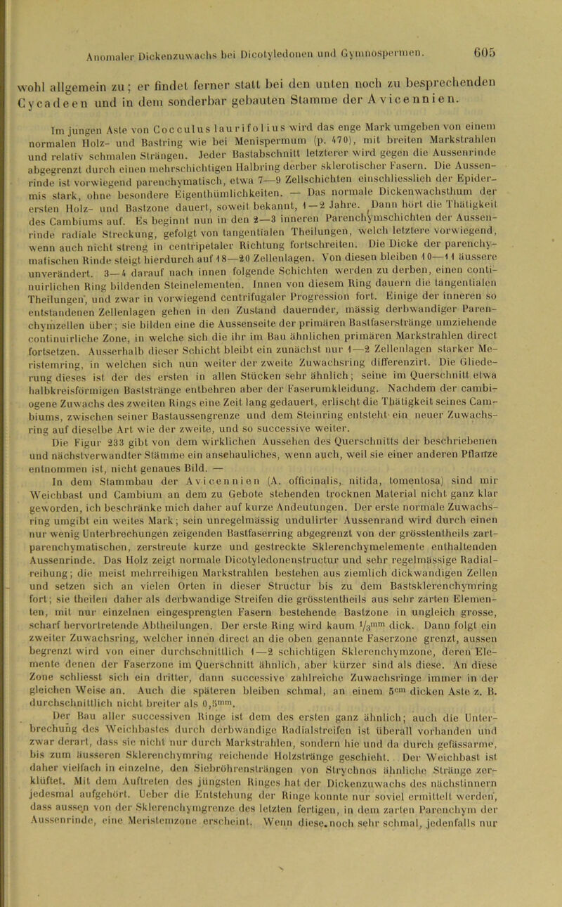 wohl allgemein zu; er findet ferner statt bei den unten noch zu besprechenden Cycadeen und in dem sonderbar gebauten Stamme der Avicennien. Im jungen Aste von Cocculus laurifol ius wird das enge Mark umgeben von einem normalen Holz- und Bastring wie bei Menispermum (p. 470), mit breiten Markstrahlen und relativ schmalen Strängen. Jeder Bastabschnitl letztoiei wiid gegen die Aussenrinde abgegrenzt durch einen mehrschichtigen Halbring derber skleiotischer fasern. Die Aussen- rinde ist vorwiegend parenchymatisch, etwa 7—9 Zellschichten einschliesslich der Epider- mis stark, ohne besondere Eigenthümlichkeiten. — Das normale Dickenwachsthum der ersten Holz- und Bastzone dauert, soweit bekannt, 1—2 Jahre. ^Dann hört die Thäligkeit des Cambiums auf. Es beginnt nun in den 2—3 inneren Parenchymschichten dei Aussen- rinde radiale Streckung, gefolgt von tangentialen Theilungen, welch letztere vorwiegend, wenn auch nicht streng in centripetaler Richtung tortschreiten. Die Dicke der parenchy— matischen Rinde steigt hierdurch aut 18—20 Zellenlagen. \on diesen bleiben 10 11 äusseie unverändert. 3—4 darauf nach innen folgende Schichten werden zu derben, einen conti- nuirlichen Ring bildenden Steinelementen. Innen von diesem Ring dauern die tangentialen Theilungen', und zwar in vorwiegend centrifugaler Progression fort. Einige der inneren so entstandenen Zellenlagen gehen in den Zustand dauernder, massig deibwandigei laien— chymzellen über ; sie bilden eine die Aussenseite der primären Bastfaserstränge umziehende continuirliche Zone, in welche sich die ihr im Bau ähnlichen primären Markstrahlen direct fortsetzen. Ausserhalb dieser Schicht bleibt ein zunächst nur 1—2 Zellenlagen starker Me- ristemring, in welchen sich nun weiter der zweite Zuwachsring differenzirt. Die Gliede- rung dieses ist der des ersten in allen Stücken sehr ähnlich; seine im Querschnitt etwa halbkreisförmigen Baststränge entbehren aber der Faserumkleidung. Nachdem der cambi- ogene Zuwachs des zweiten Rings eine Zeit lang gedauert, erlischt die Thätigkeit seines Cam- biums, zwischen seiner Bastaussengrenze und dem Steinring entsteht'ein neuer Zuwachs- ring auf dieselbe Art wie der zweite, und so successive weiter. Die Figur 233 gibt von dem wirklichen Aussehen des Querschnitts der beschriebenen und nächstverwandter Stämme ein anschauliches, w enn auch, weil sie einer anderen Pflanze entnommen ist, nicht genaues Bild. — In dem Stammbau der Avicennien (A. officinalis, nitida, tomentosa) sind mir Weichbast und Cambium an dem zu Gebote stehenden trocknen Material nicht ganz klar geworden, ich beschränke mich daher auf kurze Andeutungen. Der erste normale Zuwachs- ring umgibt ein weites Mark; sein unregelmässig undulirter Aussenrand wird durch einen nur wenig Unterbrechungen zeigenden Bastfaserring abgegrenzt von der grösstenlheils zart- parenchymatischen, zerstreute kurze und gestreckte Sklerenchymelemente enthaltenden Aussenrinde. Das FIolz zeigt normale Dicotyledonenstructur und sehr i’egelmässige Radial- reihung; die meist mehrreihigen Markstrahlen bestehen aus ziemlich dickwandigen Zellen und setzen sich an vielen Orten in dieser Structur bis zu dem Bastsklerenchymring fort; sie tbeilen daher als derbwandige Streifen die grösstentheils aus sehr zarten Elemen- ten, mit nur einzelnen eingesprengten Fasern bestehende Bastzone in ungleich grosse, scharf hervortretende Abtheilungen. Der erste Ring wird kaum Ya111™ dick. Dann folgt ein zweiter Zuwachsring, welcher innen direct an die oben genannte Faserzonc grenzt, aussen begrenzt wird von einer durchschnittlich 1—2 schichtigen Sklerenchymzone, deren Ele- mente denen der Faserzone im Querschnitt ähnlich, aber kürzer sind als diese. An diese Zone schliesst sich ein dritter, dann successive zahlreiche Zuwachsringe immer in der gleichen Weise an. Auch die späteren bleiben schmal, an einem 5cm dicken Aste z. B. durchschnittlich nicht breiter als 0,.f>mm. Der Bau aller successiven Ringe ist dem des ersten ganz ähnlich; auch die Unter- brechung des Weichbastes durch derbwandige Radialstreifen ist überall vorhanden und zwar derart, dass sie nicht nur durch Markstrahlen-, sondern hie und da durch gefässarme, bis zum äusseren Sklerenchymring reichende Holzstränge geschieht. Der Weichbast ist daher vielfach in einzelne, den Siebröhrensträngen von Strychnos ähnliche Stränge zer- klüftet. Mit dem Auftreten des jüngsten Ringes hat der Dickenzuwachs des nächstinnern jedesmal aufgehört. Uebcr die Entstehung der Ringe konnte nur soviel ermittelt werden, dass aussen von der Sklerenchymgrenze des letzten fertigen, in dom zarten Parenchym der Aussenrinde, eine Meristemzone erscheint. Wenn diese.noch sehr schmal, jedenfalls nur