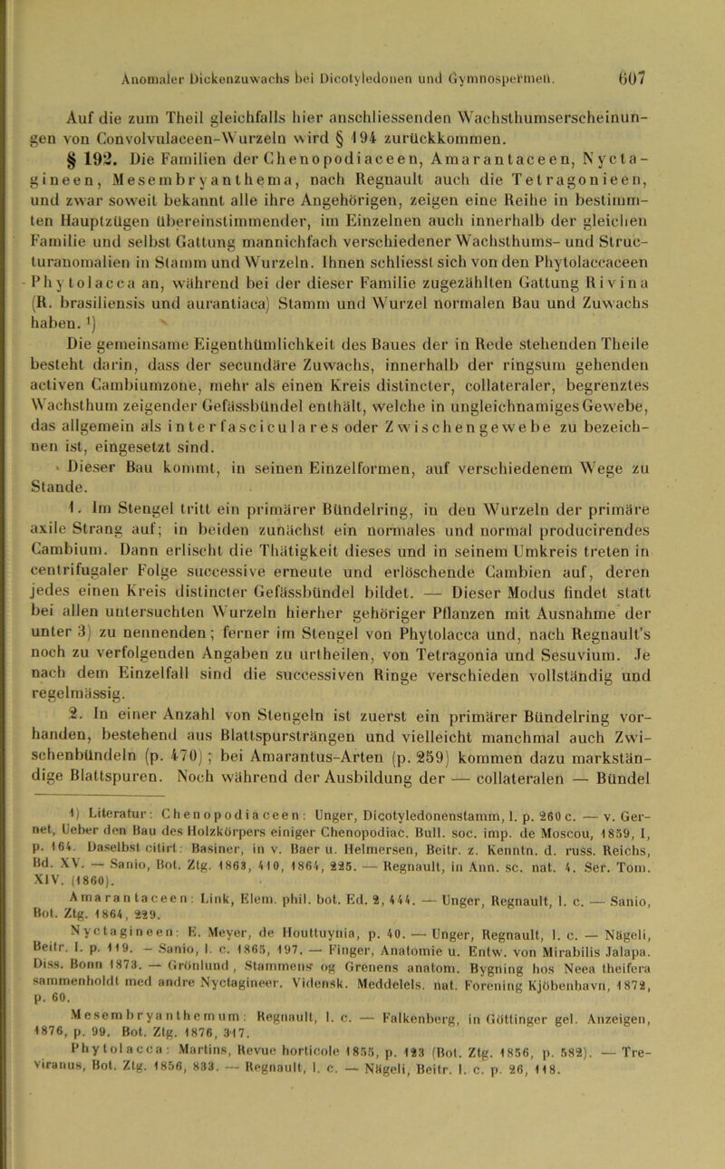 Auf die zum Theil gleichfalls hier anschliessenden Wachsthumserscheinun- gen von Convolvulaceen-Wurzeln wird § 194 zurückkommen. § 192. Die Familien der Chenopodiaceen, Amarantaceen, Nycta- gineen, Mesembryanthema, nach Regnault auch die Tetragonieen, und zwar soweit bekannt alle ihre Angehörigen, zeigen eine Reihe in bestimm- ten Hauptzügen übereinstimmender, im Einzelnen auch innerhalb der gleichen Familie und selbst Gattung mannichfach verschiedener Wachsthums- und Struc- turanomalien in Stamm und Wurzeln. Ihnen schliessl sich von den Phytolaccaceen Phy tolacca an, während bei der dieser Familie zugezählten Gattung Rivina (R. brasiliensis und aurantiaca) Stamm und Wurzel normalen Rau und Zuwachs haben. *) Die gemeinsame Eigenthümlichkeit des Raues der in Rede stehenden Theile besteht darin, dass der secundäre Zuwachs, innerhalb der ringsum gehenden activen Cambiumzone, mehr als einen Kreis distincter, collateraler, begrenztes Wachsthum zeigender Gefässbündel enthält, welche in ungleichnamiges Gew'ebe, das allgemein als interfasciculares oder Zwischengewebe zu bezeich- nen ist, eingesetzt sind. > Dieser Rau kommt, in seinen Einzelformen, auf verschiedenem Wege zu Stande. 1. Im Stengel tritt ein primärer Bündelring, in deu Wurzeln der primäre axile Strang auf; in beiden zunächst ein normales und normal producirendes Cambium. Dann erlischt die Thätigkeit dieses und in seinem Umkreis treten in centrifugaler Folge successive erneute und erlöschende Cambien auf, deren jedes einen Kreis distincter Gefässbündel bildet. — Dieser Modus findet statt bei allen untersuchten \\ urzeln hierher gehöriger Pflanzen mit Ausnahme der unter 3) zu nennenden; ferner im Stengel von Phytolacca und, nach Regnault’s noch zu verfolgenden Angaben zu urtheilen, von Tetragonia und Sesuvium. Je nach dem Einzelfall sind die successiven Ringe verschieden vollständig und regelmässig. 2. In einer Anzahl von Stengeln ist zuerst ein primärer Bündelring vor- handen, bestehend aus Blattspursträngen und vielleicht manchmal auch Zwi- schenbündeln (p. 470); bei Amaranlus-Arten (p. 259) kommen dazu markstän- dige Blattspuren. Noch während der Ausbildung der — collateralen — Bündel 1) Literatur: Chenopodiaceen: Unger, Dicotyledönenstamm, 1. p. 260 c. —v. Ger- net, lieber den Bau des Holzkörpers einiger Chenopodiac. Bull. soc. imp. de Moscou, 1859, t, p. 164 Daselbst citirt: Basiner, in v. Baer u. Helmersen, Beitr. z. Kenntn. d. russ. Reichs, Bd. XV. Sanio, Bot. Ztg. 1863, 410, 1864, 225. — Regnault, in Ann. sc. nat. 4. Ser. Tom. XIV. (1860). Link, Eiern, phil. bot. Ed. 2, 444. — Unger, Regnault, 1. c. — Sanio, Amarantaceen: Bot. Ztg. 1864, 229. Nyctagineen: E. Meyer, de Houttuynia, p. 40. — Unger, Regnault, 1. c. — Nügeli, Beiti. I. p. 119. — Sanio, I. c. 1865, 197. — Finger, Anatomie u. Entw. von Mirabilis Jalapa. Diss. Bonn 1873. Grönlund, Stammens* og Grenens analom. Bygning hos Neea theifera sammenholdt med andre Nyctagineer. Vidensk. Meddelels. nat. Forening Kjöbenhavn, 1872, p. 60. Mesembryanthemum: Regnault, I. c. — Falkenberg, in Göttinger gel. Anzeigen, 1876, p. 99. Bot. Ztg. 1876, 317. Phytolacca: Martins, Revue horticole 1855, p. 123 (Bot. Ztg. 1856, p. 582). — Tre- viranus, Bot. Ztg. 1856, 833. — Regnault, 1. c. — NSgeli, Beitr. 1. c. p. 26, 118.