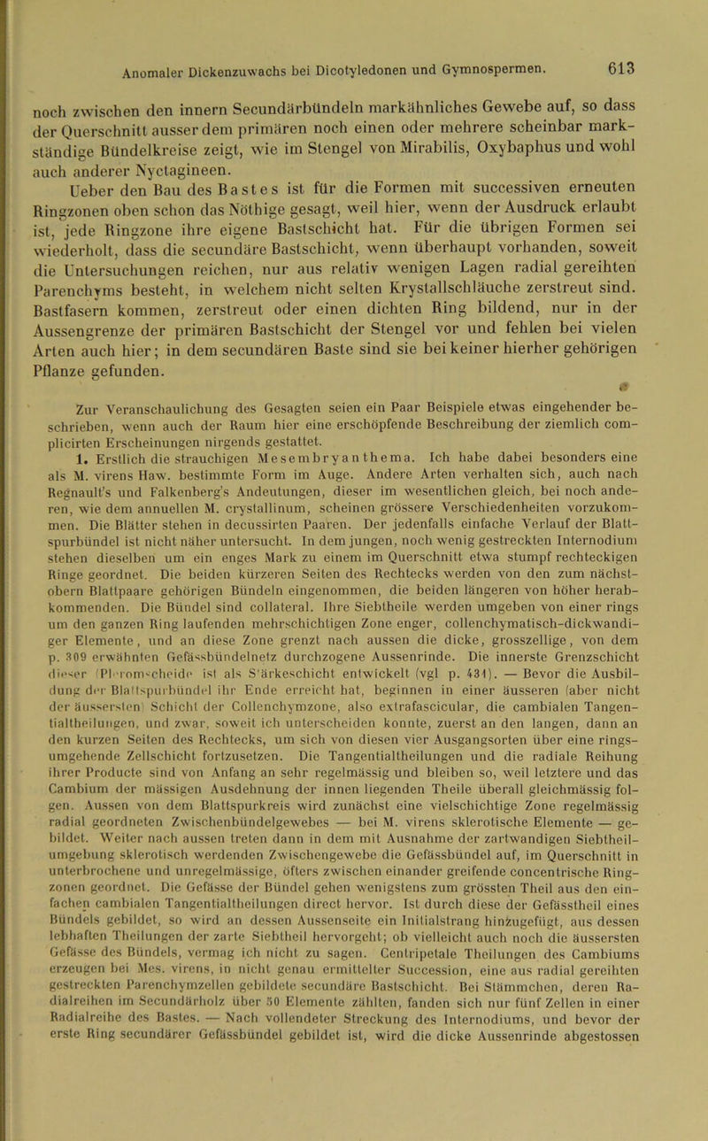 noch zwischen den innern Secundürbtindeln markähnliches Gewebe auf, so dass der Querschnitt ausserdem primären noch einen oder mehrere scheinbar mark- ständige Bündelkreise zeigt, wie im Stengel von Mirabilis, Oxybaphus und wohl auch anderer Nyctagineen. Ueber den Bau des Bastes ist für die Formen mit successiven erneuten Ringzonen oben schon das Nöthige gesagt, weil hier, wenn der Ausdruck erlaubt ist, jede Ringzone ihre eigene Baslscldcht hat. Für die übrigen Formen sei wiederholt, dass die secundäre Bastschicht, wenn überhaupt vorhanden, soweit die Untersuchungen reichen, nur aus relativ wenigen Lagen radial gereihten Parenchyms besteht, in welchem nicht selten Krystallschläuche zerstreut sind. Bastfasern kommen, zerstreut oder einen dichten Ring bildend, nur in der Aussengrenze der primären Bastschicht der Stengel vor und fehlen bei vielen Arten auch hier; in dem secundären Baste sind sie bei keiner hierher gehörigen Pflanze gefunden. 0 Zur Veranschaulichung des Gesagten seien ein Paar Beispiele etwas eingehender be- schrieben, wenn auch der Raum hier eine erschöpfende Beschreibung der ziemlich com- plicirten Erscheinungen nirgends gestattet. 1. Erstlich die strauchigen Mesembryan thema. Ich habe dabei besonders eine als M. virens Haw. bestimmte Form im Auge. Andere Arten verhalten sich, auch nach Regnault’s und Falkenberg’s Andeutungen, dieser im wesentlichen gleich, bei noch ande- ren, wie dem annuellen M. crystallinum, scheinen grössere Verschiedenheiten vorzukom- men. Die Blätter stehen in decussirten Paaren. Der jedenfalls einfache Verlauf der Blatt- spurbündel ist nicht näher untersucht. In dem jungen, noch wenig gestreckten Internodium stehen dieselben um ein enges Mark zu einem im Querschnitt etwa stumpf rechteckigen Ringe geordnet. Die beiden kürzeren Seiten des Rechtecks werden von den zum nächst- obern Blattpaare gehörigen Bündeln eingenommen, die beiden längeren von höher herab- kommenden. Die Bündel sind collateral. Ihre Siebtheile werden umgeben von einer rings um den ganzen Ring laufenden mehrschichtigen Zone enger, collenchymatisch-dickwandi- ger Elemente, und an diese Zone grenzt nach aussen die dicke, grosszeilige, von dem p. 309 erwähnten Gefässbündelnetz durchzogene Aussenrinde. Die innerste Grenzschicht dieser (Pl-rom'-cheide ist als S'ärkeschicht entwickelt (vgl p. 43t). — Bevor die Ausbil- dung der Blaltspurbündel ihr Ende erreicht hat, beginnen in einer äusseren (aber nicht der äusserslen Schicht der Collenchymzone, also extrafascicular, die cambialen Tangen- tialtheilungen, und zw'ar, soweit ich unterscheiden konnte, zuerst an den langen, dann an den kurzen Seiten des Rechtecks, um sich von diesen vier Ausgangsorten über eine rings- umgehende Zellschicht fortzusetzen. Die Tangentialtheilungen und die radiale Reihung ihrer Producte sind von Anfang an sehr regelmässig und bleiben so, weil letztere und das Cambium der massigen Ausdehnung der innen liegenden Theile überall gleichmässig fol- gen. Aussen von dem Blattspurkreis wird zunächst eine vielschichtige Zone regelmässig radial geordneten Zwischenbündelgewebes — bei M. virens sklerotische Elemente — ge- bildet. Weiter nach aussen treten dann in dem mit Ausnahme der zartwandigen Siebtheil- umgebung sklerotisch werdenden Zwischengewebe die Gefässbündel auf, im Querschnitt in unterbrochene und unregelmässige, öfters zwischen einander greifende concentrische Ring- zonen geordnet. Die Gefässe der Bündel gehen wenigstens zum grössten Theil aus den ein- fachen cambialen Tangentialtheilungen direct hervor. Ist durch diese der Gefässtheil eines Bündels gebildet, so wird an dessen Aussenseite ein Initialstrang hinkugefügt., aus dessen lebhaften Theilungen der zarte Sieblheil hervorgeht; ob vielleicht auch noch die äussersten Gefässe des Bündels, vermag ich nicht zu sagen. Cenlripetale Theilungen des Cambiums erzeugen bei Mes. virens, in nicht genau ermittelter Succession, eine aus radial gereihten gestreckten Parenchymzellen gebildete secundäre Bastschicht. Bei Stämmchen, deren Ra- dialreihen im Secundärholz über 50 Elemente zählten, fanden sich nur fünf Zellen in einer Radialreihe des Bastes. — Nach vollendeter Streckung des Internodiums, und bevor der erste Ring secundärer Gefässbündel gebildet ist, wird die dicke Aussenrinde abgestossen