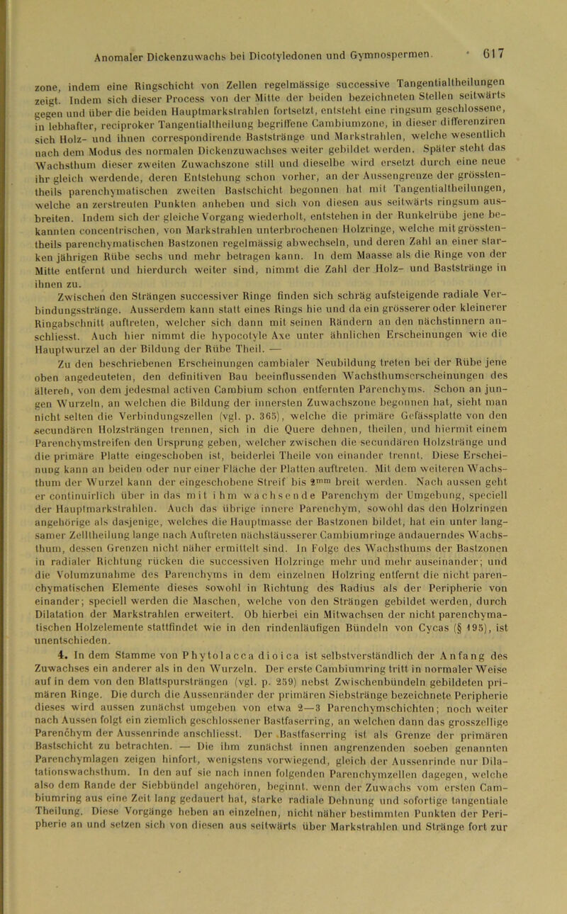 zone, indem eine Ringschicht von Zellen regelmassige successive Tangentialtheilungen zeigt. Indem sich dieser Process von der Mitte der beiden bezeichneten Stellen seitwärts nesen und über die beiden Hauptmarkstrahlen fortsetzt, entsteht eine ringsum geschlossene, in lebhafter, reciproker Tangentialtheilung begriffene Cambiumzone, in dieser differenziren sich Holz- und ihnen correspondirende Baststränge und Markstrahlen, welche wesentlich nach dem Modus des normalen Dickenzuwachses weiter gebildet werden. Spater steht das Wachsthum dieser zweiten Zuwachszone still und dieselbe wird ersetzt durch eine neue ihr gleich werdende, deren Entstellung schon vorher, an der Aussengrenze der grössten- theils parenchymatischen zweiten Bastschicht begonnen hat mit Tangentialtheilungen, welche an zerstreuten Punkten anheben und sich von diesen aus seitwärts ringsum aus- breiten. Indem sich der gleiche Vorgang wiederholt, entstehen in der Runkelrübe jene be- kannten concentrischen, von Markstrahlen unterbrochenen Holzringe, welche mitgrössten- theils parenchymatischen Bastzonen regelmässig abwechseln, und deren Zahl an einer star- ken jährigen Rübe sechs und mehr betragen kann, ln dem Maasse als die Ringe von der Mitte entfernt und hierdurch weiter sind, nimmt die Zahl der Holz- und Baststränge in ihnen zu. Zwischen den Strängen successiver Ringe finden sich schräg aufsteigende radiale Ver- bindungsstränge. Ausserdem kann statt eines Rings hie und da ein grösserer oder kleinerer Ringabschnitt auftreten, welcher sich dann mit seinen Rändern an den nächstinnern an- schliesst. Auch hier nimmt die hypocotyie Axe unter ähnlichen Erscheinungen wie die Hauptwurzel an der Bildung der Rübe Theil. — Zu den beschriebenen Erscheinungen cambialer Neubildung treten bei der Rübe jene oben angedeuteten, den definitiven Bau beeinflussenden Wachsthumserscheinungen des ältereh, von dem jedesmal activen Cambium schon entfernten Parenchyms. Schon an jun- gen Wurzeln, an welchen die Bildung der innersten Zuwachszone begonnen hat, sieht man nicht selten die Verbindungszellen (vgl. p. 365), welche die primäre Gefässplatte von den secundären Holzsträngen trennen, sich in die Quere dehnen, theilen, und hiermit einem Parenchymstreifen den Ursprung geben, welcher zwischen die secundären Holzstränge und die primäre Platte eingeschoben ist, beiderlei Theile von einander trennt. Diese Erschei- nung kann an beiden oder nur einer Fläche der Platten auftreten. Mit dem weiteren Wachs- thum der Wurzel kann der eingeschobene Streif bis 2mm breit werden. Nach aussen geht er continuirlich über in das mit ihm wachsende Parenchym der Umgebung, speciell der Hauplmarkstrahlen. Auch das übrige innere Parenchym, sowohl das den Holzringen angehörige als dasjenige, welches die Hauptmasse der Bastzonen bildet, hat ein unter lang- samer Zelllheilung lange nach Auftreten nächstäusserer Cambiumringe andauerndes Wachs- thum, dessen Grenzen nicht näher ermittelt sind. In Folge des Wachstbums der Bastzonen in radialer Richtung rücken die successiven Holzringe mehr und mehr auseinander ; und die Volumzunahme des Parenchyms in dem einzelnen Holzring entfernt die nicht paren- chymatischen Elemente dieses sowohl in Richtung des Radius als der Peripherie von einander; speciell werden die Maschen, welche von den Strängen gebildet werden, durch Dilatation der Markstrahlen erweitert. Ob hierbei ein Mitwachsen der nicht parenchyma- tischen Holzelemente stattfindet wie in den rindenläufigen Bündeln von Cycas (§ 195), ist unentschieden. 4. In dem Stamme von Phy toia cca d i o i ca ist selbstverständlich der Anfang des Zuwachses ein anderer als in den Wurzeln. Der erste Cambiumring tritt in normaler Weise auf in dem von den Blattspursträngen (vgl. p. 259) nebst Zwischenbündeln gebildeten pri- mären Ringe. Die durch die Aussenränder der primären Siebstränge bezeichnete Peripherie dieses wird aussen zunächst umgeben von etwa 2—3 Parenchymschichten; noch weiter nach Aussen folgt ein ziemlich geschlossener Bastfaserring, an welchen dann das grosszeilige Parenchym der Aussenrinde anschliesst. Der Bastfaserring ist als Grenze der primären Bastschicht zu betrachten. — Die ihm zunächst innen angrenzenden soeben genannten Parenchymlagen zeigen hinfort, wenigstens vorwiegend, gleich der Aussenrinde nur Dila- tationswachsthum. In den auf sie nach innen folgenden Parenchymzellen dagegen, welche also dem Rande der Siebbündel angehören, beginnt, wenn der Zuwachs vom ersten Cam- biumring aus eine Zeit lang gedauert hat, starke radiale Dehnung und sofortige tangentiale Theilung. Diese Vorgänge lieben an einzelnen, nicht näher bestimmten Punkten der Peri- pherie an und setzen sich von diesen aus seitwärts über Markslrahlen und Stränge fort zur
