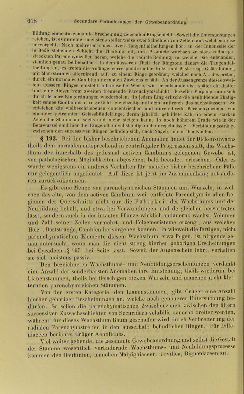Bildung einer die genannte Erscheinung zeigenden Ringschicht. Soweit die Untersuchungen reichen, ist es nur eine, höchstens stellenweise zwei Schichten von Zellen, aus welchen diese hervorgeht. Nach mehreren successiven Tangentiallheilungen hört an der Innenseite der in Rede stehenden Schicht die Theilung auf, ihre Producte wachsen zu stark radial ge- streckten Parenchymzellen heran, welche die radiale Reihung, in welcher sie entstanden, ziemlich genau beibehalten. In dem äusseren Theil der Ringzone dauert die Tangential- theilung an, es treten die Anfänge correspondirender Holz- und Bast- resp. Gefässbündel, mit Markstrahlen alternirend, auf, zu einem Ringe geordnet, welcher nach Art des ersten, durch ein normales Cambium normalen Zuwachs erhält. An der Aussengrenze dieses zwei- ten, äussern Ringes entsteht auf dieselbe Weise, wie er entstanden ist, später ein dritter und eine diesen vom zweiten trennende Parenchymschicht, derselbe Vorgang kann sich durch fernere Ringordnungen wiederholen. In jedem Ring erlischt die neubildende Thätig- keit seines Cambiums ohngefähr gleichzeitig mit dem Auftreten des nächstäussern. So entstehen die vielbeschriebenen concenlrischen und durch breite Parenchymzonen von einander getrennten Gefässbundelringe, deren jährlich gebildete Zahl in einem starken Aste oder Stamm auf sechs und mehr steigen kann. In noch höherem Grade wie in der Betawurzel sind hier die Ringe oft unvollständig und unregelmässig. Verbindungsstränge zwischen den successiven Ringen befinden sich, nach Nägeli, nur in den Knoten. § 193. Bei den bisher beschriebenen Anomalien lindel der Dickenzuwachs theils dem normalen entsprechend in centrifugaler Progression stall, das Wachs- thum der innerhalb des jedesmal acliven Cambiums gelegenen Gewebe ist, von pathologischen Möglichkeiten abgesehen, bald beendet, erloschen. Oder es wurde wenigstens ein anderes Verhalten für manche bisher beschriebene Fälle nur gelegentlich angedeutet. Auf diese ist jetzt im Zusammenhang mit ande- ren zurückzukommen. Es gibt eine Menge von parenchymreichen Stämmen und Wurzeln, in wel- chen das alte, von dem activen Cambium weit entfernte Parenchym in allen Re- gionen des Querschnitts nicht nur die Fähigkeit des Wachsthums und der Neubildung behält, und etwa bei Verwundungen und dergleichen hervortreten lässt, sondern auch in der intaclen Pflanze wirklich andauernd wächst, Volumen und Zahl seiner Zellen vermehrt, und Folgemeristeme erzeugt, aus welchen Holz-, Baststränge, Cambien hervorgehen können, ln wieweit die fertigen, nicht parenchymatischen Elemente diesem Wachslhum etwa folgen, ist nirgends ge- nau untersucht, wenn man die nicht streng hierher gehörigen Erscheinungen bei Cycadeen ,§ 195) bei Seite lässt. Soweit der Augenschein lehrt, verhallen sie sich meistens passiv. Den bezeichnelen Wachsthums- und Neubildungserscheinungen verdankt eine Anzahl der sonderbarsten Anomalien ihre Entstehung; theils wiederum bei Lianenstämraen, theils bei fleischigen dicken Wurzeln und manchen nicht klet- ternden parenchymreichen Stämmen. Von der ersten Kategorie, den Lianenstämmen, gibt Crttger eine Anzahl hierher gehöriger Erscheinungen an, welche noch genauerer Untersuchung be- dürfen. So sollen die parenchymatischen Zwischenzonen zwischen den ällern successiven Zuwachsschichten von Securidaca volubilis dauernd breiter werden, während für dieses Wachsthum Raum geschaffen w ird durch Verbreiterung der radialen Parenchymstreifen in den ausserhalb befindlichen Ringen. Für Dille— niaceen berichtet Grüger Aehnliches. Viel weiter gehende, die gesammte Gewebeanordnung und selbst die Gestalt der Stämme wesentlich verändernde Wachsthums- und Neubildungsprocesse kommen den Bauhinien, manchen Malpighiaceen, Urvillea, Bignoniaceen zu.