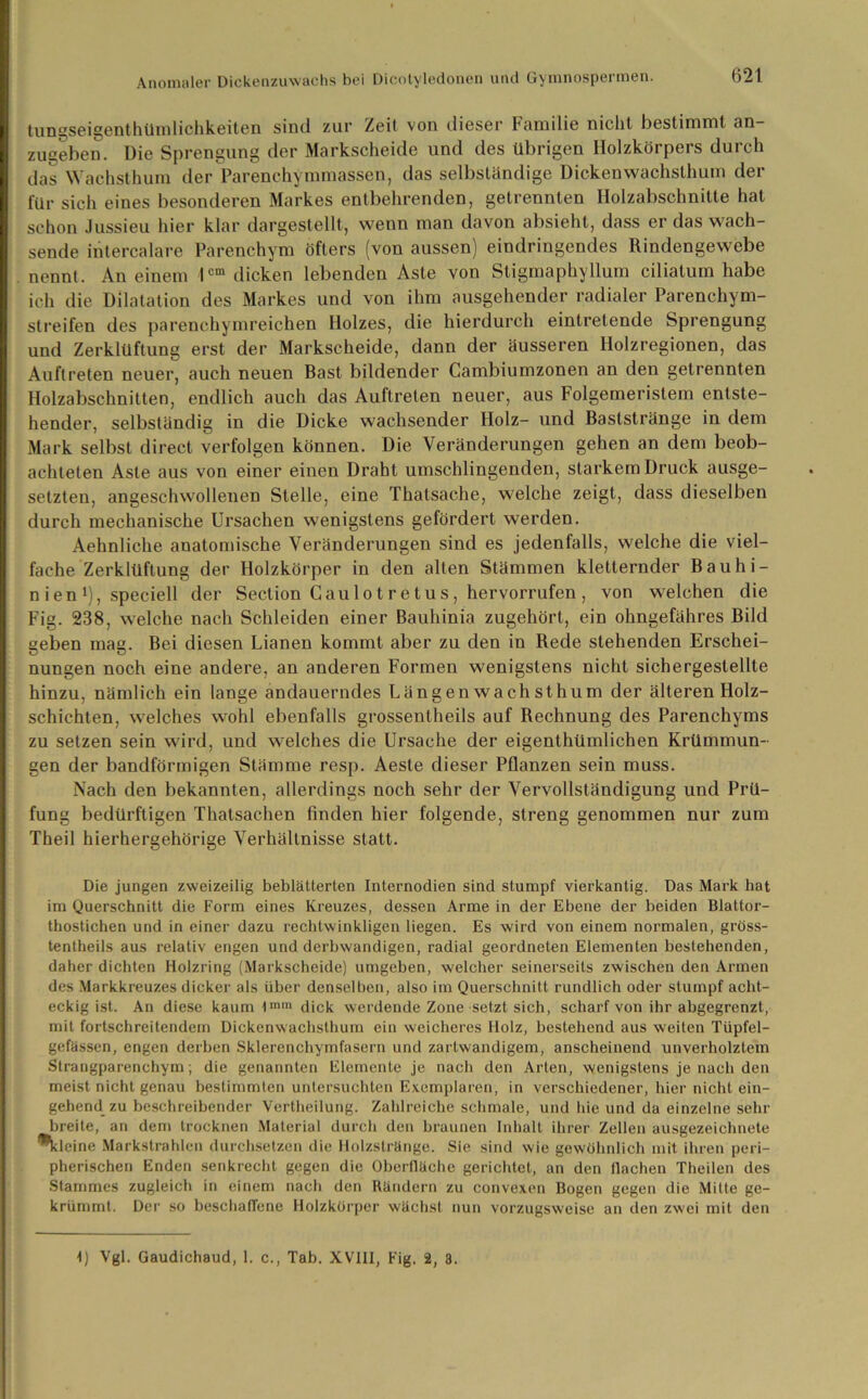 tungseigenthümlichkeiten sind zur Zeit von dieser Familie nicht bestimmt an- zugeben. Die Sprengung der Markscheide und des übrigen Ilolzkörpers durch das Wachsthum der Parenchymmassen, das selbständige Dickenwachsthum der für sich eines besonderen Markes entbehrenden, getrennten Holzabschnitte hat schon Jussieu hier klar dargestellt, wenn man davon absieht, dass er das wach- sende intercalare Parenchym öfters (von aussen) eindringendes Rindengewebe nennt. An einem lcm dicken lebenden Aste von Stigmaphyllum ciliatum habe ich die Dilatation des Markes und von ihm ausgehender radialer Parenchym- streifen des parenchymreichen Holzes, die hierdurch eintretende Sprengung und Zerklüftung erst der Markscheide, dann der äusseren Holzregionen, das Auftreten neuer, auch neuen Bast bildender Cambiumzonen an den getrennten Holzabschnitten, endlich auch das Auftreten neuer, aus Folgemeristem entste- hender, selbständig in die Dicke wachsender Holz- und Baststränge in dem Mark selbst direct verfolgen können. Die Veränderungen gehen an dem beob- achteten Aste aus von einer einen Draht umschlingenden, starkem Druck ausge- setzten, angeschwollenen Stelle, eine Thatsache, welche zeigt, dass dieselben durch mechanische Ursachen wenigstens gefördert werden. Aehnliclie anatomische Veränderungen sind es jedenfalls, welche die viel- fache Zerklüftung der Holzkörper in den alten Stämmen kletternder Bauhi- n ien !), speciell der Section Gaulot re tus, hervorrufen , von welchen die Fig. 238, welche nach Schleiden einer Bauhinia zugehört, ein ohngefähres Bild geben mag. Bei diesen Lianen kommt aber zu den in Rede stehenden Erschei- nungen noch eine andere, an anderen Formen wenigstens nicht sichergestellte hinzu, nämlich ein lange andauerndes Längen wachsthum der älteren Holz- schichten, welches wohl ebenfalls grossentheils auf Rechnung des Parenchyms zu setzen sein wird, und welches die Ursache der eigenthümlichen Krümmun- gen der bandförmigen Stämme resp. Aeste dieser Pflanzen sein muss. Nach den bekannten, allerdings noch sehr der Vervollständigung und Prü- fung bedürftigen Thatsachen finden hier folgende, streng genommen nur zum Theil hierhergehörige Verhältnisse statt. Die jungen zweizeilig beblätterten Internodien sind stumpf vierkantig. Das Mark hat im Querschnitt die Form eines Kreuzes, dessen Arme in der Ebene der beiden Blattor- thostichen und in einer dazu rechtwinkligen liegen. Es wird von einem normalen, gröss- tentheils aus relativ engen und derbwandigen, radial geordneten Elementen bestehenden, daher dichten Holzring (Markscheide) umgeben, welcher seinerseits zwischen den Armen des Markkreuzes dicker als über denselben, also im Querschnitt rundlich oder stumpf acht- eckig ist. An diese kaum tmi“ dick werdende Zone setzt sich, scharf von ihr abgegrenzt, mit fortschreitendem Dickenwachsthum ein weicheres Holz, bestehend aus weiten Tüpfel- gefässen, engen derben Sklerenchymfasern und zartwandigem, anscheinend unverholztem Strangparenchym; die genannten Elemente je nach den Arten, wenigstens je nach den meist nicht genau bestimmten untersuchten Exemplaren, in verschiedener, hier nicht ein- gehend zu beschreibender Vertheilung. Zahlreiche schmale, und hie und da einzelne sehr breite, an dem trocknen Material durch den braunen Inhalt ihrer Zellen ausgezeichnete ^kleine Markstrahlen durchsetzen die Holzstränge. Sic sind wie gewöhnlich mit ihren peri- pherischen Enden senkrecht gegen die Oberfläche gerichtet, an den ilachen Theilen des Stammes zugleich in einem nach den Rändern zu convexen Bogen gegen die Mitte ge- krümmt. Der so beschaffene Holzkörper wächst nun vorzugsweise an den zwei mit den I) Vgl. Gaudichaud, 1. c., Tab. XVIII, Fig. 2, 3.