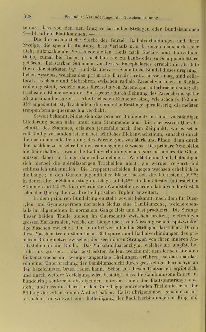 lenius, dass von den den Ring verlassenden Strängen oder Bündelstämmen 9—I I auf ein Blatt kommen. — Die durchschnittliche Stärke der Gürtel, Radialverbindungen und ihrer Zweige, die specielle Richtung ihres Verlaufs, u. s. f. zeigen mancherlei hier nicht aufzuzählende Verschiedenheiten theils nach Species und Individuen, theils, zumal bei Dioon, je nachdem sie zu Laub- oder zu Schuppenblättern gehören. Bei starken Stämmen von Gycas, Encephalartos erreicht die absolute Dicke der stärksten 1/2mm und darüber. — Sämmtliche Bündel dieses ursprüng- lichen Systems, welches das primäre Bündelnetz heissen mag, sind colla- teral; tracheale und Siebröhren zwischen radiale Parenchym reihen in Radial- reihen gestellt, welche auch ihrerseits von Parenchym unterbrochen sind; die trachealen Elemente an der Markgrenze durch Dehnung des Parenchyms später oft auseinander gezerrt. Alle trachealen Elemente sind, wie schon p. 172 und 349 angedeutet ist, Tracheiden, die innersten Erstlinge spiralfaserig, die meisten treppenförmig-quermaschig verdickt. Soweit bekannt, bildet sich das primäre Bündelnetz in seiner vollständigen Gliederung schon nahe unter dem Stammende aus. Die successiven Querab- schnilte des Stammes, erfahren jedenfalls nach dem Zeitpunkt, wo es schon vollständig vorhanden ist, ein beträchtliches Dickenwachsthum, zunächst durch die noch dauernde Dehnung des Parenchyms von Mark und Rinde, dann durch den nachher zu beschreibenden cambiogenen Zuwachs. Das primäre Netz bleibt hierbei erhallen, sowohl die Radialverbindungen als ganz besonders die Gürtel müssen daher an Länge dauernd zunehmen. Wie Mellenius fand, betheiligen sich hierbei die spiralfaserigen Tracheiden nicht; sie werden verzerrt und schliesslich unkenntlich. Die Treppen tracheiden dagegen wachsen erheblich in die Länge; in den Gürteln jugendlicher Blätter massen die kürzesten 0,09,nm; in denen älterer Stämme stieg die Länge auf 1,4,m, in den ältesten untersuchten Stämmen auf 4,5mm. Die unverdicklen Wandstellen werden dabei von der Gestalt schmaler Querspalten zu breit elliptischen Tüpfeln erweitert. In dem primären Bündelring entsteht, soweit bekannt, nach dem für Dico- t\len und Gymnospermen normalen Modus eine Cambiumzone, welche eben- falls im allgemeinen in normalem Gange llolz und Bast producirt. Die Stränge dieser beiden Theile stehen im Querschnitt zwischen breiten, vielreihigen grossen Markstrahlen, welche der Länge nach, von Aussen gesehen, spitzwinke- lige Maschen zwischen den undulirl verlaufenden Strängen darstellen. Durch diese Maschen treten sämmtliche Blallspuren und Radialverbindungen des pri- mären Bündelnetzes zwischen den secundären Strängen von ihren inneren An- satzstellen in die Rinde. Das Markstrahlparenchym, welches sie umgibt, be- steht aus grossen, radial gestreckten Zellen, welche mit dem fortschreitenden Dickenzuwachs nur wenige tangentiale Theilungen erfahren, so dass man fast von einer Unterbrechung der Cambiumschicht durch grosszeiliges Parenchym an den bezeichneten Orlen reden kann. Schon aus diesen Thatsachen ergibt sich, und durch weitere Verfolgung wird bestätigt, dass die Cambiumzone in den im Bündelring senkrecht absteigenden unteren Enden der Blattspurstränge ent- steht, und dass die obern, in den Ring bogig eintretenden Theile dieser an der Bildung derselben keinen Änlheil haben. Es ist übrigens noch genauer zu un- tersuchen, in wieweit eine Betheiliguug der Radialverbindungen an Ring und