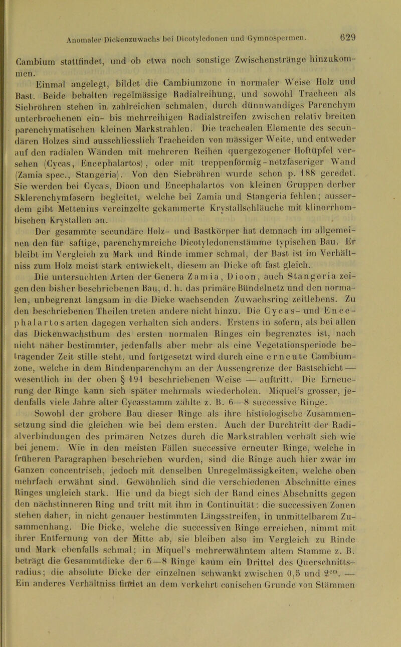 Cambium stattfindet, und ob etwa noch sonstige Zwischenstränge hinzukom- men. Einmal angelegt, bildet die Cambiumzone in normaler Weise Ilolz und Bast, Beide behalten regelmässige Radialreihung, und sowohl Tracheen als Siebröhren stehen in zahlreichen schmalen, durch dünnwandiges Parenchym unterbrochenen ein- bis mehrreihigen Radialstreifen zwischen relativ breiten parenchymatischen kleinen Markstrahlen. Die trachealen Elemente des sekun- dären Holzes sind ausschliesslich Tracheiden von massiger Weite, und entweder auf den radialen Wänden mit mehreren Reihen quergezogener Hoftüpfel ver- sehen (Cycas, Encephalartos) , oder mit treppenförmig - netzfaseriger Wand (Zamia spec., Stangeria). Von den Siebröhren wurde schon p. 188 geredet. Sie werden bei Cycas, Dioon und Encephalartos von kleinen Gruppen derber Sklerenchyinfasern begleitet, welche bei Zamia und Stangeria fehlen; ausser- dem gibt Meltenius vereinzelte gekammerte Krystallschläuche mit klinorrhom- bischen Krystallen an. Der gesammte secundäre Holz- und Bastkörper hat demnach im allgemei- nen den für saftige, parenchymreiche Dicotyledonenstämme typischen Bau. Er bleibt im Vergleich zu Mark und Rinde immer schmal, der Rast ist im Verhäll- uiss zum Holz meist stark entwickelt, diesem an Dicke oft fast gleich. Die untersuchten Arten der Genera Zamia, Dioon, auch Stangeria zei- genden bisher beschriebenen Bau, d. h. das primäre Bündelnetz und den norma- len, unbegrenzt langsam in die Dicke wachsenden Zuwachsring zeitlebens. Zu den beschriebenen Theilen treten andere nicht hinzu. Die Cycas - und Ence- p hal a rtosarten dagegen verhalten sich anders. Erstens in sofern, als bei allen das Dickenwachsthum des ersten normalen Ringes ein begrenztes ist, nach nicht näher bestimmter, jedenfalls aber mehr als eine Vegetationsperiode be- tragender Zeit stille steht, und fortgesetzt wird durch eine erneute Cambium- zone, welche in dem Rindenparenchym an der Aussengrenze der Bastschicht — wesentlich in der oben § 191 beschriebenen Weise —auftritl. Die Erneue- rung der Ringe kann sich später mehrmals wiederholen. Miquel’s grosser, je- denfalls viele Jahre alter Cycasstamm zählte z. B. 6—8 successive Ringe. Sowohl der gröbere Bau dieser Ringe als ihre hisliologisclie Zusammen- setzung sind die gleichen wie bei dem ersten. Auch der Durchtritt der Radi- alverbindungen des primären Netzes durch die Markstrahlen verhält sich wie bei jenem. Wie in den meisten Fällen successive erneuter Ringe, welche in früheren Paragraphen beschrieben wurden, sind die Ringe auch hier zwar im Ganzen concentrisch, jedoch mit denselben Unregelmässigkeiten, welche oben mehrfach erwähnt sind. Gewöhnlich sind die verschiedenen Abschnitte eines Ringes ungleich stark. Hie und da biegt sich der Rand eines Abschnitts gegen den nächstinneren Ring und tritt mit ihm in Continuität: die successiven Zonen stehen daher, in nicht genauer bestimmten Längsstreifen, in unmittelbarem Zu- sammenhang. Die Dicke, welche die successiven Ringe erreichen, nimmt mit ihrer Entfernung von der Mitte ab, sie bleiben also im Vergleich zu Rinde und Mark ebenfalls schmal; in Miquel’s mehrerwähntem altem Stamme z. B. beträgt die Gesammtdicke der 6—8 Ringe kaum ein Drittel des Querschnitts- radius; die absolute Dicke der einzelnen schwankt zwischen 0,5 und 2cm. — Ein anderes Verhältniss lirfriet an dem verkehrt conischen Grunde von Stämmen