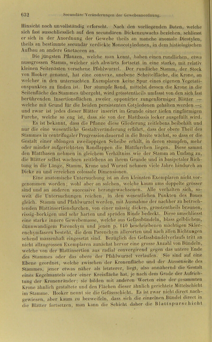 Hinsicht noch unvollständig erforscht. Nach den vorliegenden Daten, welche sich fast ausschliesslich auf den secundüren Dickenzuwachs beziehen, scldiesst ersieh in der Anordnung der Gewebe theils an manche anomale Dicotylen, theils an bestimmte secundär verdickte Monocotyledonen, in dem histiologisehen Aufbau an andere Gnetaceen an. Die jüngsten Pflanzen, welche man kennt, haben einen rundlichen, etwa nussgrossen Stamm, welcher sich abwärts forlsetzt in eine starke, mit relativ kleinen Seitenästen versehene Pfahlwurzel. Der rundliche Stamm, der Stock von Hooker genannt, hat eine convexe, unebene Scheilelüäche, die Krone, an welcher in den untersuchten Exemplaren keine Spur eines eigenen Vegelali- onspunkles zu finden ist. Der stumpfe Rand, mittelst dessen die Krone in die Seitenfläche des Stammes übergeht, wird grösstcnlheils umfasst von den sich fast berührenden Insertionsflächen zweier opponirler zungenförmiger Blätter — welche mit Grund für die beiden persistenten Colyledonen gehalten werden —; und zwar ist jedes dieser Blätter inserirt im Grunde einer tiefen ringförmigen Furche, welche so eng ist, dass sie von der Blattbasis locker ausgefüllt wird. Es ist bekannt, dass die Pflanze diese Gliederung zeitlebens beibehält und nur die eine wesentliche Gestaltveränderung erfährt, dass der obere Theil des Stammes in centrifugaler Progression dauernd in die Breite wächst, so dass er die Gestalt einer oblongen zweilappigen Scheibe erhält, in deren stumpfen, mehr oder minder aufgerichtelen Randlappen die Blattfurchen liegen. Diese sammt den Blattbasen nehmen in gleichem Verhällniss wie der Stamm an Umfang zu, die Blätter selbst wachsen zeitlebens an ihrem Grunde und in basipetaler Rich- tung in die Länge, Stamm, Krone und Wurzel nehmen viele Jahre hindurch an Dicke zu und erreichen colossalc Dimensionen. Eine anatomische Untersuchung ist an den kleinsten Exemplaren nicht vor- genommen worden; wohl aber an solchen, welche kaum ums doppelte grösser sind und an anderen successive herangewachsenen. Alle verhalten sich, so- weit die Untersuchungen reichen, in den wesentlichen Punkten des Baues gleich. Stamm und Pfahlwurzel werden, mit Ausnahme der nachher zu betrach- tenden Blallinserlionsfureheu, von einer mässig dicken, grösstcnlheils braunen, rissig-borkigen und sehr harten und spröden Binde bedeckt. Diese umschllesst eine starke innere Gewebemasse, welche aus Gefässbündeln, blass gelblichem, dünnwandigem Parenchym und jenen p. 140 beschriebenen mächtigen Skler- cnchymfasern besteht, die dem Parenchym allerorten und nach allen Richtungen sehend massenhaft eingesetzt sind. Bezüglich des Gefässbündelverlaufs tritt an nicht allzugrossen Exemplaren zunächst hervor eine grosse Anzahl von Bündeln, welche von der Blattinserlion aus radial convergircnd gegen das untere Ende des Stammes oder das obere der Pfahlwurzel verlaufen. Sie sind aul eine Ebene geordnet, welche zwischen der Kronenfläche und der Aussenseite des Stammes, jener etwas näher als letzterer, liegt, also annähernd die Gestalt eines Kegelmantels oder einer Kreisfläche hat, je nach dem Grade der Aufrich- tung der Kronenränder; sie bilden mit anderen Worten eine der gesammlen Krone ähnlich gestaltete und den Flächen dieser ähnlich gerichtete Mittelschicht im Stamme. Hooker nennt sic die Gefässschichl. Es ist zwar nicht direct nach- gewiesen, aber kaum zu bezweifeln, dass sich die einzelnen Bündel direct in die Blätter forlsetzen, man kann die Schicht daher die Blattspursch ichl