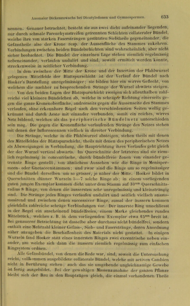 nennen. Genauer betrachtet, besteht sie aus zwei dicht aufeinander liegenden, nur durch schmale Parenchymstreifen getrennten Schichten collaleraler Bündel, welche ihre von starken Fasersträngen gestützten Siebtheile gegeneinander, die Gefässtheile also der Krone resp. der Aussenfläche des Stammes zukehren. Verbindungen zwischen beiden Bündelschichten sind wahrscheinlich, aber nicht sicher beobachtet. Die Bündel der einzelnen Lage stehen ziemlich regelmässig nebeneinander, verlaufen undulirt und sind, soweit ermittelt werden konnte, streckenweise in seitlicher Verbindung. ln dem zwischen der Mitte der Krone und der Insertion der Pfahlwurzel gelegenen Mittelfelde der Blattspurschicht ist der Verlauf der Bündel nach Hooker’s Darstellung unregelmässiger; sie bilden hier ein wirres Geflecht, von welchem die nachher zu besprechenden Stränge der Wurzel abwärts steigen. Von den beiden Lagen der Blattspurschicht zweigen sich allenthalben zahl- reiche viel kleinere Bündelchen ab, welche in schräger Richtung einerseits ge- gen die ganze Kronenoberfläche, andrerseits gegen die Aussenseite des Stammes verlaufen, ohne erkennbare Regel nach den verschiedensten Seiten wellig ge- krümmt und durch Aeste mit einauder verbunden, somit ein reiches, wirres Netz bildend, welches als das peripherische Bündelnetz unterschieden sein mag. Die gegen die Kronenfläche verlaufenden Stränge des Netzes stehen mit denen der Intlorescenzen vielfach in directer Verbindung. Die Stränge, welche in die Pfahlwurzel absteigen, stehen theils mit denen des Mittelfeldes der Blattspurschicht, theils mit denen des peripherischen Netzes als Abzweigungen in Verbindung, die Hauplrichtung ihres Verlaufes geht gleich der der Wurzel vertical abwärts. Im Querschnitte der letzteren sind sie ziem- lich regelmässig in concentrische, durch bündelfreie Zonen von einander ge- trennte Ringe gestellt, von ähnlichem Aussehen wie die Ringe in Menisper- meen- oder Gnetaceenstämmen; und zwar sind die Ringe um so regelmässiger und die Bündel derselben um so grösser, je näher der Milte. Hooker bildet in Querschnitten dünner Wurzeln 5—7 solche Ringe ab; in einem vorliegenden guten jungen Exemplar kommen dicht unter dem Stamm auf 30mm Querschnitts- radius 8 Ringe, von denen die äusserslen sehr unregelmässig und kleinsträngig sind. Die Stränge jedes Ringes verlaufen undulirt und seitlich vielfach anasto- mosirend und zwischen denen successiver Ringe, zumal der äussern kommen gleichfalls zahlreiche schräge Verbindungen vor. Der innerste Ring umsehliesst in der Regel ein anscheinend bündelfreies, einem Marke gleichendes rundes Mitlelstück, welches z. B. in dem vorliegenden Exemplar etwa 15mra breit ist. Bei genauerer Betrachtung ist dasselbe aber durchaus nicht bündelfrei, sondern enthält eine Mehrzahl kleiner Gefäss-, Sieb- und Faserstränge, deren Anordnung näher anzugeben die Beschaffenheit des Materials nicht gestattet. In einigen W urzeln fand Hooker statt eines innersten Ringes zwei excentrische neben ein- ander, um welche sich dann die äussern ziemlich regelmässig zum einfachen Ringsystem ordnen. Alle Gefässbündel, von denen die Rede war, sind, soweit die Untersuchung reicht, vollkommen ausgebildete eoilaterale Bündel, welche mit activen Cambien nicht in Berührung stehen; auch das sie umgebende ungleichnamige Gewebe ist fertig ausgebildet. Bei der gewaltigen Massenzunahme der ganzen Pflanze bleibt sich der Bau in den Hauptzügen gleich, die einmal vorhandenen Th eile