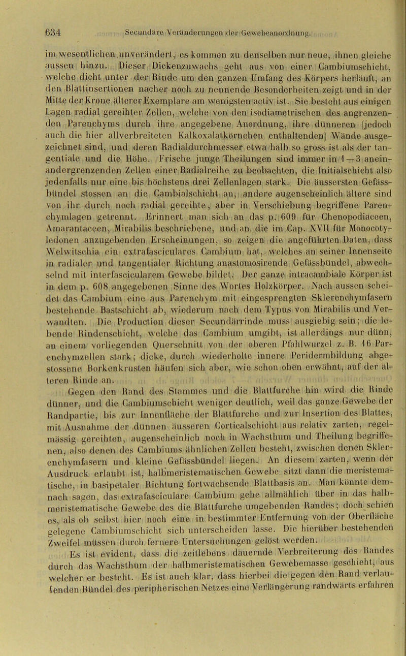 im wesentlichen,unverändert,! es kommen zu denselben nur neue, ihnen gleiche aussen hinzu. Dieser Dickenzuwachs geht aus von einer Gambiumschichl, welche dicht unter der Rinde um den ganzen Umfang des Körpers herläufl, an den Blaltinsertionen nacher noch zu nennende Besonderheiten zeigt und in der Mitte der Krone älterer Exemplare am wenigsten acliv ist. Sie. besieht aus einigen Lagen radial gereihter Zellen, welche von den isodiamelrischen des angrenzen- den Parenchyms durch ihre angegebene Anordnung, ihre dünneren (jedoch auch die hier allverbreiteten Kalkoxalatkörnchen enthaltenden) Wände ausge- zeichnet sind, und deren Radialdurchmesser etwa halb so gross ist als der tan- gentiale und die Höhe. Frische junge Theilungen sind immer in 1 — 3 anein- andergrenzenden Zellen einer Radialreihe zu beobachten, die Initialschicht also jedenfalls nur eine bis höchstens drei Zellenlagen stark. Die äussersten Gefäss- bündel stossen an die Cambialschichl an, andere augenscheinlich ältere sind von ihr durch noch radial gereihte, aber in Verschiebung begriffene Paren- chymlagen getrennt. Erinnert man sich an das p. 609 für Ghenopodiaceen, Amaranlaceen, Mirabilis beschriebene, und an die im Gap. XVII für Monocoty- ledonen anzugebenden Erscheinungen, so zeigen die angeführten Daten, dass Wclwilsehia ein extrafasciculares Gambiern hat, welches an seiner Innenseite in radialer und tangentialer Richtung anaslomosirende Gefässbündel, abwech- selnd mit inlerfascicularem Gewebe bildet. Der ganze inlracambiale Körper ist in dem p. 608 angegebenen Sinne des Wortes llolzkörper. Nach aussen schei- det das Gambiern eine aus Parenchym mit eingesprengten Sklerenchymfasern bestehende Bastschicht ab, wiederum nach dem Typus von Mirabilis und Ver- wandten. Die Production dieser Secundärrinde muss ausgiebig sein; die le- bende Rindenschicht, welche das Gambium umgibt, ist allerdings nur dünn, an einem vorliegenden Querschnitt von der oberen Pfahlwurzel z. B. 16 Par- enchvmzellcn stark; dicke, durch wiederholte innere Peridermbildung abge- slossene Borkenkrusten häufen sich aber, wie schon oben erwähnt, auf der äl- teren Rinde an. Gegen den Rand des Stammes und die Blattfurche hin wird die Rinde dünner, und die Gambiumschichl weniger deutlich, weil das ganze Gewebe der Bandpartie, bis zur Innenfläche der Blattfurche und zur Insertion des Blattes, mit Ausnahme der dünnen äusseren Gorlicalschicht aus relativ zarten, regel- mässig gereihten, augenscheinlich noch in Wachstlmm und Iheilung begrille- nen, also denen des Gambiums ähnlichen Zollen besteht, zwischen denen Skler- enchymfasern und kleine Gefässbündel liegen. An diesem zarten, wenn der Ausdruck erlaubt ist, halbineristcmalischen Gewebe sitzt dann die meristema- tische, in basipelaler Richtung fortwachsende Blallbasis an. Man könnte dem- nach sagen, das extrafasciculare Gambium gehe allmählich über in das halb- merislematische Gewebe des die Blattfurche umgebenden Randes; doch schien es, als ob selbst hier noch eine in bestimmter Entfernung von der Oberfläche gelegene Cambiumschicht sich unterscheiden lasse. Die hierüber bestehenden Zweifel müssen durch fernere Untersuchungen gelöst werden. Es ist evident, dass die zeitlebens dauernde Verbreiterung des Randes durch das Wachsthum der halbmeristematischen Gewebemasse geschieht, aus welcher er besieht. Es ist auch klar, dass hierbei die gegen den Rand verlau- fenden Bündel des peripherischen Netzes eine Verlängerung randwärls erfahren