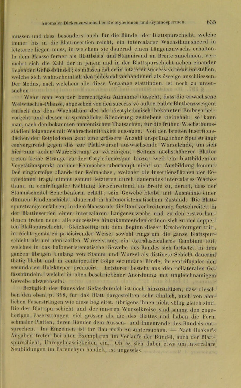 müssen und dass besonders auch für die Bündel der Blatlspurschichl, welche immer bis in die Blattinsertion reicht, ein intercalarer Wachsthumsheerd in letzterer liegen muss, in welchem sie dauernd einen Längenzuwachs erhallen, ln dein Maasse ferner als Blattbasis und Staminrand an Breite zunehmen, ver- mehrt sich die Zahl der in jenem und in der Blattspurschicht neben einander liegenden Gefassbündel; es müssen daher in letzterer successive neue entstehen, welche sich wahrscheinlich den jedesmal vorhandenen als Zweige anschliessen. Der Modus, nach welchem alle diese Vorgänge stattfinden, ist noch zu unter- suchen. Wenn man von der berechtigten Annahme ausgeht, dass die erwachsene Welwitschia-Pflanze, abgesehen von den successive auftretendenBlütbenzweigen, einfach aus dem Wachsthum des als dicotyledonisch bekannten Embryo her- vorgeht und dessen ursprüngliche Gliederung zeitlebens beibehält, so kann man, nach den bekannten anatomischen Thatsachen, für die frühen Wachsthums- stadien folgendes mit Wahrscheinlichkeit aussagen. Von den breiten Insertions- llächen der Cotyledonen geht eine grössere Anzahl ursprünglicher Spurstränge eonvergirend gegen das zur Pfahlwurzel auswachsende Wurzelende, um sich hier zum axilen Wurzelstrang zu vereinigen. Seitens nächsthöherer Blätter treten keine Stränge zu der Cotyledonarspur hinzu, weil ein blattbildender Vegelationspunkt an der Keimachse überhaupt nicht zur Ausbildung kommt. Der ringförmige »Rand« der Keimachse, welcher die Insertionsflächen der Co- lyledonen trägt, nimmt sammt letzteren durch dauerndes intercalares Wachs- thum, in centrifugaler Richtung fortschreitend, an Breite zu, derart, dass der Stammscheitel Scheibenform erhält; sein Gewebe bleibt, mit Ausnahme einer dünnen Rindenschicht, dauernd in halbmeristematischem Zustand. Die Blatt- spurstränge erfahren, in dem Maasse als die Randverbreitcrung fortschreitet, in der Blattinserlion einen intercalaren Längenzuwachs und zu den erstvorhan- denen treten neue; alle successive hinzukommenden ordnen sich zu der doppel- ten Blattspurschicht. Gleichzeitig mit dem Beginn dieser Erscheinungen tritt, in nicht genau zu präcisirender Weise, sowohl rings um die ganze Blattspur- schicht als um den axilen Wurzelstrang ein extrafasciculares Cambium auf, welches in das halbmeristematische Gewebe des Randes sich fortsetzt, in dem ganzen übrigen Umfang von Stamm und Wurzel als distincle Schicht dauernd thätig bleibt und in cenlripetaler Folge secundäre Rinde, in centrifugaler den secundären Holzkörper producirl. Letzterer besteht aus den collateralen Ge- fässbündeln, welche in oben beschriebener Anordnung mit ungleichnamigem Gewebe abwechseln. Bezüglich des Baues der Gefässbündel ist noch hinzuzufügen, dass diesel- ben den oben, p. 348, für das Blatt dargestelllen sehr ähnlich, auch von ähn- lichen Fasersträngen wie diese begleitet, übrigens ihnen nicht völlig gleich sind. Die der Blattspurschicht und der inneren Wurzelkreise sind sammt den zuge- hörigen Fasersträngen viel grösser als die des Blattes und haben die Form schmaler Platten, deren Ränder dem Aussen- und Innenrande des Bündels ent- sprechen. Im Einzelnen ist ihr Bau noch zu .untersuchen. — Nach Hooker’s Angaben treten bei alten Exemplaren im Verlaufe der Bündel, auch der Blail- spurschicht, Unregelmässigkeiten ein. Ob es sich dabei etwa um interealare Neubildungen im Parenchym handelt, ist ungewiss.