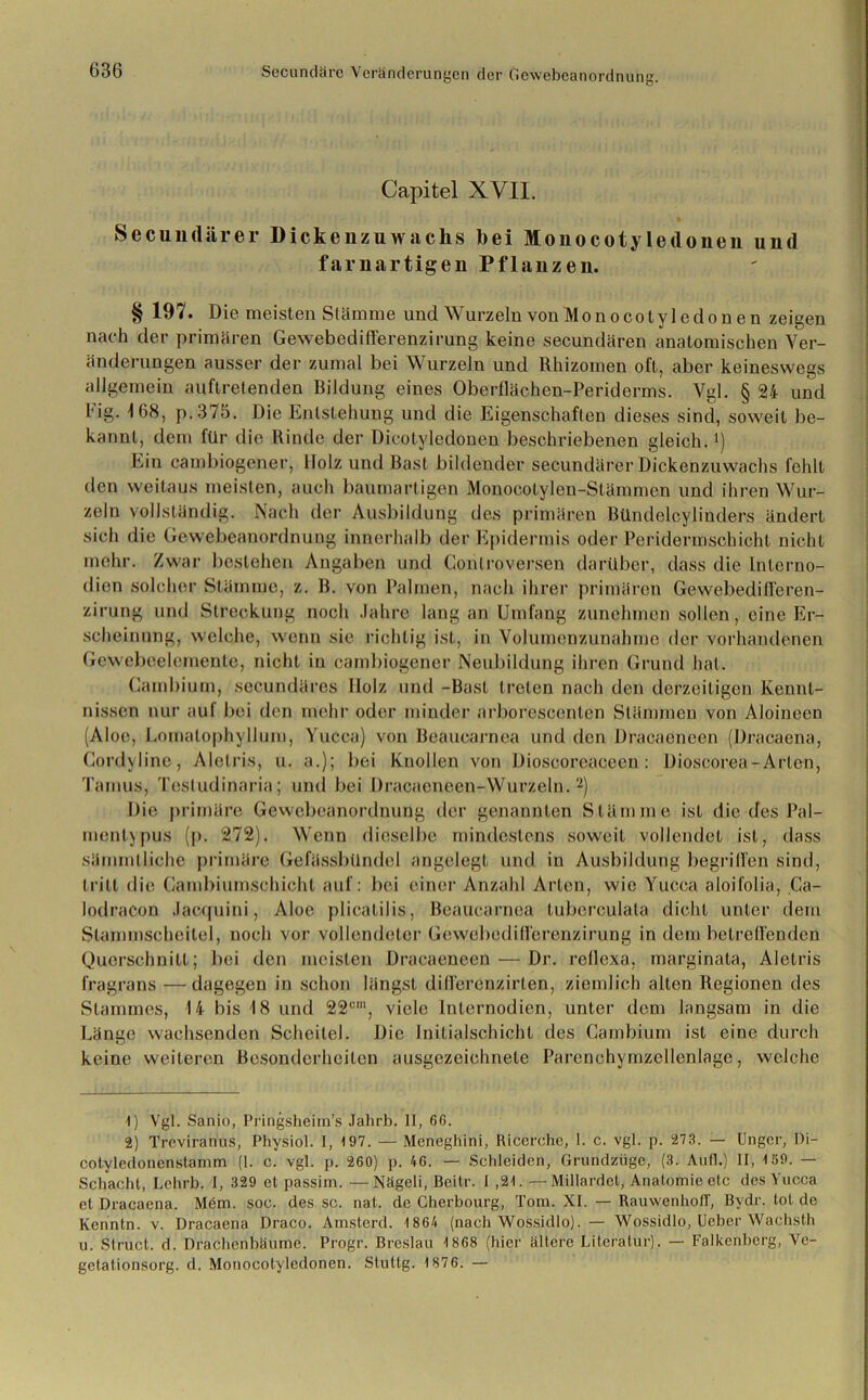 Capitel XVII. Secundärer Dickenzuwachs hei Monocotyledonen und farnartigen Pflanzen. § 197. Die meisten Stämme und Wurzeln von Monocotyledo n e n zeigen nach der primären Gewebedifferenzirung keine secundären anatomischen Ver- änderungen ausser der zumal bei Wurzeln und Rhizomen oft, aber keineswegs allgemein auftretenden Bildung eines Oberflächen-Periderms. Vgl. § 24 und Fig. 1 68, p. 375. Die Entstehung und die Eigenschaften dieses sind, soweit be- kannt, dem für die Rinde der Dicotyledonen beschriebenen gleich.1) Ein cambiogener, Holz und Bast bildender secundärer Dickenzuwachs fehlt den weitaus meisten, auch baumartigen Monoeotylen-Stämmen und ihren Wur- zeln vollständig. Nach der Ausbildung des primären Bündelcylinders ändert sich die Gewebeanordnung innerhalb der Epidermis oder Peridermschicht nicht mehr. Zwar bestehen Angaben und Gonlroversen darüber, dass die Inlerno- dien solcher Stämme, z. B. von Palmen, nach ihrer primären Gewebedifferen- zirung und Streckung noch Jahre lang an Umfang zunehmen sollen, eine Er- scheinung, welche, wenn sie richtig ist, in Volumenzunahme der vorhandenen Gewebcelemente, nicht in cambiogener Neubildung ihren Grund hat. Cambium, secundäres IIolz und -Bast treten nach den derzeitigen Kennt- nissen nur auf bei den mehr oder minder arboresccnten Stämmen von Aloinecn (Aloe, Lomalophyllura, Yucca) von Beaucarnea und den Dracaeneen (Dracaena, Cordyline, Alelris, u. a.); bei Knollen von Dioscoreaceen: Dioscorea-Arten, Tamus, Tesludinaria; und bei Üracaeneen-Wurzeln.2) Die primäre Gewebeanordnung der genannten Stämme ist die des Pal- mentypus (p. 272). Wenn dieselbe mindestens soweit vollendet ist, dass sämmllichc primäre Gefässbündol angelegt und in Ausbildung begriffen sind, tritt die Cambiumschichl auf: bei einer Anzahl Arten, wie Yucca aloifolia, Ga- lodracon Jacquini, Aloe plicatilis, Beaucarnea tuberculala dicht unter dem Slammscheilcl, noch vor vollendeter Gewebedilferenzirung in dem betreffenden Querschnitt; bei den meisten Dracaeneen — Dr. reflexa, marginata, Aletris fragrans —dagegen in schon längst differenzirlen, ziemlich alten Regionen des Stammes, 14 bis 18 und 22cm, viele Internodien, unter dem langsam in die Länge wachsenden Scheitel. Die Initialschicht des Cambium ist eine durch keine weiteren Besonderheiten ausgezeichnete Parenchymzellenlage, welche 1) Vgl. Sanio, Pringsheim’s Jahrb. II, 6G. 2) Treviranus, Physiol. I, 197. — Meneghini, Ricerche, 1. c. vgl. p. 273. — Ungcr, Di- cotyledonenstamm (1. c. vgl. p. 260) p. 46. — Schleiden, Grundzüge, (3. Aull.) II, 1S9. — Schacht, Lehrb. I, 329 et passim. —Nägeli, ßeitr. I ,2t. — Millardet, Anatomie etc des Yucca et Dracaena. M6m. soc. des sc. nat. de Cherbourg, Tom. XI. — Rauwenhoff, Bydr. tot de Kerintn. v. Dracaena Draco. Amsterd. 1864 (nach Wossidlo). — Wossidlo, Ueber Wachs,th u. Struct. d. Drachenbäume. Progr. Breslau 1868 (hier ältere Literatur). — Falkenberg, Ve- getationsorg. d. Monocotylcdonen. Stuttg. 1876. —
