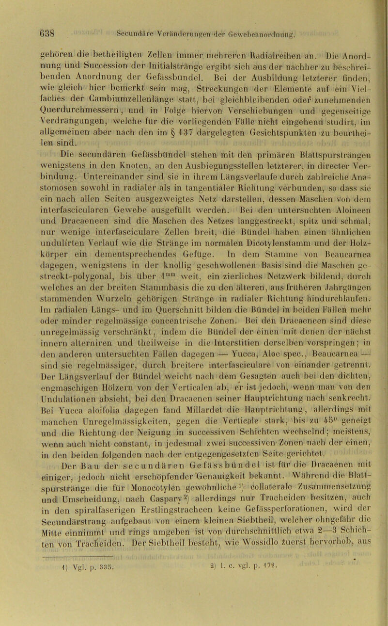 gehören die betheiligten Zellen immer mehreren Radialreihen an. Die Anord- nung und Succession der Inilialstränge ergibt sich aus der nachher zu beschrei- benden Anordnung der Gefässbündel. Bei der Ausbildung letzterer finden, wie gleich hier bemerkt sein mag, Streckungen der Elemente auf ein Viel- faches der Cambiumzellenlänge statt, bei gleichbleibenden oder zunehmenden Querdurchmessern, und in Folge hiervon Verschiebungen und gegenseitige Verdrängungen, welche für die vorliegenden Fülle nicht eingehend studirt, im allgemeinen aber nach den im § 137 dargelegten Gesichtspunkten zu beurthei- len sind. Die secundären Gefässbündel stehen mit den primären Blattspursträngen wenigstens in den Knoten, an den Ausbiegungsstellen letzterer, in directer Ver- bindung. Untereinander sind sie in ihrem Längsverlaufe durch zahlreiche Ana- stomosen sowohl in radialer als in tangentialer Richtung verbunden, so dass sie ein nach allen Seiten ausgezweigtes Netz darstellen, dessen Maschen von dem inlerfascieularen Gewebe ausgefüllt werden. Bei den untersuchten Aloineen und Dracaeneen sind die Maschen des Netzes langgestreckt, spitz und schmal, nur wenige interfasciculare Zellen breit, die Bündel haben einen ähnlichen undulirten Verlauf wie die Stränge im normalen Dicotylenstamm und der llolz- körper ein dementsprechendes Gefüge. In dem Stamme von Beaucarnea dagegen, wenigstens in der knollig geschwollenen Basis sind die Maschen ge- streckt-polygonal, bis über lmln weit, ein zierliches Netzwerk bildend, durch welches an der breiten Stammbasis die zu den älteren, aus früheren Jahrgängen stammenden Wurzeln gehörigen Stränge in radialer Richtung hindurchlaufen. Im radialen Längs- und im Querschnitt bilden die Bündel in beiden Fällen mehr oder minder regelmässige concenlrisehe Zonen. Bei den Dracaeneen sind diese unregelmässig verschränkt, indem die Bündel der einen mit denen der nächst innern allerniren und theilweise in die Interslitien derselben vorspringen; in den anderen untersuchten Fällen dagegen — Yucca, Aloe spec., Beaucarnea — sind sie regelmässiger, durch breitere interfasciculare von einander getrennt. Der Längsverlauf der Bündel weicht nach dem Gesagten auch bei den dichten, engmaschigen Hölzern von der Verticalen ab, er ist jedoch, wenn man von den Undulalionen absieht, bei den Dracaenen seiner Haüptrichtung nach senkrecht. Bei Yucca aloifolia dagegen fand Millardet die llauptrichfung, allerdings mit manchen Unregelmässigkeiten, gegen die Verticale stark, bis zu 45° geneigt und die Richtung der Neigung in suecessiven Schichten wechselnd; meistens, wenn auch nicht conslant, in jedesmal zwei suecessiven Zonen nach der einen, in den beiden folgenden nach der entgegengesetzten Seite gerichtet. Der Bau der secundären Gefässbündel ist für die Dracaenen mit einiger, jedoch nicht erschöpfender Genauigkeit bekannt. Während die Blatt- spurstränge die für Monocotylen gewöhnliche1) collaterale Zusammensetzung und Umscheidung, nach Caspary2) allerdings nur Tracheiden besitzen, auch in den spiralfaserigen Erstlingstracheen keine Gefässperforationen, wird der Secundärstrang aufgebaul von einem kleinen Sieblheil, welcher ohngefähr die Mille einnimmt und rings umgeben ist von durchschnittlich etwa 2—3 Schich- ten von Traclieiden. Der Sieblheil besieht, wie Wossidlo Zuerst hervorhob, aus -1) Vgl. |>. 335. 2) I. c. vgl. p. 172.