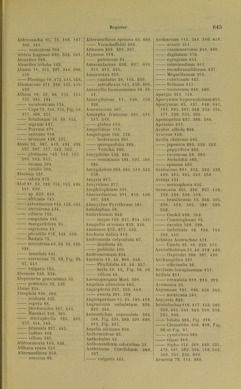 Aldrovandia 65. 70. 106. 107. 268. 384. vesiculosa 384. Aletris fragrans 636. 639. 641. Aleurites 169. Aleurites triloba 169. Alisma 11. 215. 227. 340. 386. 458. Plantago 10..173. 41 4. 458. Alismaceae 211. 223. 435. 458. 4 59. Allium 10. 39. 89. 153. 154. 155. 224. 424. ascalonicum 154. Cepa 75. 154. 155, big. 56. 277. 366. 371. fistulosum 56. 89. 154. nigrum 427. Porruni 371. sativum 149. ursinum 4 26. 427. Ainus 95. 367. 419. 491. 492. 497. 507. 517. 542. 563. glutinosa 145. 149. 497. 51 0. 513. 545. inoana 504. viridis 508. Alocasia 451. odora 279. Aloe 81. S3. 123. 154. 155. 424. 441. 639. sp. 638. 640. africana 145. arborescens 145. 155. 4 24. atrovirens 424. ciliaris 155. cuspidata 424. margaritifera 33. nigricans 43. plicatilis 155. 424. 636. Radula 75. soccotrina 43. 83. 86. 155. 424. lesselata 424. verrucosa 75. 82, Fig. 25. 87. 441. vulgaris 155. Aloineae 636. 638. Alopecurus geniculatus 53. pratensis 53. 435. Alsine 254. Alsophila 189. 302. aculeata 325. aspera 68. blechnoides 297. 445. llaenkoi 302. 305. microphylla 125. 305. 357. 44 4. 445. pruinata 297. 445. radens 302. villosa 305. Alslroemeria 146. 426. Althaea rosea 151. Allernanthera 259. amoena 66. Alternanthera spinosa 65. 608. Verschaffellii 608. Althenia 288. 289. 387. Alyssum 112. petraeum 64. Amarantaceae 606. 607. 610. 611. 612. 634. Amaranlus 259. caudatus 38. 145. 259. retroflexus 14 5. 259. 608. Amaryllis formosissima 38. 39. 41. Amaryllideae 1 1. 146. 154. 226. Amenlaceae 367. Amorpha fruticosa 501. 511. 517. 518. glabra 41 9. Ampelideae 176. Ampelopsis 150. 576. hederacea 281. quinquefolia 369. Veilchii 369. Amygdalus 432. 564. communis 494. 497. 508. 524. Amygdaleae 392. 494. 510. 525. 559. Amvris 217. Amyrideae 217. Amphilophium 591. Anacardiaceae 211. 213. 466. 467. 528. Anacyclus Pyrethrum 461. Antidaphne 48. Antirrhinum 246. majus 1 00. 247. 254. 320. Anagallis arvensis 259. 320. Ananassa 275. 277. 434. Anchusa italica 112. Andromeda calyculata 67. dealbata 89. polifolia 419. Androsaemum 254. Aneimia 42. 45. 296. 358. Phyllitidis 40. 46. 357. hirta 40. 4 5, l-'ig. 16. 4 6. villosa 4 6. Anemopaegma Mart. 591. Angelica silvestris 4 65. Angiopteris 357. 359. 442. evecta 301. 302. Angiospermae 15. 24. 18S. 412. Angraecum subulntum 238. 239. 24 0. Anisostichus capreolala 563. 586, Fig. 224. 589. 591. 606. 619, Fig. 237. Ansclia africana 238. Anthemideae 65. Anthobolus 48. Anthoxanthurn odoratum 53. Anthriscus Cerofolium 366. 367. vulgaris 464. Anthurium 115. 241. 316. 451. acaule 241. crassinervium 241. 460. digitatum 376. egregium 241. intermedium 241. -—— membranuliferum 4 27. Miquelianum 278. rubricaule 147. Selloum 147. violaceum 241. 460. Apargia 242. 44 8. Apocynum hypericifolium 253. Apocyneae 65. 137. 140. 141. 193. 195. 207. 242. 352. 454. 471. 539. 585. 593. Aponogeton 227. 366. 386. Apetalae 311. Arabis albida 248. Araceae 149. Aralia chinenis 4 65. japonica 263. 322. 332. papyrifera 263. racemosa 56. 263. Sieboldtii 465. spinosa 465. Araliaceae 211. 213. 322. 332. 403. 415. 465. 541. 550. Arauja 454. sericophora 4 54. Araucaria 255. 256. 257. 456. 312. 424. 509. 518. brasiliensis 15. 256. 395. 398. 4 5 S. 505. 528. 529. 542. Cookii 4 58. 542. Cunninghami 15. excelsa 528. 529. imbricata 42. 138. 140. 398. 4 40. Arbutus Andrachne 571. Unedo 35. 81. 223. 571. Arceuthobium 33. 48. 312.4 00. Oxycodri 266. 267. 400. Archangelica 321. offlcinalis 56. Arctium lanuginosum 157. Ardisia 211. crenulata 212. 213. 219. Aremonia 56. Argemone 191. 195. 450. 540. —— mexieana 54 I. Argyreia 623. Arislolochia 116. 117. 152. 320. 336. 435. 501.549.550. 552. 565. 606. biloba 565, Fig. 219. Clemalitis 249. 250, Fig. 96 et Fig. 97. cymbil'era 565. Gigas 249. Siplio 141. 249. 420. 435. 470. 481. 502.504. 510.545. 549. 551. 558. 600. Armeria 79. 1 13. 260,