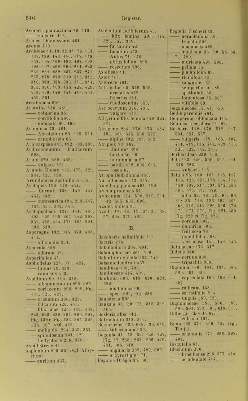 Armeria plantaginea 79. H3. vulgaris 113. Arnica Chamissonis 461. Aronia 419. Aroideae 11. 13. 32.34. 79. 133. 1 37.1 39. 1 43. 1 46. 147. 1 48. 153.154.160.180.192.195. 196. 197. 208. 209. 21 1.223. 230. 231. 232. 234. 237. 241. 275.278. 279. 310. 313.315. 316. 323. 328.333. 340. 341. 375. 376. 403. 426. 427. 429. 43S. 439. 440. 441. 446. 451. 459. 551. Arrabidaea 590. Artanlhe 436. 489. colubrina 36. cordifolia 260. clongata 69. 163. Artemisia 73. 461. Abrotanum 65. 165. 51 1. camphorata 65. Artocarpeae 1 43. 192.193.295. Arthrocnemum fruticosum 608. Arum 279. 438. 439. vulgare 451. Arundo Donax 135. 178. 328. 334. 427. 428. Arundinaria spathifiora 135. Asclepias 192. 448. 454. Cornuti 138. 1 40. 447. 454. 532. curassavica 195. 203. 447. 454. 501. 532. 540. Asrlcpiudcae 137. 1 41. 180. 193.195.199.207.242.308. 352. 448. 454.471. 484.501. 532. 539. Asparagus 132. 385. 373. 4 03. 412. offioinalis 37 I. Asperula 308. odorala 52. Asperifoliae 44. Aspliudelus 224. 371. 4 24. luteus 79. 333. ramosus 403. Aspidium 99. 104. 318. nlbopunclatum 298. 325. coriaceurn 298. 299, Fig. 135. 325. 427. cristatum 296. 325. falcatum 426. 443. filix mas 125. 132. 133. 223. 225. 230.294. 296. 297, Fig. 132 et Fig. 133. 324. 325. 326. 357. 426. 443. molle 66. 294. 355. 357. spinulosuin 231. 325. thelypteris 296. 378. Aspidistreae 11. Asplenium 296. 359 (vgl. Atby- rium). auritum 357. Asplenium bulbiferum 43. filix femina 296. 325. 326. 357. 359. furcatum 42. lucidum 4 43. Nidus 71. 148. obtusifolium 298. resectum 298. Aslelieae 11. Aster 461. Astereae 461. Astragalus 65. 549. 550. aristatus 442. falcatus 141. rhodosemius 550. Astroearyum 276. 436. vulgare 441. Alhyrium filix femina 172. 324. 377. Alragene 254. 470. 473. 484. 493. 504. 545. 568. 575. alpine 432. 501. 502. Atriplex 73. 367. Halimus 608. hortensis 66. nummularia 67. palula 432. 608. 612. i'osea 67. Atropa Belladonna 150. Aurantiaceae 143. 217. Aucuba japonica 494. 499. Avena pratensis 54. Avicennia 174. 500. 510. 511. 512. 585. 605. 606. Aznlea indica 97. Azolla 17. 18. 19. 24. 37. 38. 57. 294. 379. 4 05. B. Baccbaris halimifolia 4 61. Bactris 276. Balanophora 264. 4 01. Balanophoreae 261. 400. Balanlium culcita 357. 444. Balsamodendron 467. Bambusa 138. 438. Bambuscac 424. 439. Bauhinia 606. 618. 620. 621. 622. analomica 69. spec. 620, Fig. 238. Banisteria 593. Banksia 38. 50. 73. 315. 316. 565. Barleria alba 112. Batrachium 312. 318. Beaucarnea 636. 638. 639. 640. tuberculata 636. Begonia 34. 48. 521 126. 127, Fig. 47. 258. 263. 266. 470. 481. 506. 510. angularis 267. 499. 506. argyrostigma 71. Begonia Urögei 35. 50. Begonia Fischeri 35. heracleifolia 50. Hügelii 506. macularis 420. tnanicala 35. 50. 58. 68. 75. 499. muricata 499. 506. peltata 35. plalanifolia 69. ricinifolia 35. sanguinea 35. semperfiorens 89. spathulata 50. tomentosa 35. 267. vilifolia 69. Begoniaceae 35. 44. 550. Bellis perennis 461. Beioperone oblongata 112. Benincasa cerifera 91. 92. Berberis 412. 470. 512. 517. 531. 554. 567. vulgaris 1 49. 1 65. 407. 411. 4 1 9. 435. 442. 499. 51 0. 520. 522. 542. 545. Berberideae 259. 4 68. Bela 123. 126. 366. 367. 611. 616. 623. vulgaris 616. Betula 96. 1 00. 104. 116. 1 17. 1 1 8. 120. 121. 1 78. 184. 4 19. 420. 497. 517.531. 542. 556. 563. 575. 577. 579. alba 52. 78. 79. 95. 96, Fig. 35. 419. 486. 497. 501. 508. 510. 513. 526. 566. 572. 573. 574. 576, Fig. 221. 580, Fig. 222 et Fig. 223. cordata 508. dahurica 508. fruticosa 78. populifolia 508. verrucosa 145. 149. 545. Betulaceae 174. 317. Bidens 320. cernua 308. tripartila 308. Bignonia 180. 181. 184. 585. 589. 591. 620. capreolata 165. 499. 51 1. 587. radicans 138. serratifolia 254. unguis 589. 620. Bignoniaceae 585. 586. 588. 589. 591. 593. 606. 618.619. Bilbergia clavata 67. zebrina 434. Biota 125. 371. 4 56. 457 (vgl. Thuja). orientalis 171. 256. 398. 402. Biscutella 64. Blechnum 296. brasiliense 296. 377. 444. occidentale 44 4.