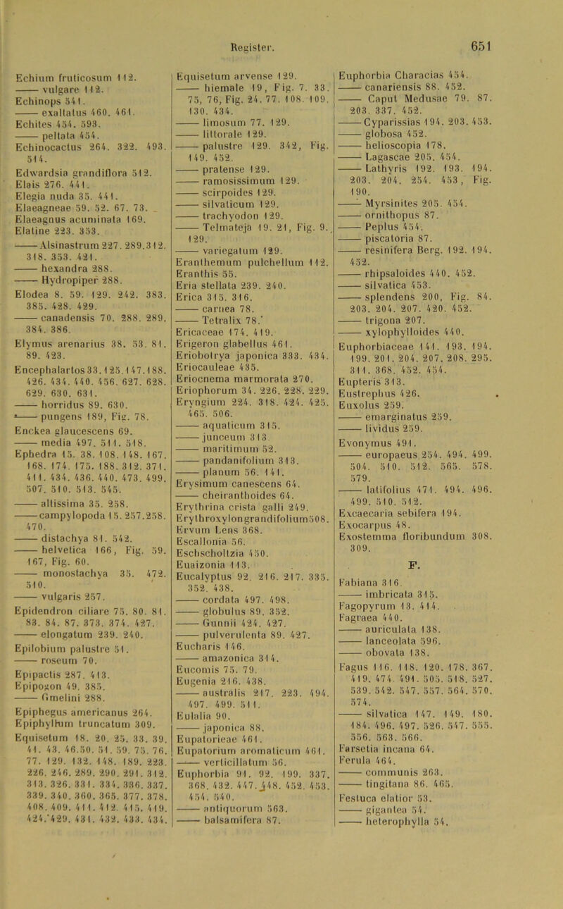 Echium fruticosum 112. vulgare i 12. Eehinops 541. exaltatus 460. 461. Echites 454. 593. peltata 454. Echinocactus 264. 322. 493. 514. Edwardsia grnndiflora 512. Eiais 276. 441. Elegia nuda 35. 441. Elaeagneae 59. 52. 67. 73. _ Elaeagnus acuniinata 169. Elatine 223. 353. Alsinastrum 227. 289.3 12. 318. 353. 421. hexandra 288. Hydropiper 288. Elodea 8. 59. 129. 242. 383. 385. 428. 429. canadensis 70. 288. 289. 384. 386. Elymus arenarius 38. 53. 81. 89. 423. Encephalartos 33.125.1 47.188. 426. 434. 440. 456. 627. 628. 629. 630. 631. horridus 89. 630. * pungens 189, Fig. 78. Enckea glaucescens 69. media 497. 514. 518. Epbedra 15. 38. 108. 148. 167. 168. 174. 175. 188. 312. 371. 411. 434. 436. 440. 473. 499. 507. 510. 513. 545. altissima 35. 258. campylopoda 15. 257.258. 470. distachya 81. 542. Helvetica 166, Fig. 59. 167, Fig. 60. monostachva 35. 472. 510. vulgaris 257. Epidendron ciliare 75. 80. 81. 83. 84. 87. 373. 374. 427. elongatum 239. 240. Epilobium palustre 51. roseutn 70. Epipactis 287. 4 13. Epipogon 49. 385. Gmelini 288. Epiphegus americanus 264. Epiphylhim truncatum 309. Equisetum 18. 20. 25. 33. 39. 41. 43. 46.50. 51. 59. 75. 76. 77. 129. 132. 148. 189. 223. 226. 246. 289. 290. 291. 312. 313. 326. 331. 334. 336. 337. 339. 340. 360. 365. 377. 378. 408. 409. 4 11. 412. 4 15. 419. 424/429. 431. 432.433.434. Equisetum arvense 129. hiemale 19, Fig. 7. 33. 75, 76, Fig. 24. 77. 1 08. 1 09. 130. 434. limosum 77. 129. littorale 129. palustre 129. 342, Fig. 149. 452. pratense 129. ramosissimum 129. scirpoides 129. silvalicum 129. trachyodon 129. Telmateja 19. 21, Fig. 9. 129. variegatum 129. Eranthemum pulchellum 112. Eranlhis 55. Eria stellata 239. 240. Erica 315. 316. caruea 78. Tetralix 78.' Ericaceae 174. 419. Erigeron glabellus 461. Eriobotrya japonica 333. 434. Eriocauleae 435. Eriocnema marmorata 27 0. Eriophorum 34. 226. 228. 229. Eryngium 224. 318. 424. 425. 465. 506. aqualicum 315. junceum 313. maritimum 52. pandanifolium 313. planum 56. 141. Erysimum canescens 64. cheirantboides 64. Erythrina crista galli 249. Erytbroxylongrandifolium508. Ervum Lens 368. Escallonia 56. Escbscholtzia 450. Euaizonia 113. Eucalvptus 92. 216. 217. 335. 352* 438. cordata 497. 498. globulus 89. 352. Gunnii 424. 427. pulverulenta 89. 427. Eucbaris 146. amazonica 314. Eucomis 75. 79. Eugenia 216. 438. australis 217. 223. 494. 497. 499. 511. Eulalia 90. japonica 88. Eupatorieae 461. Eupaloriutri aromaticum 4 61. —■— verticillatum 56. Euphorbia 91. 92. 199. 337. 368. 432. 447. J48. 452. 453. 4 5 4. 840. antiquorum 563. balsamilera 87. Euphorbia Characias 454. canariensis 88. 452. Caput Medusae 79. 87. 203. 337. 452. Cyparissias 194. 203. 453. —— globosa 452. helioscopia 178. Lagascae 205. 454. Lathyris 492. 193. 194. 203. 204. 254. 453 , Fig. 190. Myrsinites 205. 454. ornithopus 87. Peplus 454. piscatoria 87. resinifera Berg. 192. 194. 452. rhipsaloides 440. 452. silvatica 453. splendens 200, Fig. 84. 203. 204. 207. 420. 452. trigona 207. xylophylloides 440. Euphorbiaceae 141. 193. 194. 199. 201. 204. 207. 208. 295. 31 1. 368. 452. 454. Eupteris 313. Euslrephus 426. Euxolus 259. emarginatus 259. lividus 259. Evonymus 491. europaeus 254. 494. 499. 504. 510. 512. 565. 578. 579. lalifolius 471. 494. 496. 499. 510. 512. Excaecaria sebifera 194. Exocarpus 48. Exostemma floribundum 308. 309. F. Fabiana 316. imbricata 315. F’agopyrum 13. 414. Fagraea 440. auriculata 138. lanceolata 596. obovala 138. Fagus 116. 1 18. 120. 178.367. 419. 474. 491. 505. 518. 527. 539. 542. 547. 557. 564. 570. 57 4. silvatica 147. 149. 180. 184. 496. 497. 526. 547.555. 556. 563. 566. Farsetia incana 64. Ferula 464. communis 263. tingitana 86. 468. Festuca elatior 53. gigantea 54. heterophylla 54.