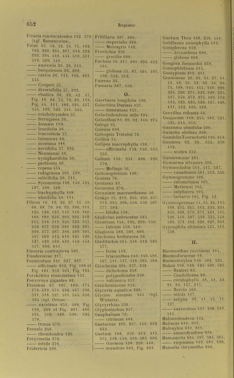 Ficaria ranunculoides 132. 370 (vgl. Ranunculus). Ficus 35. 48. 52. 54. 71. 192. 193. 200. 204. 207. 316.392. 393. 394. 448. 454. 510.511. 519. 539. 540. auslralis 36. 39. III. hengalensis 36. 202. carica 3 6. -I I I. 192. 203. 454. Cooperi 57. diversifolia 57. 392. elastica 36. 39. 42 47, Fig. 18. 60. 75. 76. 80. 110, Fig. 44. III. 180. 184. 447. 454. 499. 522. 544. 545. eriobotryoides 57. ferruginea 36. Joannis 109. laurifolia 36. leucosticta 57. lutescens 36. monlana 111. ncriifolia 57. 392. Neumanni 36. nymphaeifolia 36. pectinata 36. repens454. rubiginosa 494. 499. salicifolia 36. II I. Sycomorus 108. 140. 494. 497. 499. 500. trachyphylla 108. ulinifolia 36. III. Filiccs 18. 19. 22. 27. 41. 59. 66. 68. 70. 86. 93. 106. 1 14. 125. 126. 131. 140. 148. 160. 188. 190. 246. 289. 294. 310. 315. 316; 3 19. 324. 883. 35.>. 386.357. 359. 361 362. 365. 369.377. 387.388. 389. 405. 407. 409 415. 416. 421. 426. 427. 429. 430.433. 442. 443. 547. 636. 641. Flaveria contrajerva 461. Flindersieae 217. Foeniculum 321. 337. 367. offioinale 252, Fig. 100 el Fig. 101. 253. 464, Fig. 193. Forskahlea tenacissima 151. Fourcroya gigantea 83. Fraxinus 67( 167. 169. 174. 178. 419. 471. 486. 487. 496. 51 1. 518. 527. 531. 545. 556. 564 (vgl. Ornus). excelsior 253. 480, Fig. 190, 200 et. Fig. 201. 486. 494. 510. 526. 529. 555. 579. Ornus 579. Frenela 256. rhomboidea 125. Freycinetia 37 6. nitida 376. Fridericia 590. Frilillaria 287. 330. imperialis 336. Meleagris 149. Froclichia 259. gracilis 608. Fuchsia 39. 317. 391. 393. 432. 484. globosa 55. 87. 494. 497. 499. 510. 512. Fuirena 34. Fumaria 367. 450. G. Gaertiiera longifolia 596. Galactiles Duriaei 157. tomentosa 157. Galactodendron utile 194. Galantlms 81. 89. 92. 146. 274. Galega 65. Galenia 608. Galeopsis Tetra hi t 70. Galilea 34. Galipea macrophylla 136. officinalis 152. 153. 545. 553. Galium 150. 254. 308. 320. 472. Mullugo 56. Geitonoplesium 426. Genista 78. Gentiana 33. Geonoma 276. Geranium macrorrhizum 56. Ginkgo 15. 213. 255. 256. 257. 312.395.398. 456. 458. 567. 577. 582. biloba 458. Gladiolus imbricatus 425. Glaucium 154. 195. 209. 450. luteum 450. 541. Glaziovia 589. 591. 606. Gleohoma bederacea 52. Gleditschia 504. 510. 512. 524. 577. l'crox 419. triacanthos 140.149. 491. 497.51 I. 517. 518. 564. 582. Gleichenia 294. 357. 358. dichotoma 358. • polypodioides 358. vulcanica 357. Gleichcniaceae 355. Glyceria aquatica 228. Glycine sinensis 544 (vgl. Wistaria). Glyeyrrhiza 553. Glyptoslrobus 257. Gnaphalium 73. citrinum 461. Gnetaceae 24 6. 257. 44 0. 632. 633. GneUun 188. 258. 312. 313. 315. 318. 440. 51 0. 585. 606. Gncraon 138. 258. 440. scandens 603, Fig. 233. Gnctum Thoa 138. 258. 440. Goldfussia anisophylla 112. Gomphrena 259. deeumbens 608. globosa 608. Gongora Jaenischii 239. Goniophlebium 315. Gossypium 210. 211. Gramineae 20. 33. 34. 37. 41. 43. 48. 50. 52. 53. 54. 66. 74. 108. 125. 144. 148. 220. 224.226. 274. 323. 328.335. 337.340. 373. 374. 403. 412. 415. 423. 425.426. 427. 428. 431. 432. 435. 439. Grevillea robusta 43. Guajacum 149. 245. 486. 524. 525. 54 4. 545. Guazuma ulmil'olia 508. Guizolia oleifera 308. GundeliaTourneforlii 195. 242. Gunnera 62. 69. 353. 370. 412. scabra 353. Gunneraceae 26l. Gvmnema silvestre 593. Gymnocladus 51 1. 517. 527. canadensis 501. 512. 555. Gymnogramme 106. calomelanos 105. Martensii 105. sulpburea 105. lariarea 105, Fig. 43. Gymnospermae 14. 15. 24. I 15. 188. 235. 255.312. 332.334. 335.338.370.371. 401.415. 426. 440. 487. 530. 535.548. 569. 573. 582. 626. 628. 631. Gypsophila allissima 435. 51 4. 558. H. Haemanthus coccineus 314. Ilaemodoraceae 10. Haemaloxylon 1 48. 502. 524. Ilakea 108. 123. 424. 438. 565. Baxteri 83. Candolleana 83. ceratopbylla 38. 41. 43. 81. 83. 137. 317. Ilorida 563. nitida 137. saligna 38. 41. 43. 71. 137. suaveolens 497. 498. 510. 511. Halimodendron 4 42. Halimus 610. 611. Haloxylon 610. 611. ammodendron 608. Hamamelis 484. 497. 504. 564. virginiana 149. 481. 496. Hamelia chrysantha 308.