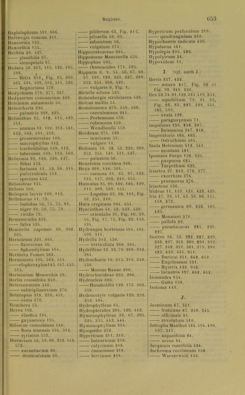 Haplolophium 591.606. Hartwegia comosa 241. Haucornia 193. Haworthia 155. Hechtia 39. 427. planifolia 67. stenopelala 67. Hedera 5ü. 215. 415. 420. 465. 499. ' , . Helix 212, Fig. 85. 369. 465. 494. 499. 510. 511. 520. Regnoriana 579. Iledycliium 178. 277. 287. Hedysarum cononarium 368. Helenium aulumnale 56. Heleocharis 226. palustris 228. 229. Helianthus 65. 112. 414. 429. 541. annuus 13. 100.213. 431. 432. 460. 461. 462. grosseserralus 109. macrophyllus 112. trachelifolius 109. 112. tuberosus 109. 112. 462. Heliconia 92. 136. 336. 4 27. Bihai 452. farinosa 41. 42. 88. 314. pulverulenla 452. speciosa 452. tlelosideae 134. llelosis 400. Heliopsis laevis 109. 112. Hclleborus 4 1. 79. foetidus 40. 74. 75. 81. niger 39. 56. 75. 79. viridis 79. Hemerocallis 333. fulva 424. Hemitelia capensis 68. 302. 305. Heracleura 321. 464. Ilavescens 56. Sphondylium 464. Hcritiera Fomes 583. Herminiera 496. 502. 514. elaphroxylonl 45.147.455. 515. Herminium Monorchis 49. llertia crassifolia 249. Heterocentron 446. subtriplincrvium 270. Heteropsis 218. 233. 451. ovala 376. Heuchera 55. Hevea 193. elashca 194. guyauensis 194. Hibiscus cannabinus 140. Rosa sinensis 494. 512. syriacus 553. Hieraeiurn 56. 59. 68. 242. 448. 472. aurantiacum 60. denticulatum 56. piliferum 63, Fig. 21 C. pilosella 56. 65. sabaudura 56. vulgalum 174. Hippocrateaceae 604. Hippomane Mancinella 454. Hippophae 495. rhamnoides 171. 495. Hippuris 8. 9. 54. 56. 67. 68. 97. 101. 129. 223. 227. 288. 353. 354. 369. 421. vulgaris 9, Fig. 1. Hirtelia silicea 525. Hohenbergia strobilacea 428. Holcus mollis 54. Homalonema 279. 459. 460. caerulescens 241. Porteanum 459. rubescens 459. Wendlandii 459. Hordeum 374. 4 28. rnurinum 53. vulgare 1 0. Hottonia 49. 52. 53. 223. 288. 353. 354. 421. 431. 527. palustris 56. Houstonia coccinea 308. Hoya 208. 448. 501. carnosa 81. 85. 87. 133. 134. 1 47. 203. 241. 454. Kumulus 95. 99. 100. 104. 109. 1 1 1. 308. 409. 454. Lupulus 65. 68. 101, Fig. 4 0. 354. 310. llura erepilans 194. 454. Hyacinthus 41. 42. 333. 430. orientalis 37, Fig. 10. 39. 46, Fig. 17. 75, Fig. 23. 146. 424. Hyd rangea hortensis 484. 494. 499. 511. Hydrilla 383. 430. verlicillala 288. 384. Hydrilleae 13.32.70.288. 312. 384. Hydrocharis 10. 315. 316. 340. *430. Morsus Ranae 286. Hydrocharideae 223. 286. Hydroeleis 386. Humboldlii 129. 173. 366. 459. Hydrocolyle vulgaris 129. 252. 253. 464. Ilydropbylleae 64. Hydropterides 294. 429. 442. Hymenophylleae 32. 67. 295. 324. 355. 442. 444. Hymenophyllum 294. Hyospathe 276. Hypericum 211. 219. balearicum 218. ealycinuin 218. canariense 218. hircinum 218. Hypericum perforatum 218. quadrangulum 253. Hypochaeris radicala 436. Hypolaena 441. Hypolepis 295. 422. llypolytrum 34. Hypoxideae 11. I. (vgl. auch J.) Iberis 257. 432. amara 247, Fig. 92 el Fig. 93. 248. 320. Ilex 52.74.81.123.335.419.551. aquifolium 79. 81. 82, Fig. 26. 83. 223. 428. 444. 485. 510. ovata 428. paraguayensis 71. Impatiens 150. 246. 507. Balsamina 247. 248. Imperaloria 464. 465. Ostrulhium 464. lnula Helenium 512. 541. montana 461. Ipomaea Purga 158. 624. purpurea 624. Turpethum 625. Iriartea 27. 243. 376. 377. exorrhiza 376. praemorsa 3J6. Iriarteae 436. lrideae 1 1. 1 49. 424. 425. 435. Iris 37. 39. 41. 42. 50. 86. 1 45. 148. 373. germanica 89. 352. 403. 425. Monnteri 371. pallida 89. pseudacorus 224. 226. 227. Isoetes 16. 53. 223. 227. 229. 236. 237.243.289.291.313. 327.348.351. 361.379. 380. 423. 430. 434. 641. Durieui 351. 642. 643. Engelmanni 351. Hyslrix 423. 642. lacustris 157. 642. 643. Isonandra 154. Gutta 158. Isotoma 4 49. J. Jasminum 67. 551. fruticans 87. 248. 545. officinale 81. revolutum 510. Jatropha Manihot 484.494.496. 497. 517. napaeifolia 64. urens 64. Jacquinia ruscifolia 434. .lochroma coccineutn 150. Warszewicii 150.