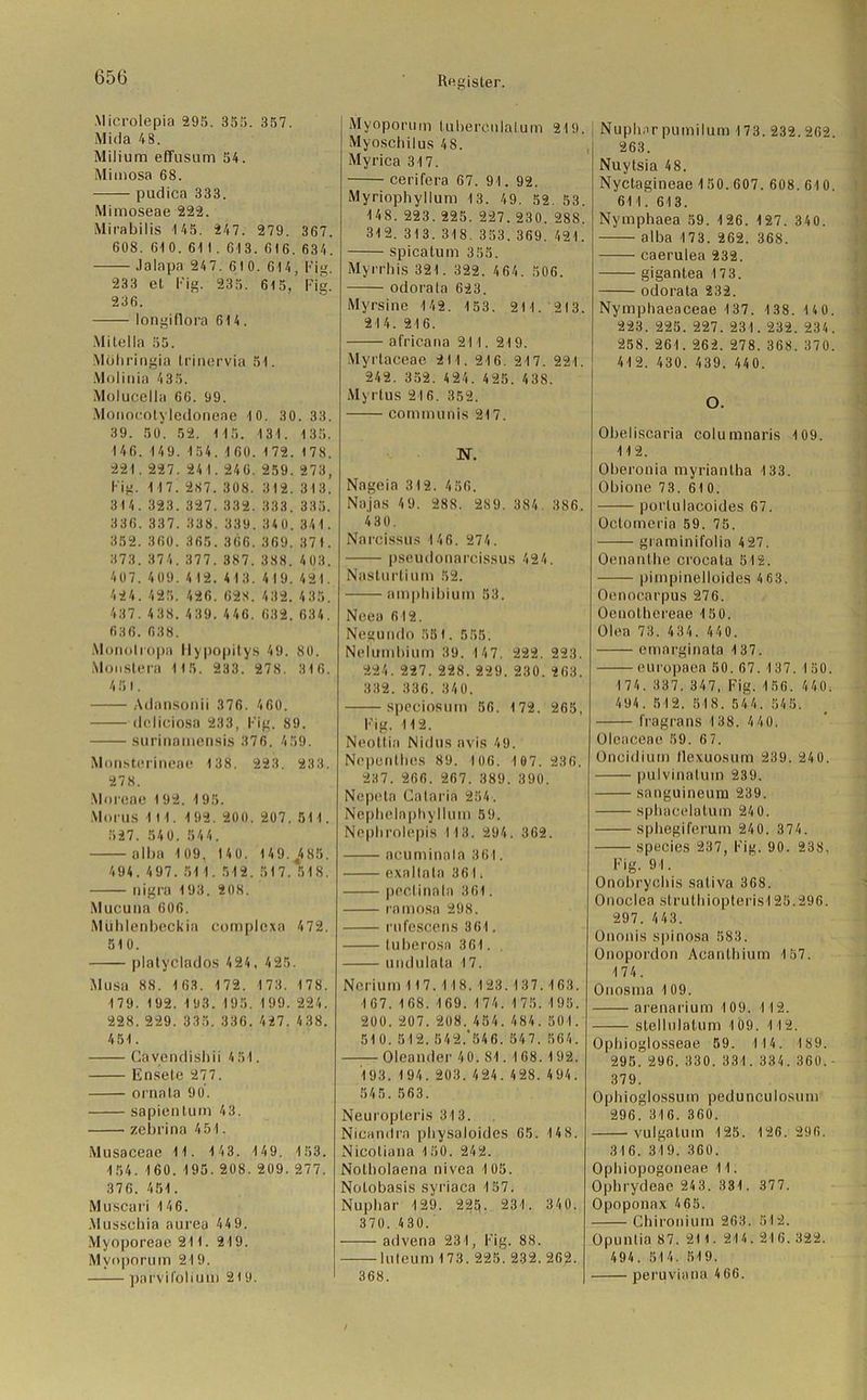 Microlepia 295. 355. 357. Mida 48. Milium effusum 54. Mimosa 68. pudica 333. Mimoseae 222. Mirabilis 145. 247. 279. 367. 608. 610. 61 I . 61 3. 616. 634'. .lalnpn 24 7. 610. 614, Fig. 233 et big. 235. 615. Fig. 236. longiflora 614. Milelia 55. Mübringia Irinervia 51. Molinia 435. Molucella 66. 99. Monocotyledonene 1 0. 30. 33. 39. 50. 52. 115. 131. 135. 146. 149. 154. 1 60. 172. 178. 221.227. 24 1. 246. 259. 273, Fig. 1 17. 287. 308. 312. 313. 314. 323. 327. 332. 333. 335. 336. 337. 338. 339. 340. 341. 352. 360. 365.366.369. 371. 373. 374.377. 387. 388. 403. 407. 409. 412. 413. 419. 421. 424. 425. 426. 628. 432. 435. 437. 438.439.446. 632.634. 636. 638. Monolropa llypopitys 49. 80. Monstera 1 15. 233. 278. 316. 451. Adansonii 376. 460. doliciosa 233, Fig. 89. surinamensis 376. 459. Mon.sterineae 138. 223. 233. 27 8. .Woreae 192. 195. Morus 111. 192. 200. 207. 511. 527. 540. 544. alba 1 09, 140. 149.^485. 494. 497. 51 1. 512. 517. 518. nigra 193. 208. Mucuna 606. Mühlenbeckia eomplexa 472. 510. platyclados 424, 425. Musa 88. 1 63. 172. 173. 178. 179. 192. 193. 195. 199. 224. 228.229. 335. 336. 427. 438. 451. Cavendishii 451. Ensete 277. ornala 90. sapientum 43. zebrina 451. Musaceae 1 1. 1 43. 1 49. 1 53. 154.160.195.208.209.277. 376. 451. Muscari 146. Mussehia aurea 44 9. Myoporeae 211. 219. Mynporum 219. parvifolium 219. Register. Myoporum tuberenlalum 219. Myoschilus 4 8. Myrica 317. cerifera 67. 91. 92. Myriophyllum 13. 49. 52. 53. 148. 223.225. 227.230. 288. 312. 313. 318. 353.369. 421. spicatum 355. Myrrbis 321. 322. 464. 506. odorata 623. Myrsine 142. 153. 21 1. 213. 214. 216. africana 211. 219. Myrtaceae 211. 216. 217. 221. 242. 352. 424. 425. 438. Myrtus 216. 352. communis 217. N. Nageia 312. 456. Najas 4 9. 288. 289. 384 386. 430. Narcissus 1 46. 274. pseudonarcissus 424. Naöturtium 52. ampbibium 53. Neeo 612. Negundo 551. 555. Nelumbium 39. 1 47. 222. 223. 224. 227. 228.229. 230.263. 332. 336. 340. speciosutn 56. 172. 265, Fig. 112. Neottia Nidus avis 49. Nepentbes 89. 106. 107. 236. 237. 266. 267. 389. 390. Nepeta Cataria 254. Nepbelnphyllum 59. Nepbrolepis 113. 294. 362. acuminala 361. exallata 361. pectinala 361. ramosa 298. rufcscens 361. tubcrosa 361. undulata 17. Nerium 1 17. 1 18. 123.137.163. 167. 168. 169. 174. 175. 195. 200.207. 208.454.484. 501. 510. 512. 542.’546. 547. 564. Oleander 4 0. S1. 168. 192. 193. 1 94. 203. 424. 428. 494. 545. 563. Neuropteris 313. Nicandra pbysaloides 65. 148. Nicoliana 150. 242. Nolbolaena nivea 105. Notobasis syriaca 157. Nupbar 129. 225. 231. 340. 370. 430. advena 231, Fig. 88. luteum 173. 225. 232. 262. 368. Nuph.tr pumilum 173. 232.262. 263. Nuytsia 48. Nyctagineae 150. 607. 608. 610, 611. 613. Nymphaea 59. 126. 127. 340. alba 173. 262. 368. caerulea 232. gigantea 173. odorata 232. Nymphaeaceae 137. 138. 1 4 0. 223. 225. 227. 231. 232. 234. 258. 261. 262. 278. 368. 370. 41 2. 430. 439. 440. O. Obeliscaria columnaris 109. 112. Oberonia myriantha 133. Obione 73. 610. porlulacoides 67. Octomeria 59. 75. graminifolia 4 27. Oenanthe crocata 512. pimpinelloides 4 63. Oenoearpus 276. Ocnotbereae 150. Olea 73. 434. 440. emarginata 137. europaea 50.67.137. 150. 1 74. 337. 347, Fig. 156. 440. 494. 512, 518. 544. 545. fragrans 138. 4 40. Oleaceae 59. 6 7. Oncidium llexuosum 239. 240. pulvinatum 239. sanguineum 239. sphacelatum 240. sphegiferum 240. 374. species 237, Fig. 90. 238, Fig. 91. Onobrychis sativa 368. Onoclea struthiopterisl 25.296. 297. 443. Ononis spinosa 583. Onopordon Acanthium 157. 174. Onosma 109. arenarium 109. 112. stellulatum 109. 112. Ophioglosseae 59. 1 1 4. 189. 295! 296. 330. 331. 334.360. ■ 379. Opbioglossuin pedunculosum 296! 31 6. 360. vulgalum 125. 126.296. 316. 319. 360. Ophiopogoneae 11. Ophrydeae 243. 331. 377. Opoponax 465. Chironium 263. 512. Opuntia 87. 211. 214. 216.322. 494. 514. 519. peruviana 4 66.