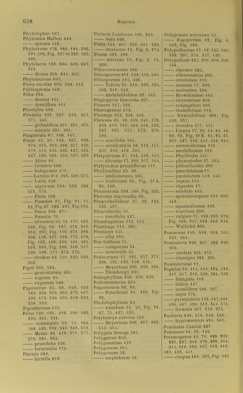 Phytelephas 1 67. Phyteuma Halleri 4 49. spicata 4 49. Phytocrene 176. 180. 184. 586. 591,592, Fig. 227 et 228. 593. 606. Phytolacca 150. 604. 606. 607. 611. dioiea 259. 611. 617. Phytolacceae 607. Picea excelsa 505. 508. 51 0. Piddingtonia 449. Pilea 150. decora 111. densifloca 111. Pilostyles 400. Pilularia 221. 231. 313. 357. 377. 445. globulifera 231. 294. 295. minula 294. 295. Pinguicula 67. 106. 1 07. Pinus 15. 81. 128. 167. 169. 172. 215. 216. 256.257. 320. 371. 414. 424.425.437. 455. 487. 495. 505.506. 537. 569. Abies 81. Cemhra 4 86. halepensis 371. Laricio 213, 395. 506. 575. I.arix 458. nigricans 510. 559. 568. 574. 575. Picea 458. Pinaster 37, Fig. 11. 75. 82, Fig.27. 395. 397, Fig. 185. Pinea 256. 371. Pumilio 75. silvestris 52. 74. 1 17.165. 166, Fig. 58. 167. 171. 213. 256. 257, Fig. 110. 371. 395. 396. 456. 457. 458. 475. 476, Fig. 195. 486. 490. 491. 495. 506. 508, Fig. 208. 510. 517. 520. 528. 571. 572. 575. strobus 52. 491. 525. 559. 568. Piper 260. 583. geniculalum 260. nigrum 69. rugosum 420. Piperaceae 35. 69. 142. 152. 163. 258. 259. 260. 279. 407. 436. 470. 490. 494. 519. 532. 550. 552. Piplatherurn 4 35. Pirus 120. 184. 419. 420 485. 539. 544. 554. communis 52. 75. 184. 486. 495. 510. 545. 548. 552. Malus 86. 419. 571. 577. 579. 581. 582. prunifolia 508. torminalis 174. Pisonia 320. birteila 616. Pislacin Lentiscus 466. 545. vera 466. Pistia 148. 225. 230. 41 4. 430. stratiotes 10, Fig. 2. 172. Pisum 368. 369. sativum 13, Fig. 5. 14. 368. Pithecoctenium 590. Pittosporeae211. 403. 415. 466. Pittosporum 215. 466. Tobira 35. 213. 466. 494. 499. 541. 542. undulatifolium 35. 542. Plagiogyria biserrata 297. Planera 31 7. 566. Plantagineae 4 72. Planlago 242. 246. 436. Pia tan us 65. 66. 119. 141. 1 79. 308. 419. 510. 542. 545. 556. 563. 564. 471. 572. 579. 582. acerifolia 504. occidentalis 56. 1 18. 147. 251. 310. 419. 500. Platycerium 67. 316. 318. 442. alieorne 17. 298. 357.4 4 4. Platycodon grandillorus 541. Plectronthus 65. 66. amboinensis 563. frulicosus 63, Fig. 21 A. 99. 100. Pleonotoma 586. 590, Fig. 225. Pieroma macrantha 69. Pleurothallideae 57. 59. 123. 125. 427. Pleurothallis 59. ruscifolia 427. Plumbagineae 113. 114. Plumbago 1 13. 260. Plumiera 454. alba 195. Poa bulbosa 54. compressa 54. nemoralis 54. Podocarpus 15. 125. 257. 371. 398. 424. 426. 456. 458. Meyerin na 395. 396. 398. Thunbergii 395. Podophyllum 258. 259. 4 36. Podosteinmeae 385. Pogoslemon 66. 99. Palschouli 94. 1 00, Fig. 38. Pholidophyllum 42. zonatum 33. 4 0, Fig. 12. 67. 75. 427. 435. Polybotrya cervina 443. Meyeriana 306. 307. 326. 443. 444. Polygala Senega 585. Polygaleae 606. Polygonatum 4 21. Polygoneae 104. Polygonum 52. amphibium 53. Polygonum aviculare 51. Fagopyrum 12, Fig. 4. 4 06, Fig. 186. Polypodiaceae 17. 19. 125. 160. 189. 297. 355. 357. 429. Polypodium 125. 299. 318. 359. 444 .’ alpestre 325. altescandens 298. areolatum 113. aureum 17. 299. aurisetum 298. Brovvnianum 443. cayennense 298. conjugatum 295. crassifolium 113. fraxinifolium 299, Fig. 136. 357. ireoides 377. 444. Lingua 17. 39. 44. 45. 46. 62. 63, Fig. 21 E. 64. 65. 67. 357. 427. 442.443. 444.445. meniscifolium 113. morbillosum 113. Phyllitidis 444. phymatodes 17. 355. pilloselloides 298. punctulatum 17. pustulalum 442. 444. repens 113. rupestre 17. solid um 4 43. sporadocarpum 113. 299. 44 3. squamulosum 326. tenellum 298. vulgare 17.190.299. 3 56, Fig.160. 357. 442. 443.444. Wallichii 295. Pomaceae 1 49. 512. 518. 545. 563. 564. Pontcderia 223. 227. 228. 229. 230. cord ata 230. 275. crassipes 225. 230. Pontederieae 11. PopulUS 50. 1 1 5.14 9.1 84. 51 0. 511. 517. 518. 539.564. 582. fastigiata 118. italica 147. monilifera 486. 507. nigra 574. pyramidalis 486. 487.491. 494.497. 498. 513. 544.574. trcmula 507. 513. 574. Porlieria 500. 510. 542. 546. hygrometrica 494. 545. Posidonia Caulini 227. PotameaelO. 59. 1 48. Polamogeton 49. 7 0. 129. 223. 225. 227. 242. 279.289. 31 4. 31 5. 31 6. 382. 407. 412. 41 3. 423. 436. 441. crispus13l. 285, Fig. 124