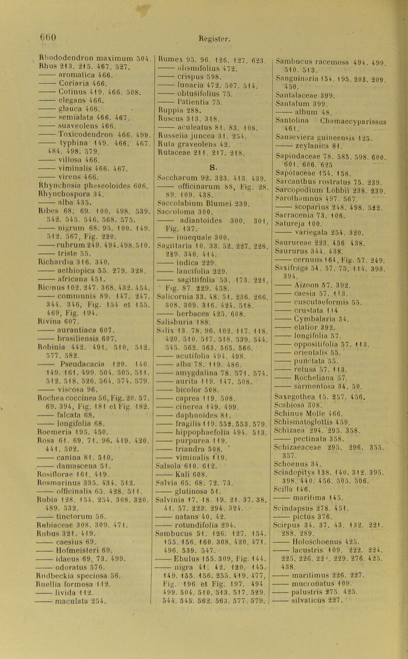 Rhododendron maximum 504. Rhus 213. 215. 467. 527. aromatica 466. —— Coriaria 4 66. Cotinus 4 19. 466. 508. elegans 466. glauca 466. semialata 466. 467. suaveolens 466. Toxicodendron 466.499. typhina 149. 466. 467. 484. 498. 579. viliosa 466. viminalis 466. 467. vireris 466. Rhynchosia phaseoloides 606. Rhynchospora 34. alba 435. Ribes 68. 69. 100. 498. 539. 542. 545. 546. 568. 575. nigrum 68. 95. 100. 149. 512. 567, Fig. 220. rubrum 249. 494.498.510. triste 55. Ricbardia 316. 340. aethiopica 55. 279. 328. africana 451. Ricinus 102. 247. 368. 432. 454. communis 89. 147. 247. 344. 346, Fig. 154 et 155. 469, Fig. 194. Rivina 607. aurantiaca 607. brasiliensis 607. Robinia 442. 491. 510. 512. 577. 582. Pseudacacia 129. 140. 149. 161. 499. 504. 505. 51 1. 512. 518. 526. 564. 574.579. viscosa 96. Rochea coccinea 56, Fig. 20. 57. 69. 394, Fig. 181 et Fig. 182. falcata 68. longifolia 68. Roemeria 195. 450. Rosa 61. 69. 71. 96. 419. 420. 441. 502. canina 81. 510. . damascena 51. Rosiflorae 161. 419. Rosmarinus 335. 434. 512. officinalis 65. 428. 51 1. Rubia 128, 154. 254. 308. 320. 489. 532. tinclorum 56. Rtibiaceae 308. 309. 471. Ruhus321. 419. caesius 69. Hofmeisteri 69. idaeus 69. 73. 499. odoratus 576. Rudbeckia speciosa 56. Ruellia formosa 112. livida 112. maculata 254. Rumex 95. 96. 126. 127. 623. alismifolius 472. crispus 598. lunaria 472. 507. 514. oblusifolius 75. Patientia 75. Ruppia 288. Ruscus 313. 318, aruleatus 81. 83. 108. Russelia juncea 31. 254. Rula graveolens 42. Rulaceae 211. 217. 218. S. Saccharum 92. 323. 413. 439. officinarum 88, Fig. 28. 89. 109. 438. Saccolabium ßlumei 239. Saceoloma 300. adiantoides 300. 301, Fig. 137. inaequale 300. Sagiltaria 10. 33. 52. 227. 228. 229. 340. 414. indica 229. lancifolia 229. sngitlifolia 53. 173. 221, ' Fig. 87 229. 458. Salicornia 33. 48. 51. 236. 266. 308. 309. 316. 424. 518. lierbacea 4 25. 608. Salisburia 188. Salix 13. 78. 96. 102. 117. 118. 420. 510. 517.518. 539. 544. 545. 562. 563. 565. 566. acutifolia 494. 498. alba 78. 119. 486. amygdalina 78. 571. 574. aurita 119. 147. 508. bicolor 508. caprea 119. 508. cinerea 149. 499. dapbnoides 81. fragilis 119. 552.588. 579. hippophaefolia 494. 5 13. purpurea 119. triandra 508. viminalis 119. Salsola 610. 612. Kali 608. Salvia 65. 68. 72. 73. glutinosa 51. Salvinia 17. 18. 19. 21. 37. 38. 41. 57. 223. 294. 324. natans 40. 42. rolundifolia 294. Sambucus 51. 126. 127. 154. 155.156.160. 308. 420. 471. 496. 539. 547. Ebulus 155. 309, Fig. 144. nigra 41. 42. 120. 145. 149. 155. 156. 255. 419. 477, Fig. 196 et Fig. 197. 494 499. 504. 510. 513. 517. 529. 544. 545. 562. 563. 577.579. Sambucus racemosa 49 4 . 4 99 510. 513. Sanguinaria 154. 195. 203. 209 450. Santalaceae 399. Saulalum 399. —— album 48. Sanlolina Chamaecvparissus 461. Sanseviera guineensis 125. zeylanica 81. Sapindaceae 78. 585. 598. 600. 601. 606. 625 Sapotaceae 154. 158. Sarcantbus rostratus 75. 239. Sarcopodium Lobbii 238. 239. Sarothnmnus 497. 567. scoparius 248. 498. 522. Sarracenia 73. 1 06. Satureja 100. variegata 254. 320. Saurureae 223. 436 438. Saururus344. 438. cernuus 1 64, Fig. 57. 249. Saxifraga 54. 57. 75. 114. 393. 394. Aizoon 57. 392. caesia 57. 113. cuscutaulormis 55. crusfata 114 Cymbalaria 34. clatior 392. longifolia 57. opposililolia 57. 113. orienlalis 55. punctata 55. retusa 57. 113. Rocheliana 57. sarmentosa 34. 50. Saxegolhea 15. 257. 456. Scabiosa 308! Schinus Molle 4 66. Schismatoglotlis 459. Schizaea 294. 295. 358. pectinala 358. Schizaeaceae 295. 296. 355. 357. Schoenus 34. Sciadopitys 138. 140. 312. 395. 398. 440. 456. 505. 506. Scilla 14 6. maritima 145. Scindapsus 278. 451. pictus 376. Scirpus 34. 37. 43. 132. 221. 288. 289. HoloSclioenus 425. lacuslris 1 09. 222. 224. 225. 226. 22“. 229. 276. 4 25. 438. maritimus 226. 227. mucionatus 109. palustris 275. 425. silvalicus 227.