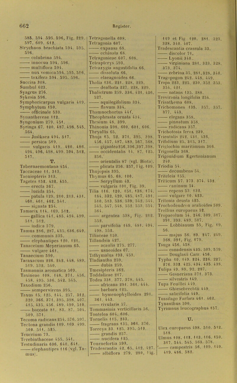 586. 594. 595. 596, Fig. 229. 597. 609. G12. Slrychnos braeliiata 594. 595. 596. colubrina 594. innocua 594. 596. muiliflora 594. nux vomica 594. 595. 596. toxifera 594. 595. 596. Succisa 308. Sumbul 623. Syagrus 276. Sykesia 596. Symphoricarpus vulgaris 419. Symphytum 150. officinale 533. Synanthereae 112. Syngonium 279. 451. Syringa 67. 100. 487. 498. 545. 564. Josikaea 494. 517. persica 519. vulgaris 419. 420. 486. 494. 496. 498.499.504.512. 517. T. Tabernaemonlana 454. Taccaceac 11. 313. Tacniopteris 313. Tagetes 152. 432. 455. erecln 367. , lucicla 254. patula 129. 210.213. 431. 460. 461. 462. 541. signata 254. Tamarix 114. 169. 512. gallica 141. 4 85. 4 94. 499. 511. 512. indica 579. Tamus 286. 287. 435. 636. 64 0. communis 335. elcphnnlipes 120. 121. Tanacelum Meyerianum 65. vulgare 461. Tanaecium 590. Taraxacum 226. 242. 4 48. 489. 519. 532. 54 0. Tasmannia aromatica 509. Taxin’eac 108. 148. 371. 456. 458. 495. 536. 542. 545. Taxodium 256. sempervirens 395. Taxus 15. 125. 144. 257. 312. 320. 366. 371. 395.398. 407. 415. 435. 456. 489. 490. 510. bnccala 81. 83. 87. 504. 509. 571. Tecoma radicans254.576. 597. Tectona grandis 109. 169. 499. 500. 511. 525. Teucrium 73. Terebintbaceae 455. 541. Testudinaria 636. 640. 641. clephantipes 116 (vgl. Ta- mus) . Tetragonella 608. Tetragonia 607. expansa 68. cchinata 68. Tetragonieae 607. 608. Tetraptcrys 593. Tetrazygia angustifolia 66. dissoluta 66. elaeagnoides 66. Thalia 136. 221. 228. 229. dealbata 227. 228. 229. Thalictrum 239. 336. 421. 436. 527. aquilegifolium 334. flnvum 334. Thamnochortus 4 41'. Theophrasta ornata 434. Thesium 48. 399. Thinouia 598. 600. 601. 606. Thryallis 65. Thuja 15. 52. 371. 395. 398. 456. 457. 487.489. 567. 568. gigantea236. .396.397.398. occidentalis 14. 87. 125. 256.' orientalis 87 (vgl. ßiola). plicata 256. 257, I ig. 109. Thujopsis 395. Thjmus 65. 68. 100. Serpyllum 43. vulgaris 101, Fig. 39. Tilia 11 6. 120. 151. 138. 174. 184. 332. 420. 485. 487. 491. 510. 513. 538. 539. 542. 544. 545. 547.548. 552. 553. 554. 564. argentea 538, Fig. 212. 552. parvifolia 149. 481. 494. 498. 552. Tiliaceae 150. Tillandsia 427. acoillis 275. 277. usneoides 67. Tithymalus 193. 453. Tladiantha 259. dubia 259. Tmesipteris 362. Toddalieae 217. Todea 331. 377. 378. 445. africann 291. 361. 444. barbara 125. hymenophylloides 291. 361. 443. rivularis 57. Tommasinia vcrticillaris 56. Tontelea 604. 606. Tornelia 115. 233. fragrans 135. 366. 376. Torreya 33. 125. 395. 510. grandis 257. nucifera 125. Tournefortia 593. Tradescanlia 42. 65. 412. 427. albiflora 279. 280, I ig. 119 et Fig 120. 281. 323. 328. 340. 407. Tradescanlia crassula 33. discolor 71. Lyonii 340. virginiana 281. 323. 328. 373. 374. zebrina 35. 281.328. 340. Tragopogon 242. 448. 449. Trapa 223. 225. 230. 352. 353. 354. 421. natans 135. 288. Trevirania longifolia 254. Trianthema 608. Trichom.anes 135. 357. 357. 377. 443. elegans 358. pinnatum 358. radicans 357. Trichotosia ferox 239. Trienlalis 242. 431. 436. Trifolium 25. 315. 317. Triglochin maritimum 366. Trigonelia 368. Trigonidmm Egertoniahum 240. Triodia 54. decumbens 54. Triteleia 155. Tritieum 57. 373. 374. 432. caninum 54. repens 53. 132. vulgare 10. 423. Trilonia deusta 425. Trochodendron aralioides 509. Troilius europaeus 52. Tropaeolum 54. 246. 309. 317. 391. 393. 489. 507. Lobbianum 55, Fig. 19. 56. majus 56. 89. 247. 249. 368. 391, Fig. 179. Tsuga 456. 458. canadensis 435. 505. 579. Douglasii Carr. 456. Typha 10. 149. 224. 226. 227. “276. 332 425. 434. 435. 43S. Tulipa 49. 89. 92. 287. Gesneriana 371. 373. silveslris 14 9. Tupa Feuillei 4 49. Ghiesebreehtii 4 49. salicifolia 449. Tussilago Farfara 461. 462. Tynanthus 590. Tyriinnus leucographus 157. U. Ulex europaeus 498. 510. 512. 518 UlmUS 108.112.113. 116.150. 317. 544. 545. 563. 578. campestris 56. 109. 149. 419. 486. 582.