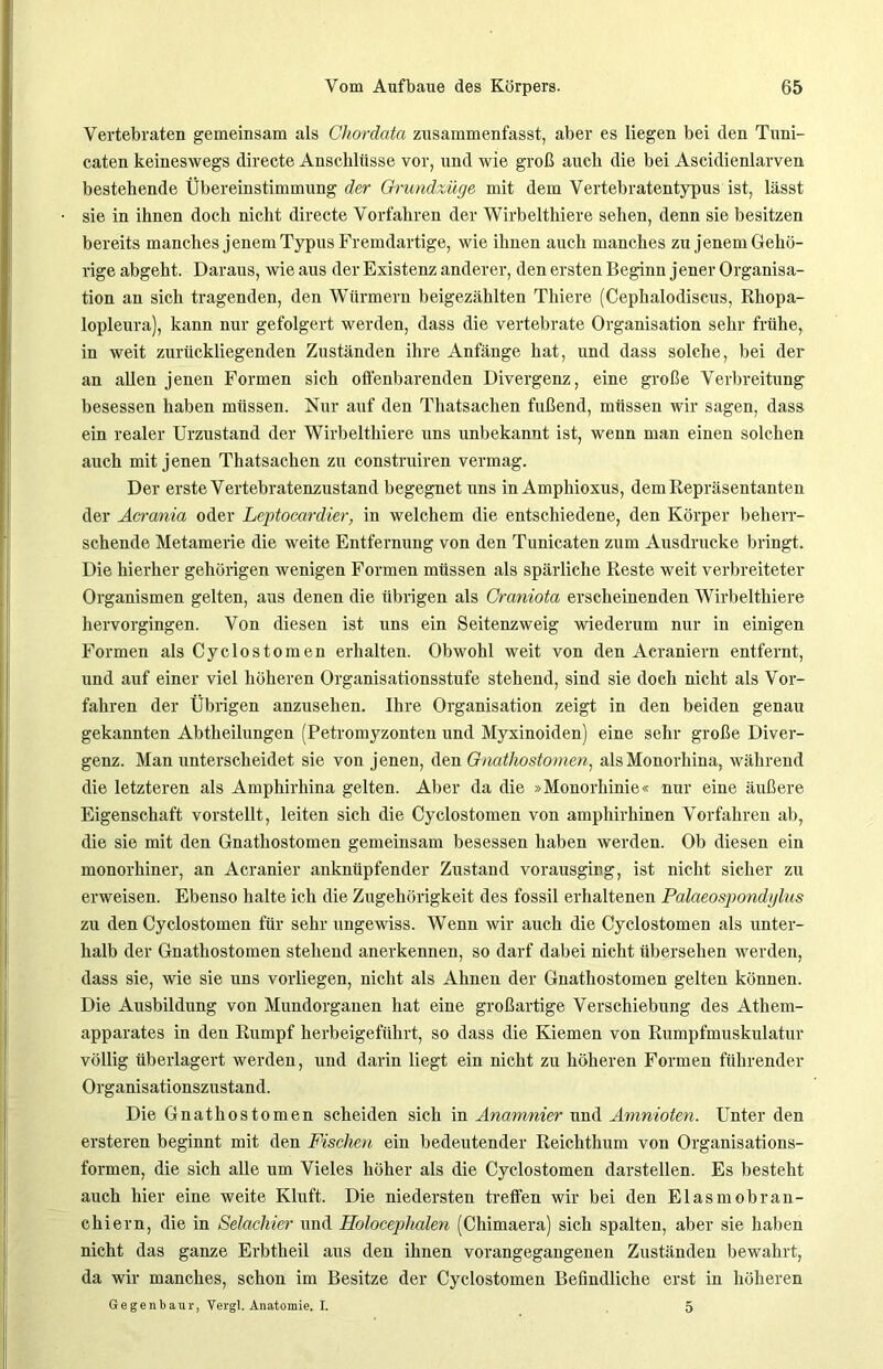 Vertebraten gemeinsam als Chordcita zusammenfasst, aber es liegen bei den Tuni- caten keineswegs directe Anschlüsse vor, und wie groß auch die bei Aseidienlarven bestehende Übereinstimmung der Grundzüge mit dem Vertebratentypus ist, lässt sie in ihnen doch nicht directe Vorfahren der Wirbelthiere sehen, denn sie besitzen bereits manches jenem Typus Fremdartige, wie ihnen auch manches zu jenem Gehö- rige abgeht. Daraus, wie aus der Existenz anderer, den ersten Beginn jener Organisa- tion an sich tragenden, den Würmern beigezählten Thiere (Cephalodiscus, Rhopa- lopleura), kann nur gefolgert werden, dass die vertebrate Organisation sehr frühe, in weit zurückliegenden Zuständen ihre Anfänge hat, und dass solche, bei der an allen jenen Formen sich offenbarenden Divergenz, eine große Verbreitung besessen haben müssen. Nur auf den Thatsachen fußend, müssen wir sagen, dass ein realer Urzustand der Wirbelthiere uns unbekannt ist, wenn man einen solchen auch mit jenen Thatsachen zu construiren vermag. Der erste Vertebratenzustand begegnet uns inAmphioxus, dem Repräsentanten der Acrania oder Leptocardier, in welchem die entschiedene, den Körper beherr- schende Metamerie die weite Entfernung von den Tunicaten zum Ausdrucke bringt. Die hierher gehörigen wenigen Formen müssen als spärliche Reste weit verbreiteter Organismen gelten, aus denen die übrigen als Graniota erscheinenden Wirbelthiere hervorgingen. Von diesen ist uns ein Seitenzweig wiederum nur in einigen Formen als Cyclostomen erhalten. Obwohl weit von den Acraniern entfernt, und auf einer viel höheren Organisationsstufe stehend, sind sie doch nicht als Vor- fahren der Übrigen anzusehen. Ihre Organisation zeigt in den beiden genau gekannten Abtheilungen (Petromyzonten und Myxinoiden) eine sehr große Diver- genz. Man unterscheidet sie von jenen, den Gnathostomen, alsMonorhina, während die letzteren als Amphirhina gelten. Aber da die »Monorhinie« nur eine äußere Eigenschaft vorstellt, leiten sich die Cyclostomen von amphirliinen Vorfahren ab, die sie mit den Gnathostomen gemeinsam besessen haben werden. Ob diesen ein monorhiner, an Acranier anknüpfender Zustand vorausging, ist nicht sicher zu erweisen. Ebenso halte ich die Zugehörigkeit des fossil erhaltenen Palaeospondglus zu den Cyclostomen für sehr ungewiss. Wenn wir auch die Cyclostomen als unter- halb der Gnathostomen stehend anerkennen, so darf dabei nicht übersehen werden, dass sie, wie sie uns vorliegen, nicht als Ahnen der Gnathostomen gelten können. Die Ausbildung von Mundorganen hat eine großartige Verschiebung des Athem- apparates in den Rumpf herbeigeführt, so dass die Kiemen von Rumpfmuskulatur völlig überlagert werden, und darin liegt ein nicht zu höheren Formen führender Organisationszustand. Die Gnathostomen scheiden sich in Anamnier und Amnioten. Unter den ersteren beginnt mit den Fischen ein bedeutender Reichthum von Organisations- formen, die sich alle um Vieles höher als die Cyclostomen darstellen. Es besteht auch hier eine weite Kluft. Die niedersten treffen wir bei den Elasmobran- chiern, die in Selachier und Holocephalen (Chimaera) sich spalten, aber sie haben nicht das ganze Erbtheil aus den ihnen vorangegangenen Zuständen bewahrt, da wir manches, schon im Besitze der Cyclostomen Befindliche erst in höheren Gegenbaur, Vergl. Anatomie. I. 5