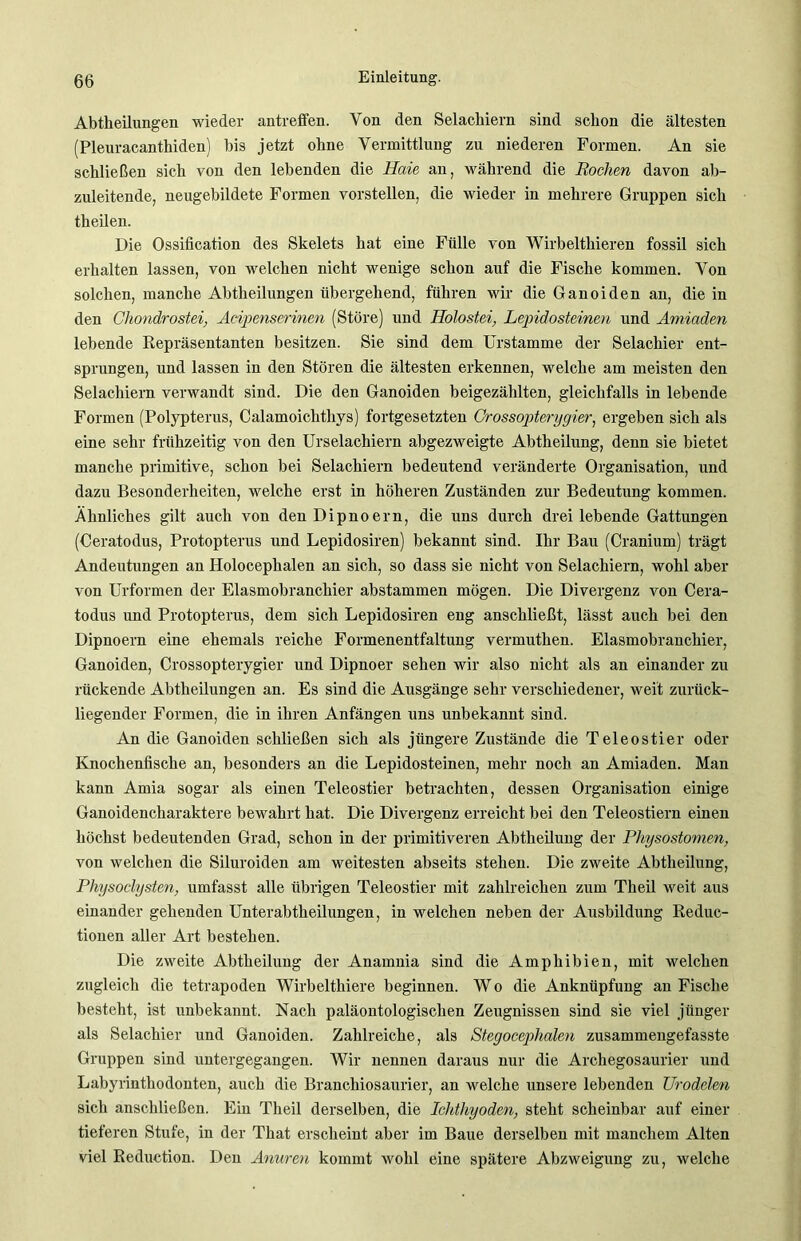 Abtheilungen wieder antreffen. Von den Selachiern sind schon die ältesten (Pleuracanthiden) bis jetzt ohne Vermittlung zu niederen Formen. An sie schließen sich von den lebenden die Haie an, während die Rochen davon ab- zuleitende, neugebildete Formen vorstellen, die wieder in mehrere Gruppen sich theilen. Die Ossification des Skelets hat eine Fülle von Wirbelthieren fossil sich erhalten lassen, von welchen nicht wenige schon auf die Fische kommen. Von solchen, manche Abtheilungen übergehend, führen wir die Ganoiden an, die in den Chondrostei, Acipenserinen (Störe) und Ilolostei, Leindosteinen und Amiaden lebende Repräsentanten besitzen. Sie sind dem Urstamme der Selachier ent- sprungen, und lassen in den Stören die ältesten erkennen, welche am meisten den Selachiern verwandt sind. Die den Ganoiden beigezählten, gleichfalls in lebende Formen (Polypterus, Calamoichthys) fortgesetzten Crossopterygier, ergeben sich als eine sehr frühzeitig von den Urselachiern abgezweigte Abtheilung, denn sie bietet manche primitive, schon bei Selachiern bedeutend veränderte Organisation, und dazu Besonderheiten, welche erst in höheren Zuständen zur Bedeutung kommen. Ähnliches gilt auch von den Dipnoern, die uns durch drei lebende Gattungen (Ceratodus, Protopterus und Lepidosiren) bekannt sind. Ihr Bau (Cranium) trägt Andeutungen an Holocephalen an sich, so dass sie nicht von Selachiern, wohl aber von Urformen der Elasmobranchier abstammen mögen. Die Divergenz von Cera- todus und Protopterus, dem sich Lepidosiren eng anschließt, lässt auch bei den Dipnoern eine ehemals reiche Formenentfaltung vermuthen. Elasmobranchier, Ganoiden, Crossopterygier und Dipnoer sehen wir also nicht als an einander zu rückende Abtheilungen an. Es sind die Ausgänge sehr verschiedener, weit zurück- liegender Formen, die in ihren Anfängen uns unbekannt sind. An die Ganoiden schließen sich als jüngere Zustände die Teleostier oder Knochenfische an, besonders an die Lepidosteinen, mehr noch an Amiaden. Man kann Amia sogar als einen Teleostier betrachten, dessen Organisation einige Ganoidencharaktere bewahrt hat. Die Divergenz erreicht bei den Teleostiern einen höchst bedeutenden Grad, schon in der primitiveren Abtheilung der Physostomen, von welchen die Siluroiden am weitesten abseits stehen. Die zweite Abtheilung, Physoclysten, umfasst alle übrigen Teleostier mit zahlreichen zum Theil weit aus einander gehenden Unterabtheilungen, in welchen neben der Ausbildung Reduc- tionen aller Art bestehen. Die zweite Abtheilung der Anamnia sind die Amphibien, mit welchen zugleich die tetrapoden Wirbelthiere beginnen. W o die Anknüpfung an Fische besteht, ist unbekannt. Nach paläontologischen Zeugnissen sind sie viel jünger als Selachier und Ganoiden. Zahlreiche, als Stegocephalen zusammengefasste Gruppen sind untergegangen. Wir nennen daraus nur die Archegosaurier und Labyrinthodonten, auch die Branchiosaurier, an welche unsere lebenden Urodelen sich anschließen. Ein Theil derselben, die Ichthyoden, steht scheinbar auf einer tieferen Stufe, in der That erscheint aber im Baue derselben mit manchem Alten viel Reduction. Den Anuren kommt wohl eine spätere Abzweigung zu, welche