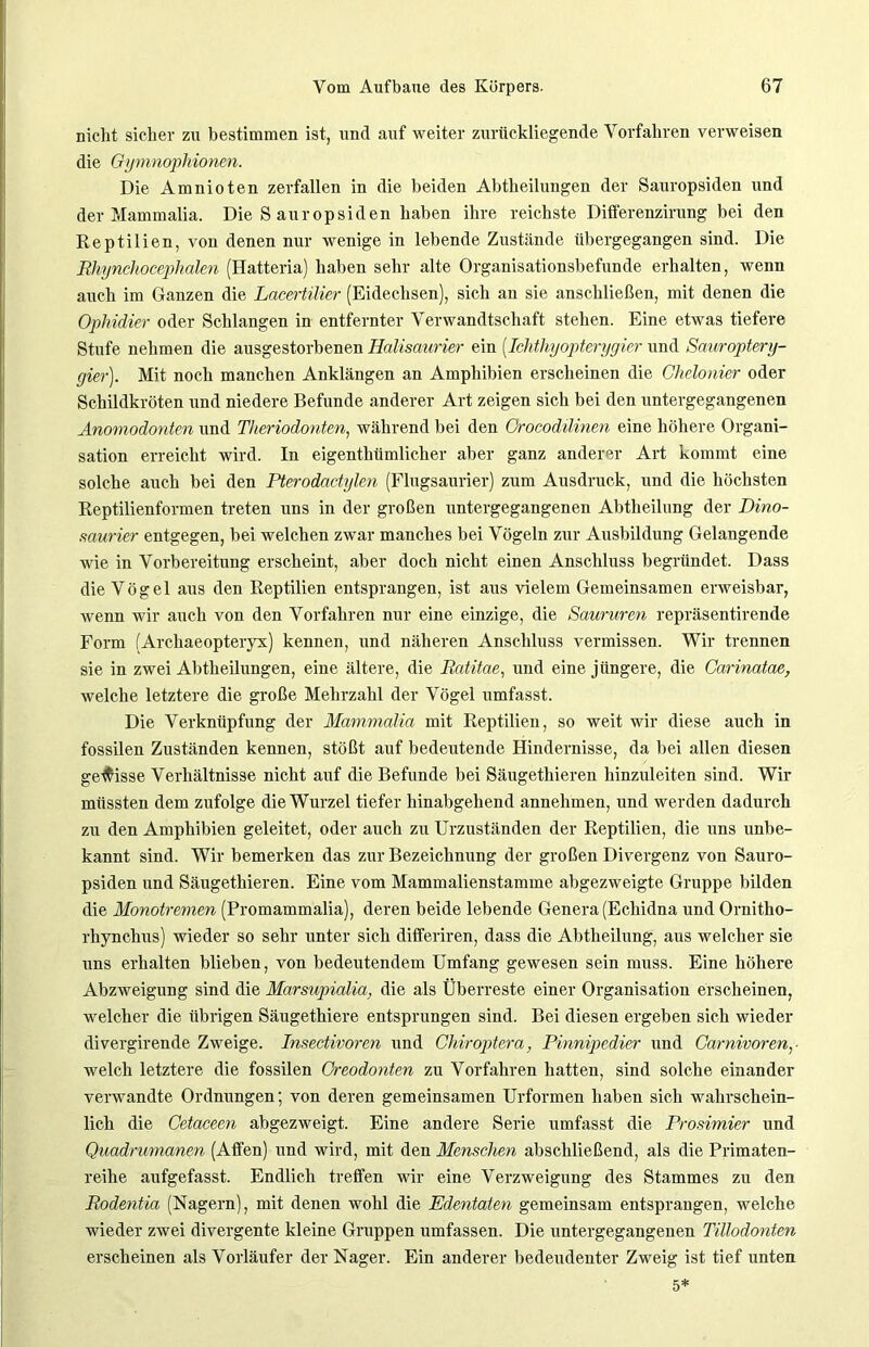 nicht sicher zu bestimmen ist, und auf weiter zurückliegende Vorfahren verweisen die Gymnophionen. Die Amnioten zerfallen in die beiden Abtheilungen der Sauropsiden und der Mammalia. Die S auropsiden haben ihre reichste Differenzirung bei den Reptilien, von denen nur wenige in lebende Zustände übergegangen sind. Die Rhynchocephalen (Hatteria) haben sehr alte Organisationsbefunde erhalten, wenn auch im Ganzen die Lacertilier (Eidechsen), sich an sie anschließen, mit denen die Ophidier oder Schlangen in entfernter Verwandtschaft stehen. Eine etwas tiefere Stufe nehmen die ausgestorbenen Halisaurier ein (.Ichthyopterygier und Sauroptery- gier). Mit noch manchen Anklängen an Amphibien erscheinen die Ghebnier oder Schildkröten und niedere Befunde anderer Art zeigen sich bei den untergegangenen Anomodonten und Theriodonten, während bei den Crocodilinen eine höhere Organi- sation erreicht wird. In eigentümlicher aber ganz anderer Art kommt eine solche auch bei den Pterodactylen (Flugsaurier) zum Ausdruck, und die höchsten Reptilienformen treten uns in der großen untergegangenen Abtheilung der Dino- saurier entgegen, bei welchen zwar manches bei Vögeln zur Ausbildung Gelangende wie in Vorbereitung erscheint, aber doch nicht einen Anschluss begründet. Dass die Vögel aus den Reptilien entsprangen, ist aus vielem Gemeinsamen erweisbar, wenn wir auch von den Vorfahren nur eine einzige, die Saururen repräsentirende Form (Archaeopteryx) kennen, und näheren Anschluss vermissen. Wir trennen sie in zwei Abtheilungen, eine ältere, die Ratitae, und eine jüngere, die Carinatae, welche letztere die große Mehrzahl der Vögel umfasst. Die Verknüpfung der Mammalia mit Reptilien, so weit wir diese auch in fossilen Zuständen kennen, stößt auf bedeutende Hindernisse, da bei allen diesen gewisse Verhältnisse nicht auf die Befunde bei Säugethieren hinzuleiten sind. Wir müssten dem zufolge die Wurzel tiefer hinabgehend annehmen, und werden dadurch zu den Amphibien geleitet, oder auch zu Urzuständen der Reptilien, die uns unbe- kannt sind. Wir bemerken das zur Bezeichnung der großen Divergenz von Sauro- psiden und Säugethieren. Eine vom Mammalienstamme abgezweigte Gruppe bilden die Monotremen (Promammalia), deren beide lebende Genera (Ecliidna und Ornitho- rhynchus) wieder so sehr unter sich differiren, dass die Abtheilung, aus welcher sie uns erhalten blieben, von bedeutendem Umfang gewesen sein muss. Eine höhere Abzweigung sind die Marsupialia, die als Überreste einer Organisation ex-scheinen, welcher die übrigen Säugethiere entsprungen sind. Bei diesen ergeben sich wieder divergirende Zweige. Insectivoren und Chiroptera, Pinnipedier und Carnivoren,- welch letztere die fossilen Oreodonten zu Vorfahren hatten, sind solche einander verwandte Ordnungen; von deren gemeinsamen Urformen haben sich wahrschein- lich die Cetaceen abgezweigt. Eine andere Serie umfasst die Prosimier und Quadrumanen (Affen) und wird, mit den Menschen abschließend, als die Primaten- reihe aufgefasst. Endlich treffen wir eine Verzweigung des Stammes zu den Rodentia (Nagern), mit denen wohl die Edentaten gemeinsam entsprangen, welche wieder zwei divergente kleine Gruppen umfassen. Die untergegangenen Tillodonten erscheinen als Vorläufer der Nager. Ein anderer bedeudenter Zweig ist tief unten 5*