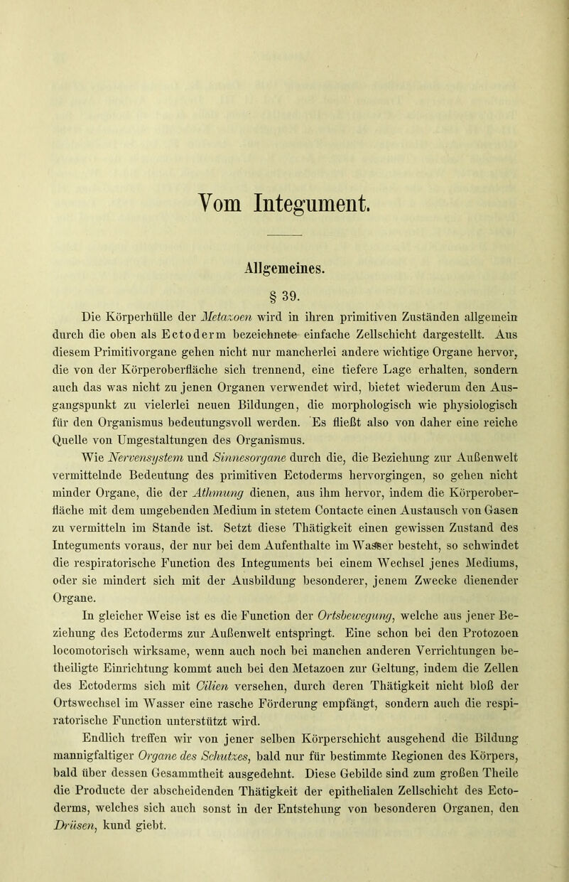 Vom Integument. Allgemeines. §39. Die Körperhülle der Metazoen wird in ihren primitiven Zuständen allgemein durch die oben als Ectoderm bezeichnete einfache Zellschicht dargestellt. Aus diesem Primitivorgane gehen nicht nur mancherlei andere wichtige Organe hervor, die von der Körperoberfläche sich trennend, eine tiefere Lage erhalten, sondern auch das was nicht zu jenen Organen verwendet wird, bietet wiederum den Aus- gangspunkt zu vielerlei neuen Bildungen, die morphologisch wie physiologisch für den Organismus bedeutungsvoll werden. Es fließt also von daher eine reiche Quelle von Umgestaltungen des Organismus. Wie Nervensystem und Sinnesorgane durch die, die Beziehung zur Außenwelt vermittelnde Bedeutung des primitiven Ectoderms hervorgingen, so gehen nicht minder Organe, die der Athmung dienen, aus ihm hervor, indem die Körperober- fläche mit dem umgebenden Medium in stetem Contacte einen Austausch von Gasen zu vermitteln im Stande ist. Setzt diese Thätigkeit einen gewissen Zustand des Integuments voraus, der nur bei dem Aufenthalte im WaSfeer besteht, so schwindet die respiratorische Function des Integuments bei einem Wechsel jenes Mediums, oder sie mindert sich mit der Ausbildung besonderer, jenem Zwecke dienender Organe. In gleicher Weise ist es die Function der Ortsbewegung, welche aus jener Be- ziehung des Ectoderms zur Außenwelt entspringt. Eine schon bei den Protozoen locomotorisch wirksame, wenn auch noch bei manchen anderen Verrichtungen be- tlieiligte Einrichtung kommt auch bei den Metazoen zur Geltung, indem die Zellen des Ectoderms sich mit Oilien versehen, durch deren Thätigkeit nicht bloß der Ortswechsel im Wasser eine rasche Förderung empfängt, sondern auch die respi- ratorische Function unterstützt wird. Endlich treffen wir von jener selben Körperschicht ausgehend die Bildung mannigfaltiger Organe des Schutzes, bald nur für bestimmte Regionen des Körpers, bald über dessen Gesammtheit ausgedehnt. Diese Gebilde sind zum großen Tlieile die Producte der abscheidenden Thätigkeit der epithelialen Zellschicht des Ecto- derms, welches sich auch sonst in der Entstehung von besonderen Organen, den Drüsen, kund giebt.