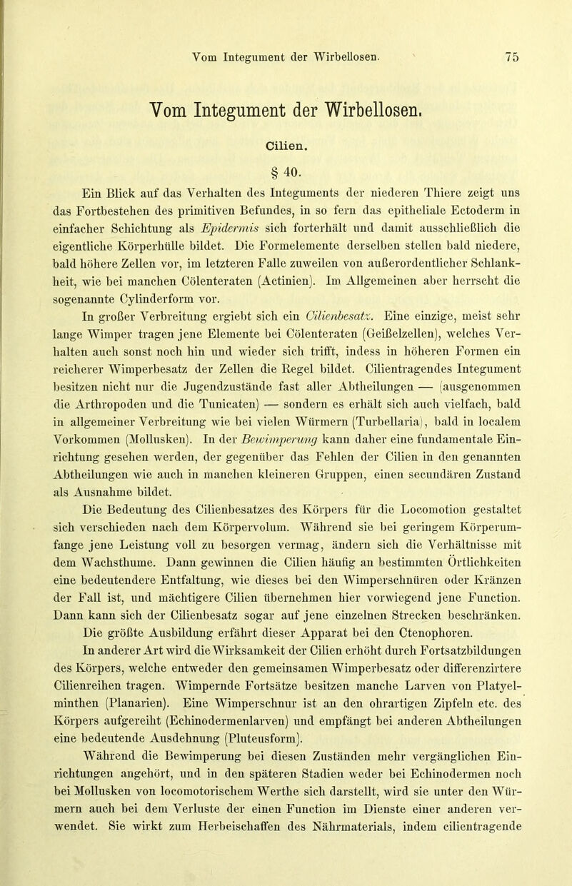 Vom Integument der Wirbellosen, Cilien. §40. Ein Blick auf das Verhalten des Integuments der niederen Thiere zeigt uns das Fortbestehen des primitiven Befundes, in so fern das epitheliale Ectoderm in einfacher Schichtung als Epidermis sich forterhält und damit ausschließlich die eigentliche Körperhülle bildet. Die Formelemente derselben stellen bald niedere, bald höhere Zellen vor, im letzteren Falle zuweilen von außerordentlicher Schlank- heit, wie bei manchen Cölenteraten (Actinien). Im Allgemeinen aber herrscht die sogenannte Cylinderform vor. In großer Verbreitung ergiebt sich ein Cilienbesatz. Eine einzige, meist sehr lange Wimper tragen jene Elemente bei Cölenteraten (Geißelzellen), welches Ver- halten auch sonst noch hin und wieder sich trifft, indess in höheren Formen ein reicherer Wimperbesatz der Zellen die Regel bildet. Cilientragendes Integument besitzen nicht nur die Jugendzustände fast aller Abtheilungen — (ausgenommen die Arthropoden und die Tunicaten) — sondern es erhält sich auch vielfach, bald in allgemeiner Verbreitung wie bei vielen Würmern (Turbellaria), bald in localem Vorkommen (Mollusken). In der Bewimperung kann daher eine fundamentale Ein- richtung gesehen werden, der gegenüber das Fehlen der Cilien in den genannten Abtheilungen wie auch in manchen kleineren Gruppen, einen secundären Zustand als Ausnahme bildet. Die Bedeutung des Cilienbesatzes des Körpers für die Locomotion gestaltet sich verschieden nach dem Körpervolum. Während sie bei geringem Körperum- fange jene Leistung voll zu besorgen vermag, ändern sich die Verhältnisse mit dem Wachsthume. Dann gewinnen die Cilien häufig an bestimmten Örtlichkeiten eine bedeutendere Entfaltung, wie dieses bei den Wimperschniireu oder Kränzen der Fall ist, und mächtigere Cilien übernehmen hier vorwiegend jene Function. Dann kann sich der Cilienbesatz sogar auf jene einzelnen Strecken beschränken. Die größte Ausbildung erfährt dieser Apparat bei den Ctenophoren. In anderer Art wird die Wirksamkeit der Cilien erhöht durch Fortsatzbildungen des Körpers, welche entweder den gemeinsamen Wimperbesatz oder dißerenzirtere Cilienreihen tragen. Wimpernde Fortsätze besitzen manche Larven von Platyel- minthen (Planarien). Eine Wimperschnur ist an den ohrartigen Zipfeln etc. des Körpers aufgereiht (Echinodermenlarven) und empfängt bei anderen Abtheilungen eine bedeutende Ausdehnung (Pluteusform). Während die Bewimperung bei diesen Zuständen mehr vergänglichen Ein- richtungen angehört, und in den späteren Stadien weder bei Echinodermen noch bei Mollusken von locomotorischem Werthe sich darstellt, wird sie unter den Wür- mern auch bei dem Verluste der einen Function im Dienste einer anderen ver- wendet. Sie wirkt zum Herbeischaffen des Nährmaterials, indem cilientragende