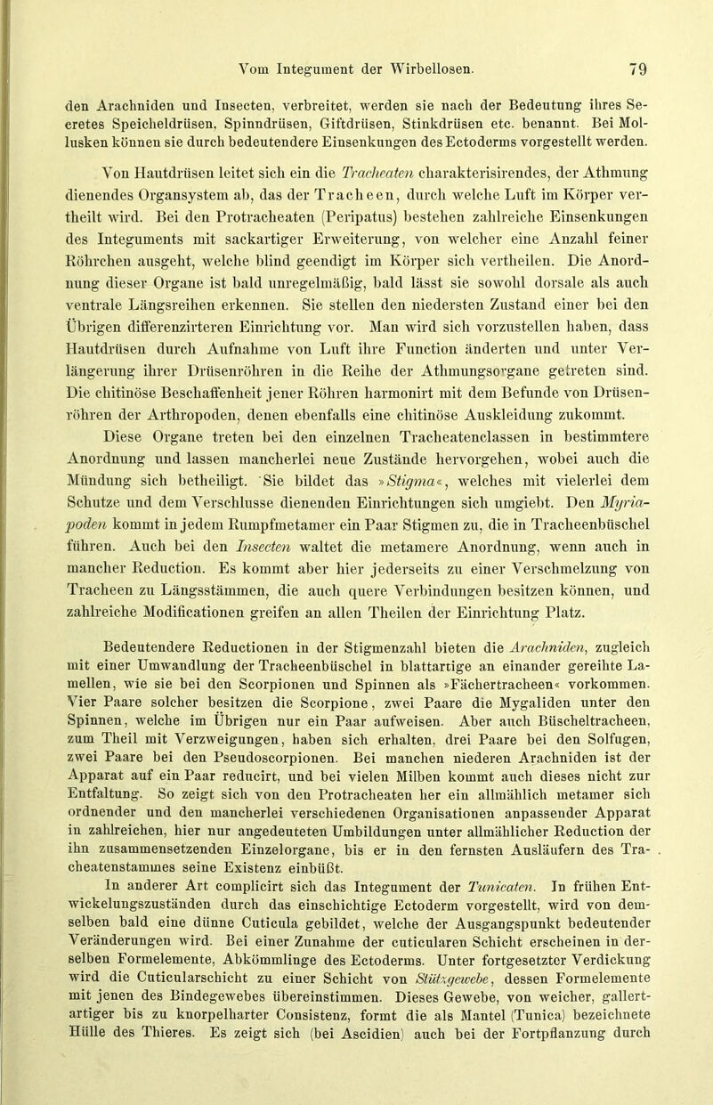 den Araclmiden und Insecten, verbreitet, werden sie nach der Bedeutung ihres Se- eretes Speicheldrüsen, Spinndrüsen, Giftdrüsen, Stinkdrüsen etc. benannt. Bei Mol- lusken können sie durch bedeutendere Einsenkungen desEctoderms vorgestellt werden. Von Hautdrüsen leitet sich ein die Tracheaten ckarakterisirendes, der Atlnnung dienendes Organsystem ab, das der Tracheen, durch welche Luft im Körper ver- theilt wird. Bei den Protracheaten (Peripatus) bestehen zahlreiche Einsenkungen des Integuments mit sackartiger Erweiterung, von welcher eine Anzahl feiner Röhrchen ausgeht, welche blind geendigt im Körper sich vertheilen. Die Anord- nung dieser Organe ist bald unregelmäßig, bald lässt sie sowohl dorsale als auch ventrale Längsreihen erkennen. Sie stellen den niedersten Zustand einer bei den Übrigen differenzirteren Einrichtung vor. Man wird sich vorzustellen haben, dass Hautdrüsen durch Aufnahme von Luft ihre Function änderten und unter Ver- längerung ihrer Drüsenröhren in die Reihe der Athmungsorgane getreten sind. Die chitinöse Bescliaflenheit jener Röhren harmonirt mit dem Befunde von Drüsen- röhren der Arthropoden, denen ebenfalls eine chitinöse Auskleidung zukommt. Diese Organe treten bei den einzelnen Tracheatenclassen in bestimmtere Anordnung und lassen mancherlei neue Zustände hervorgehen, wobei auch die Mündung sich betheiligt. Sie bildet das »Stigma«, welches mit vielerlei dem Schutze und dem Verschlüsse dienenden Einrichtungen sich umgiebt. Den Myria- poden kommt in jedem Rumpfmetamer ein Paar Stigmen zu, die in Tracheenbüschel führen. Auch bei den Insecten waltet die metamere Anordnung, wenn auch in mancher Reduction. Es kommt aber hier jederseits zu einer Verschmelzung von Tracheen zu Längsstämmen, die auch quere Verbindungen besitzen können, und zahlreiche Modificationen greifen an allen Theilen der Einrichtung Platz. Bedeutendere Reductionen in der Stigmenzahl bieten die Araclmiden, zugleich mit einer Umwandlung der Tracheenbüschel in blattartige an einander gereihte La- mellen, wie sie bei den Scorpionen und Spinnen als »Fächertracheen« Vorkommen. Vier Paare solcher besitzen die Scorpione, zwei Paare die Mygaliden unter den Spinnen, welche im Übrigen nur ein Paar aufweisen. Aber auch Büscheltracheen, zum Theil mit Verzweigungen, haben sich erhalten, drei Paare bei den Solfugen, zwei Paare bei den Pseudoscorpionen. Bei manchen niederen Arachniden ist der Apparat auf ein Paar reducirt, und bei vielen Milben kommt auch dieses nicht zur Entfaltung. So zeigt sich von den Protracheaten her ein allmählich metamer sich ordnender und den mancherlei verschiedenen Organisationen anpassender Apparat in zahlreichen, hier nur angedeuteten Umbildungen unter allmählicher Reduction der ihn zusammensetzenden Einzelorgane, bis er in den fernsten Ausläufern des Tra- cheatenstammes seine Existenz einbüßt. ln anderer Art complicirt sich das Integument der Tunicaten. In frühen Ent- wickelungszuständen durch das einschichtige Ectoderm vorgestellt, wird von dem- selben bald eine dünne Cuticula gebildet, welche der Ausgangspunkt bedeutender Veränderungen wird. Bei einer Zunahme der cuticularen Schicht erscheinen in der- selben Formelemente, Abkömmlinge des Ectoderms. Unter fortgesetzter Verdickung wird die Cuticularschicht zu einer Schicht von Stütxgewebe, dessen Formelemente mit jenen des Bindegewebes übereinstimmen. Dieses Gewebe, von weicher, gallert- artiger bis zu knorpelharter Consistenz, formt die als Mantel (Tunica) bezeichnete Hülle des Thieres. Es zeigt sich (bei Ascidien) auch bei der Fortpflanzung durch