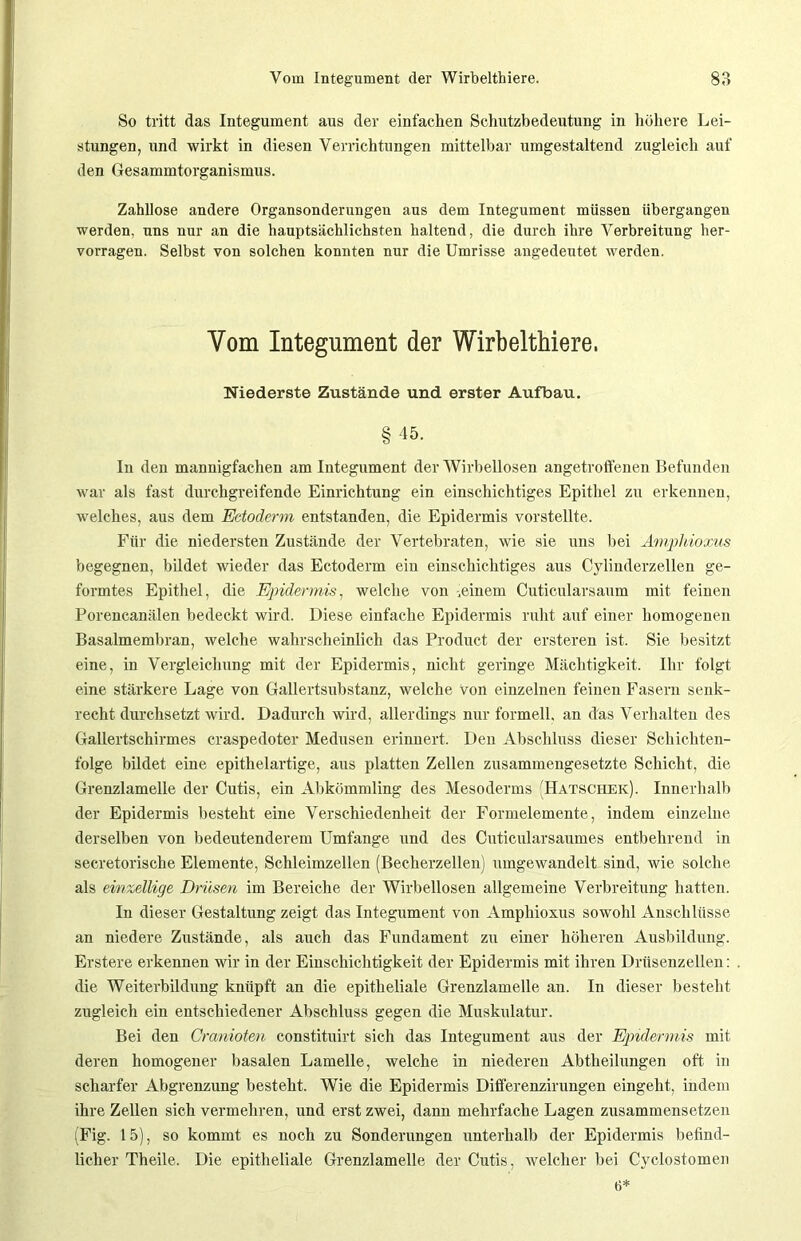 So tritt das Integument aus der einfachen Schutzbedeutung in höhere Lei- stungen, und wirkt in diesen Verrichtungen mittelbar umgestaltend zugleich auf den Gesammtorganismus. Zahllose andere Organsonderungen aus dem Integument müssen übergangen werden, uns nur an die hauptsächlichsten haltend, die durch ihre Verbreitung her- vorragen. Selbst von solchen konnten nur die Umrisse angedeutet werden. Vom Integument der Wirbelthiere, Niederste Zustände und erster Aufbau. §45. In den mannigfachen am Integument der Wirbellosen angetroffenen Befunden war als fast durchgreifende Einrichtung ein einschichtiges Epithel zu erkennen, welches, aus dem Ectodcrm entstanden, die Epidermis vorstellte. Für die niedersten Zustände der Vertebraten, wie sie uns bei Apiphioxus begegnen, bildet wieder das Ectoderm ein einschichtiges aus Cylinderzellen ge- formtes Epithel, die Epidermis, welche von -.einem Cuticularsaum mit feinen Porencanälen bedeckt wird. Diese einfache Epidermis ruht auf einer homogenen Basalmembran, welche wahrscheinlich das Product der ersteren ist. Sie besitzt eine, in Vergleichung mit der Epidermis, nicht geringe Mächtigkeit. Ihr folgt eine stärkere Lage von Gallertsubstanz, welche Von einzelnen feinen Fasern senk- recht durchsetzt wird. Dadurch wird, allerdings nur formell, an das Verhalten des Gallertschirmes craspedoter Medusen erinnert. Den Abschluss dieser Schichten- folge bildet eine epithelartige, aus platten Zellen zusammengesetzte Schicht, die Grenzlamelle der Cutis, ein Abkömmling des Mesoderms (Hatschek). Innerhalb der Epidermis besteht eine Verschiedenheit der Formelemente, indem einzelne derselben von bedeutenderem Umfange und des Cuticularsaumes entbehrend in secretorische Elemente, Schleimzellen (Becherzellen) umgewandelt sind, wie solche als einzellige Drüsen im Bereiche der Wirbellosen allgemeine Verbreitung hatten. In dieser Gestaltung zeigt das Integument von Amphioxus sowohl Anschlüsse an niedere Zustände, als auch das Fundament zu einer höheren Ausbildung. Erstere erkennen wir in der Einschichtigkeit der Epidermis mit ihren Drüsenzellen: die Weiterbildung knüpft an die epitheliale Grenzlamelle an. In dieser besteht zugleich ein entschiedener Abschluss gegen die Muskulatur. Bei den Cranioten constituirt sich das Integument aus der Epidermis mit deren homogener basalen Lamelle, welche in niederen Abtheilungen oft in scharfer Abgrenzung besteht. Wie die Epidermis Differenzirungen eingeht, indem ihre Zellen sich vermehren, und erst zwei, dann mehrfache Lagen zusammensetzen (Fig. 15), so kommt es noch zu Sonderungen unterhalb der Epidermis befind- licher Theile. Die epitheliale Grenzlamelle der Cutis, welcher bei Cyclostomen 6*