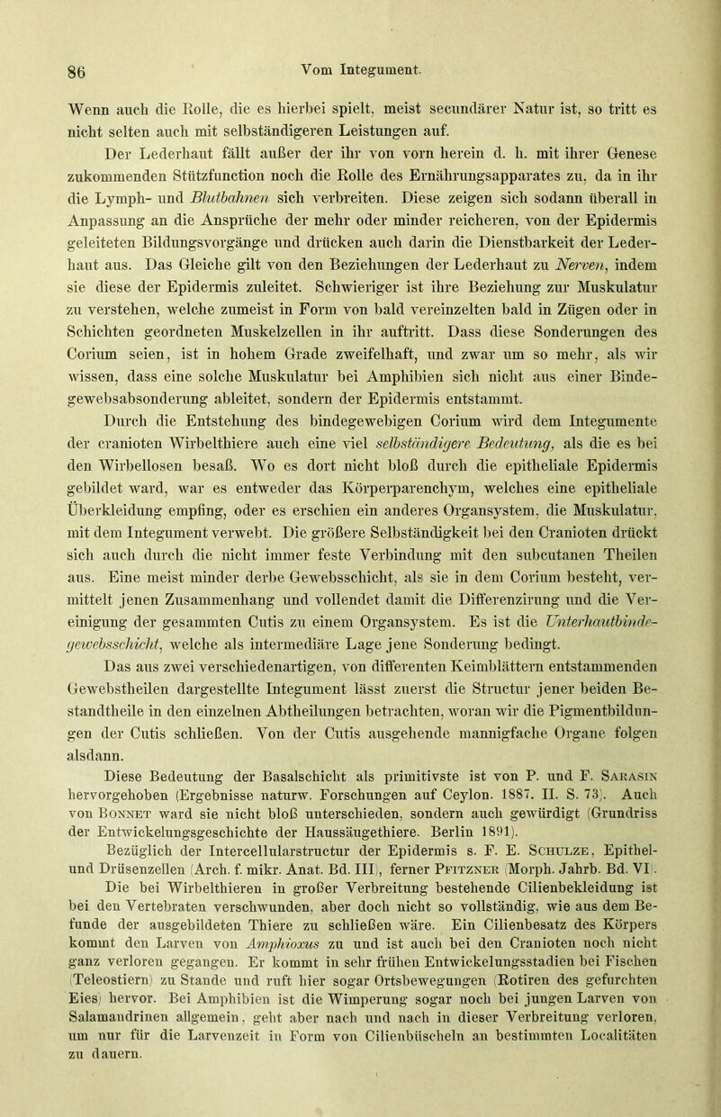 Wenn auch die Rolle, die es hierbei spielt, meist secundärer Natur ist, so tritt es nicht selten auch mit selbständigeren Leistungen auf. Der Lederhaut fällt außer der ihr von vorn herein d. h. mit ihrer Genese zukommenden Sttttzfunction noch die Rolle des Ernährungsapparates zu, da in ihr die Lymph- und Blutbahnen sich verbreiten. Diese zeigen sich sodann überall in Anpassung an die Ansprüche der mehr oder minder reicheren, von der Epidermis geleiteten Bildungsvorgänge und drücken auch darin die Dienstbarkeit der Leder- haut aus. Das Gleiche gilt von den Beziehungen der Lederhaut zu Nerven, indem sie diese der Epidermis zuleitet. Schwieriger ist ihre Beziehung zur Muskulatur zu verstehen, welche zumeist in Form von bald vereinzelten bald in Zügen oder in Schichten geordneten Muskelzellen in ihr auftritt. Dass diese Sonderungen des Corium seien, ist in hohem Grade zweifelhaft, und zwar um so mehr, als wir wissen, dass eine solche Muskulatur bei Amphibien sich nicht aus einer Binde- gewebsabsonderung ableitet, sondern der Epidermis entstammt. Durch die Entstehung des bindegewebigen Corium wird dem Integumente der cranioten Wirbelthiere auch eine viel selbständigere Bedeutung, als die es bei den Wirbellosen besaß. Wo es dort nicht bloß durch die epitheliale Epidermis gebildet ward, war es entweder das Körperparenchym, welches eine epitheliale Überkleidung empfing, oder es erschien ein anderes Organsystem, die Muskulatur, mit dem Integument verwebt. Die größere Selbständigkeit bei den Cranioten drückt sich auch durch die nicht immer feste Verbindung mit den subcutanen Theilen aus. Eine meist minder derbe Gewebsschiclit, als sie in dem Corium besteht, ver- mittelt jenen Zusammenhang und vollendet damit die Diflerenzirung und die Ver- einigung der gesammten Cutis zu einem Organsystem. Es ist die Unterhautbinde- gewebsschicht, welche als intermediäre Lage jene Sonderung bedingt. Das aus zwei verschiedenartigen, von differenten Keimblättern entstammenden Gewebstlieilen dargestellte Integument lässt zuerst die Structur jener beiden Be- standtheile in den einzelnen Abtheilungen betrachten, woran wir die Pigmentbildun- gen der Cutis schließen. Von der Cutis ausgehende mannigfache Organe folgen alsdann. Diese Bedeutung der Basalschicht als primitivste ist von P. und F. Sarasin hervorgehoben (Ergebnisse naturw. Forschungen auf Ceylon. 1887. II. S. 73). Auch von Bonnet ward sie nicht bloß unterschieden, sondern auch gewürdigt (Grundriss der Entwickelungsgeschichte der Haussäugethiere. Berlin 1891). Bezüglich der Intercellularstructur der Epidermis s. F. E. Schulze, Epitliel- und Drüsenzellen (Arch. f. mikr. Anat. Bd. III,, ferner Pfitzner Morph. Jahrb. Bd. VI Die bei Wirbelthieren in großer Verbreitung bestehende Cilienbekleidung ist bei den Vertebraten verschwunden, aber doch nicht so vollständig, wie aus dem Be- funde der ausgebildeten Thiere zu schließen wäre. Ein Cilienbesatz des Körpers kommt den Larven von Amphioxus zu und ist auch bei den Cranioten noch nicht ganz verloren gegangen. Er kommt in sehr frühen Entwickelungsstadien bei Fischen (Teleostiern) zu Stande und ruft hier sogar Ortsbewegungen (Rotiren des gefurchten Eies) hervor. Bei Amphibien ist die Wimperung sogar noch bei jungen Larven von Salamandrinen allgemein, gebt aber nach und nach in dieser Verbreitung verloren, um nur für die Larvenzeit in Form von Cilienbüscheln an bestimmten Localitäten zu dauern.