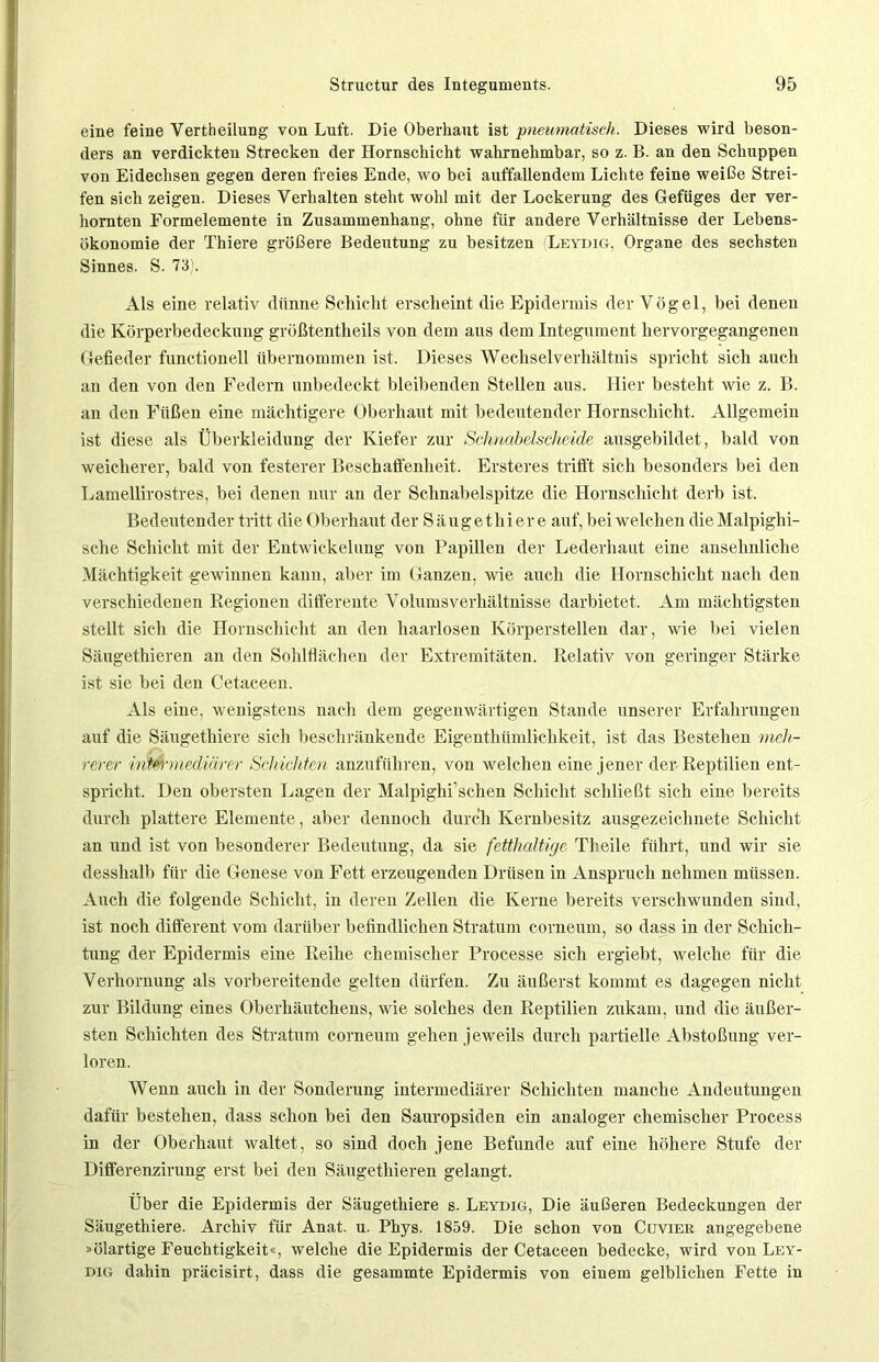 eine feine Vertheilung von Luft. Die Oberhaut ist pneumatisch. Dieses wird beson- ders an verdickten Strecken der Hornschicht wahrnehmbar, so z. B. an den Schuppen von Eidechsen gegen deren freies Ende, wo bei auffallendem Lichte feine weiße Strei- fen sich zeigen. Dieses Verhalten steht wohl mit der Lockerung des Gefüges der ver- hornten Formelemente in Zusammenhang, ohne für andere Verhältnisse der Lebens- ökonomie der Thiere größere Bedeutung zu besitzen 'Leydig, Organe des sechsten Sinnes. S. 73). Als eine relativ dünne Schicht erscheint die Epidermis der Vögel, bei denen die Körperbedeckung größtentheils von dem aus dem Integument hervorgegangenen Gefieder functioneil übernommen ist. Dieses Wechselverhältnis spricht sich auch an den von den Federn unbedeckt bleibenden Stellen aus. Hier besteht wie z. B. an den Füßen eine mächtigere Oberhaut mit bedeutender Hornschicht. Allgemein ist diese als Überkleidung der Kiefer zur Schnabelscheide ausgebildet, bald von weicherer, bald von festerer Beschaffenheit. Ersteres trifft sich besonders bei den Lamellirostres, bei denen nur an der Schnabelspitze die Hornschicht derb ist. Bedeutender tritt die Oberhaut der Säuge thiere auf, bei welchen dieMalpighi- sche Schicht mit der Entwickelung von Papillen der Lederhaut eine ansehnliche Mächtigkeit gewinnen kann, aber im Ganzen, wie auch die Hornschicht nach den verschiedenen Regionen differente Volumsverhältnisse darbietet. Am mächtigsten stellt sich die Hornschicht an den haarlosen Körperstellen dar, wie bei vielen Säugethieren an den Sohlflächen der Extremitäten. Relativ von geringer Stärke ist sie bei den Cetaceen. Als eine, wenigstens nach dem gegenwärtigen Stande unserer Erfahrungen auf die Säugethiere sich beschränkende Eigeuthümliehkeit, ist das Bestehen meh- rerer intermediärer Schichten anzuführen, von welchen eine jener der- Reptilien ent- spricht. Den obersten Lagen der Malpighi’sehen Schicht schließt sich eine bereits durch plattere Elemente, aber dennoch durch Kernbesitz ausgezeichnete Schicht an und ist von besonderer Bedeutung, da sie fetthcdtigc Th eile führt, und wir sie desshalb für die Genese von Fett erzeugenden Drüsen in Anspruch nehmen müssen. Auch die folgende Schicht, in deren Zellen die Kerne bereits verschwunden sind, ist noch different vom darüber befindlichen Stratum corneum, so dass in der Schich- tung der Epidermis eine Reihe chemischer Processe sich ergiebt, welche für die Verhornung als vorbereitende gelten dürfen. Zu äußerst kommt es dagegen nicht zur Bildung eines Oberhäutchens, wie solches den Reptilien zukam, und die äußer- sten Schichten des Stratum corneum gehen jeweils durch partielle Abstoßung ver- loren. Wenn auch in der Sonderung intermediärer Schichten manche Andeutungen dafür bestehen, dass schon bei den Sauropsiden ein analoger chemischer Process in der Oberhaut waltet, so sind doch jene Befunde auf eine höhere Stufe der Differenzirung erst bei den Säugethieren gelangt. Über die Epidermis der Säugethiere s. Leyuhg, Die äußeren Bedeckungen der Säugethiere. Archiv für Anat. u. Phys. 1859. Die schon von Cuvier angegebene »ölartige Feuchtigkeit«, welche die Epidermis der Cetaceen bedecke, wird von Leyt- dig dahin präcisirt, dass die gesammte Epidermis von einem gelblichen Fette in