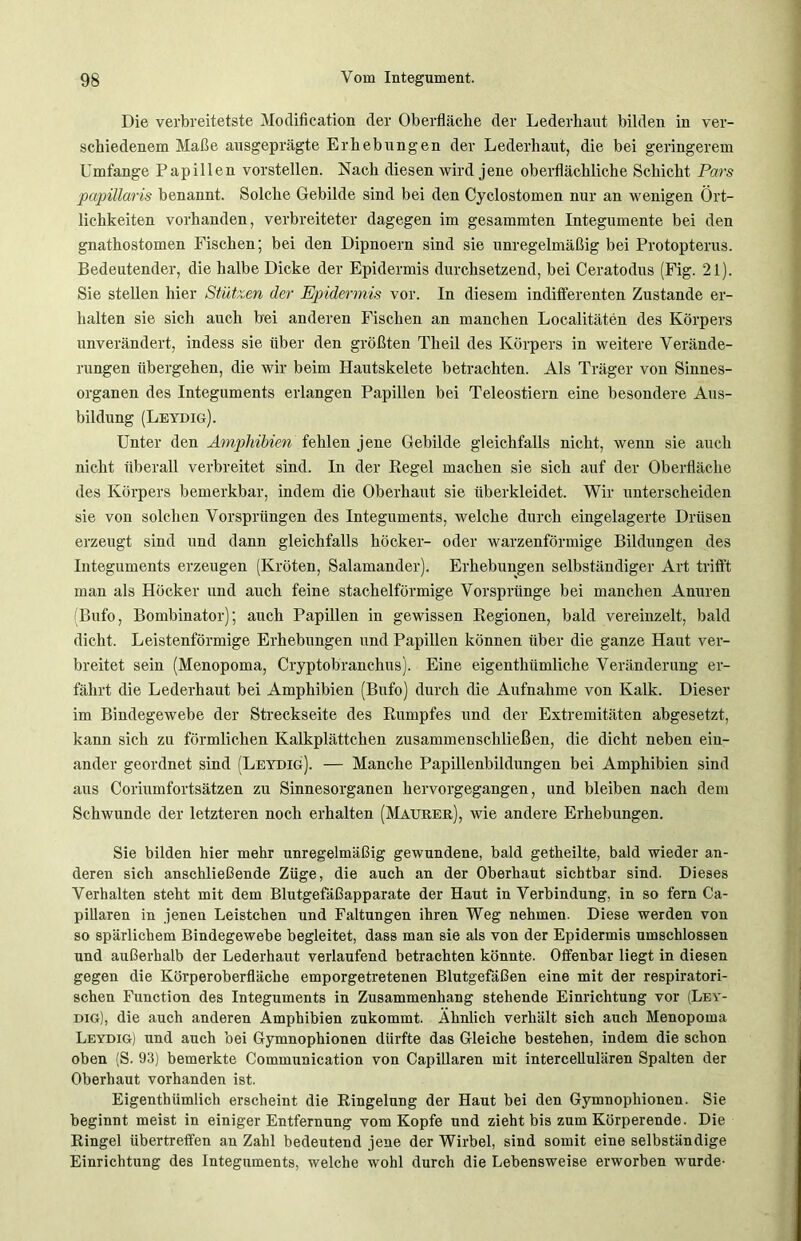 Die verbreitetste Modification der Oberfläche der Lederhaut bilden in ver- schiedenem Maße ausgeprägte Erhebungen der Lederhaut, die bei geringerem Umfange Papillen vorstellen. Nach diesen wird jene oberflächliche Schicht Pars papillaris benannt. Solche Gebilde sind bei den Cyclostomen nur an wenigen Ört- lichkeiten vorhanden, verbreiteter dagegen im gesammten Integumente bei den gnathostomen Fischen; bei den Dipnoern sind sie unregelmäßig bei Protopterus. Bedeutender, die halbe Dicke der Epidermis durchsetzend, bei Ceratodus (Fig. 21). Sie stellen hier Stützen der Epidermis vor. In diesem indifferenten Zustande er- halten sie sich auch bei anderen Fischen an manchen Localitäten des Körpers unverändert, indess sie über den größten Theil des Körpers in weitere Verände- rungen übergehen, die wir beim Hautskelete betrachten. Als Träger von Sinnes- organen des Integuments erlangen Papillen bei Teleostiern eine besondere Aus- bildung (Leydig). Unter den Amphibien fehlen jene Gebilde gleichfalls nicht, wenn sie auch nicht überall verbreitet sind. In der Regel machen sie sich auf der Oberfläche des Körpers bemerkbar, indem die Oberhaut sie überkleidet. Wir unterscheiden sie von solchen Vorsprüngen des Integuments, welche durch eingelagerte Drüsen erzeugt sind und dann gleichfalls höcker- oder warzenförmige Bildungen des Integuments erzeugen (Kröten, Salamander). Erhebungen selbständiger Art trifft man als Höcker und auch feine stachelförmige Vorsprünge bei manchen Anuren Bufo, Bombinator); auch Papillen in gewissen Regionen, bald vereinzelt, bald dicht. Leistenförmige Erhebungen und Papillen können über die ganze Haut ver- breitet sein (Menopoma, Cryptobranchus). Eine eigentkümliche Veränderung er- fährt die Lederhaut bei Amphibien (Bufo) durch die Aufnahme von Kalk. Dieser im Bindegewebe der Streckseite des Rumpfes und der Extremitäten abgesetzt, kann sich zu förmlichen Kalkplättchen zusammenschließen, die dicht neben ein- ander geordnet sind (Leydig). — Manche Papillenbildungen bei Amphibien sind aus Coriumfortsätzen zu Sinnesorganen hervorgegangen, und bleiben nach dem Schwunde der letzteren noch erhalten (Maurer), wie andere Erhebungen. Sie bilden hier mehr unregelmäßig gewundene, bald getheilte, bald wieder an- deren sich anschließende Züge, die auch an der Oberhaut sichtbar sind. Dieses Verhalten steht mit dem Blutgefäßapparate der Haut in Verbindung, in so fern Ca- pillaren in jenen Leistchen und Faltungen ihren Weg nehmen. Diese werden von so spärlichem Bindegewebe begleitet, dass man sie als von der Epidermis umschlossen und außerhalb der Lederhaut verlaufend betrachten könnte. Offenbar liegt in diesen gegen die Körperoberfläche emporgetretenen Blutgefäßen eine mit der respiratori- schen Function des Integuments in Zusammenhang stehende Einrichtung vor (Lev- dig), die auch anderen Amphibien zukommt. Ähnlich verhält sich auch Menopoma Leydig) und auch bei Gymnophionen dürfte das Gleiche bestehen, indem die schon oben (S. 93) bemerkte Communication von Capillaren mit intercellulären Spalten der Oberhaut vorhanden ist. Eigenthümlich erscheint die Ringelung der Haut bei den Gymnophionen. Sie beginnt meist in einiger Entfernung vom Kopfe und zieht bis zum Körperende. Die Ringel übertreffen an Zahl bedeutend jene der Wirbel, sind somit eine selbständige Einrichtung des Integuments, welche wohl durch die Lebensweise erworben wurde-