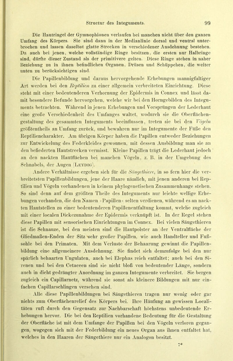 Die Hautringel der Gymnophionen verlaufen bei manchen nicht über den ganzen Umfang des Körpers. Sie sind dann in der Medianlinie dorsal und ventral unter- brochen und lassen daselbst glatte Strecken in verschiedener Ausdehnung bestehen. Da auch bei jenen, welche vollständige Ringe besitzen, die ersten nur Halbringe sind, dürfte dieser Zustand als der primitivere gelten. Diese Ringe stehen in naher Beziehung zu in ihnen befindlichen Organen, Drüsen und Schüppchen, die weiter unten zu berücksichtigen sind. Die Papillenbildung und daraus hervorgehende Erhebungen mannigfaltiger Art werden bei den Reptilien zu einer allgemein verbreiteten Einrichtung. Diese stellt mit einer bedeutenderen Verhornung der Epidermis in Connex und lässt da- mit besondere Befunde hervorgehen, welche wir bei den Horngebilden des Integu- ments betrachten. Während in jenen Erhebungen und Vorsprüngen der Lederhaut eine große Verschiedenheit des Umfanges waltet, wodurch sie die Oberflächen- gestaltung des gesummten Integuments beeinflussen, treten sie bei den Vögeln größtenteils an Umfang zurück, und bewahren nur im Integumente der Füße den Reptiliencharakter. Am übrigen Körper haben die Papillen entweder Beziehungen zur Entwickelung des Federkleides gewonnen, mit dessen Ausbildung man sie an den befiederten Hautstrecken vermisst. Kleine Papillen trägt die Lederhaut jedoch an den nackten Hautflächen bei manchen Vögeln, z. B. in der Umgebung des Schnabels, der Augen (Leydig). Andere Verhältnisse ergeben sich für die Säugethiere, in so fern hier die ver- breitetsten Papillenbildungen, jene der Haare nämlich, mit jenen anderen bei Rep- tilien und Vögeln vorhandenen in keinem phylogenetischen Zusammenhänge stehen. So sind denn auf dem größten Theile des Integuments nur leichte wellige Erhe- bungen vorhanden, die den Namen Papillen« selten verdienen, während es an nack- ten Hautstellen zu einer bedeutenderen Papillenentfaltung kommt, welche zugleich mit einer localen Dickezunahme der Epidermis verknüpft ist. In der Regel stehen diese Papillen mit sensorischen Einrichtungen im Connex. Bei vielen Säugethieren ist die Schnauze, bei den meisten sind die Hautpolster an der Ventralfläche der Gliedmaßen-Enden der Sitz 'sehr großer Papillen, wie auch Handteller und Fuß- sohle bei den Primaten. Mit dem Verluste der Behaarung gewinnt die Papillen- bildung eine allgemeinere Ausdehnung. Sie findet sich demzufolge bei den nur spärlich behaarten Ungulaten, auch bei Elephas reich entfaltet; auch bei den Si- renen und bei den Cetaceen sind sie nicht bloß von bedeutender Länge, sondern auch in dicht gedrängter Anordnung im ganzen Integumente verbreitet. Sie bergen zugleich ein Capillarnetz, während sie sonst als kleinere Bildungen mit nur ein- fachen Capillarschlingen versehen sind. Alle diese Papillenbildungen bei Säugethieren tragen nur wenig oder gar nichts zum Oberflächenrelief des Körpers bei. Ihre Häufung an gewissen Locali- täten ruft durch den Gegensatz zur Nachbarschaft höchstens unbedeutende Er- hebungen hervor. Die bei den Reptilien vorhandene Bedeutung für die Gestaltung der Oberfläche ist mit dem Umfange der Papillen bei den Vögeln verloren gegan- gen, wogegen sich mit der Federbildung ein neues Organ aus ihnen entfaltet hat, welches in den Haaren der Säugethiere nur ein Analogon besitzt. 7*