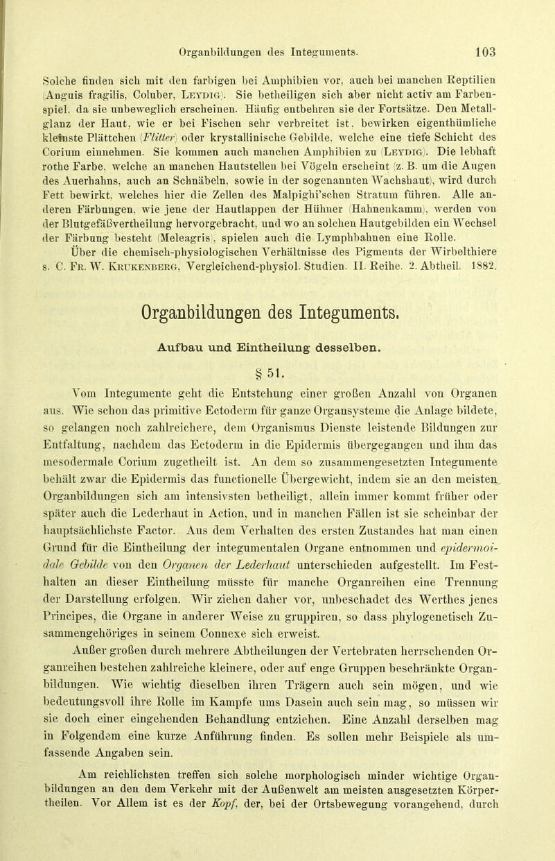 Solche finden sich mit den farbigen bei Amphibien vor, auch bei manchen Reptilien Anguis fragilis, Coluber, Leydig). Sie betheiligen sich aber nicht activ am Farben- spiel. da sie unbeweglich erscheinen. Häufig entbehren sie der Fortsätze. Den Metall- glanz der Haut, wie er bei Fischen sehr verbreitet ist, bewirken eigenthümliche kleinste Plättchen (Flitter) oder krystallinische Gebilde, welche eine tiefe Schicht des Corium einnehmen. Sie kommen auch manchen Amphibien zu (Leydig). Die lebhaft rothe Farbe, welche an manchen Hautstellen bei Vögeln erscheint (z. B. um die Augen des Auerhahns, auch an Schnäbeln, sowie in der sogenannten Wachshaut), wird durch Fett bewirkt, welches hier die Zellen des Malpighi’schen Stratum führen. Alle an- deren Färbungen, wie jene der Hautlappen der Hühner (Hahnenkamm), werden von der Blutgefäßvertheilung hervorgebracht, und wo an solchen Hautgebilden ein Wechsel der Färbung besteht (Meleagris , spielen auch die Lymphbahnen eine Rolle. Über die chemisch-physiologischen Verhältnisse des Pigments der Wirbelthiere s. C. Fr. W. Krukenberg, Vergleichend-physiol. Studien. II. Reihe. 2. Abtheil. 1882. Organbildungen des Integuments. Aufbau und Eintheilung desselben. §51. Vom Integumente gebt die Entstehung einer großen Anzahl von Organen aus. Wie schon das primitive Ectoderm für ganze Organsysteme die Anlage bildete, so gelangen noch zahlreichere, dem Organismus Dienste leistende Bildungen zur Entfaltung, nachdem das Ectoderm in die Epidermis übergegangen und ihm das mesodermale Corium zugetheilt ist. An dem so zusammengesetzten Integumente behält zwar die Epidermis das functioneile Übergewicht, indem sie an den meisten Organbildungen sich am intensivsten betheiligt, allein immer kommt früher oder später auch die Lederhaut in Action, und in manchen Fällen ist sie scheinbar der hauptsächlichste Factor. Aus dem Verhalten des ersten Zustandes hat man einen Grund für die Eintheilung der integumentalen Organe entnommen und epidermoi- dale Gebilde von den Organen der Lederhaut unterschieden aufgestellt. Im Fest- halten an dieser Eintheilung müsste für manche Organreihen eine Trennung der Darstellung erfolgen. Wir ziehen daher vor, unbeschadet des Werthes jenes Principes, die Organe in anderer Weise zu gruppiren, so dass phylogenetisch Zu- sammengehöriges in seinem Connexe sich erweist. Außer großen durch mehrere Abtheilungen der Vertebraten herrschenden Or- ganreihen bestehen zahlreiche kleinere, oder auf enge Gruppen beschränkte Organ- bildungen. Wie wichtig dieselben ihren Trägern auch sein mögen, und wie bedeutungsvoll ihre Rolle im Kampfe ums Dasein auch sein mag, so müssen wir sie doch einer eingehenden Behandlung entziehen. Eiue Anzahl derselben mag in Folgendem eine kurze Anführung finden. Es sollen mehr Beispiele als um- fassende Angaben sein. Am reichlichsten treffen sich solche morphologisch minder wichtige Organ- bildungen an den dem Verkehr mit der Außenwelt am meisten ausgesetzten Körper- theilen. Vor Allem ist es der Kopf der, bei der Ortsbewegung vorangehend, durch