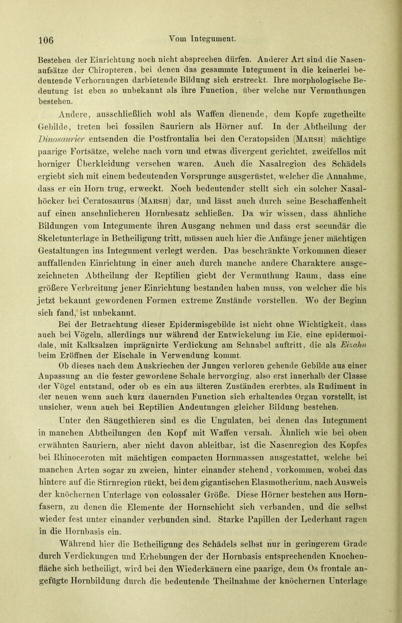 Bestehen der Einrichtung noch nicht absprechen dürfen. Anderer Art sind die Nasen- aufsätze der Chiropteren, bei denen das gesammte Integument in die keinerlei be- deutende Verhornungen darbietende Bildung sich erstreckt. Ihre morphologische Be- deutung ist eben so unbekannt als ihre Function, über welche nur Vermuthungen bestehen. Andere, ausschließlich wohl als Wallen dienende, dem Kopfe zugetlieilte Gebilde, treten bei fossilen Sauriern als Hörner auf. In der Abtheilung der Dinosaurier entsenden die Postfrontalia bei den Ceratopsiden (Marsh) mächtige paarige Fortsätze, welche nach vorn und etwas divergent gerichtet, zweifellos mit horniger Überkleidung versehen waren. Auch die Nasalregion des Schädels ergiebt sich mit einem bedeutenden Vorsprunge ausgerüstet, welcher die Annahme, dass er ein Horn trug, erweckt. Noch bedeutender stellt sich ein solcher Nasal- höcker bei Ceratosaurus (Marsh) dar, und lässt auch durch seine Beschaffenheit auf einen ansehnlicheren Hornbesatz schließen. Ha wir wissen, dass ähnliche Bildungen vom Integumente ihren Ausgang nehmen und dass erst secundär die Skeletunterlage in Betheiligung tritt, müssen auch hier die Anfänge jener mächtigen Gestaltungen ins Integument verlegt werden. Das beschränkte Vorkommen dieser auffallenden Einrichtung in einer auch durch manche andere Charaktere ausge- zeichneten Abtheilung der Reptilien giebt der Vermuthung Raum, dass eine größere Verbreitung jener Einrichtung bestanden haben muss, von welcher die bis jetzt bekannt gewordenen Formen extreme Zustände vorstellen. Wo der Beginn sich fand, ist unbekannt. Bei der Betrachtung dieser Epidermisgebilde ist nicht ohne Wichtigkeit, dass auch bei Vögeln, allerdings nur während der Entwickelung im Eie, eine epidermoi- dale, mit Kalksalzen imprägnirte Verdickung am Schnabel auftritt, die als Eizalm beim Eröffnen der Eischale in Verwendung kommt. Ob dieses nach dem Auskriechen der Jungen verloren gehende Gebilde aus einer Anpassung an die fester gewordene Schale hervorging, also erst innerhalb der Classe der Vögel entstand, oder ob es ein aus älteren Zuständen ererbtes, als Rudiment in der neuen wenn auch kurz dauernden Function sich erhaltendes Organ vorstellt, ist unsicher, wenn auch bei Reptilien Andeutungen gleicher Bildung bestehen. Unter den Säügethieren sind es die Ungulaten, bei denen das Integument in manchen Abtheilungen den Kopf mit Waffen versah. Ähnlich wie bei oben erwähnten Sauriern, aber nicht davon ableitbar, ist die Nasenregion des Kopfes bei Rhinoceroten mit mächtigen compacten Hornmassen ausgestattet, welche bei manchen Arten sogar zu zweien, hinter einander stehend, Vorkommen, wobei das hintere auf die Stirnregion rückt, bei dem gigantischen Elasmotherium, nach Ausweis der knöchernen Unterlage von colossaler Größe. Diese Hörner bestehen aus Horn- fasern, zu denen die Elemente der Hornschicht sich verbanden, und die selbst wieder fest unter einander verbunden sind. Starke Papillen der Lederhaut ragen in die Hornbasis ein. Während hier die Betheiligung des Schädels selbst nur in geringerem Grade durch Verdickungen und Erhebungen der der Hornbasis entsprechenden Ivnochen- ffäche sich betheiligt, wird bei den Wiederkäuern eine paarige, dem Os frontale an- gefügte Hornbildung durch die bedeutende Theilnahme der knöchernen Unterlage