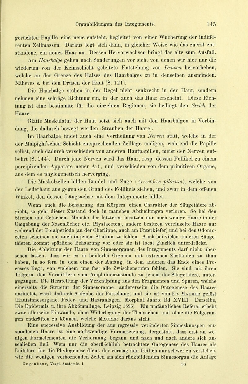 gerückten Papille eine neue entsteht, begleitet von einer Wucherung der indiffe- renten Zellmassen. Daraus legt sich dann, in gleicher Weise wie das zuerst ent- standene, ein neues Haar an. Dessen Hervorwachsen bringt das alte zum Ausfall. Am Haarbalge gehen noch Sonderungen vor sich, von denen wir hier nur die wiederum von der Keimschicht geleitete Entstehung von Drüsen hervorheben, welche an der Grenze des Halses des Haarbalges zu in denselben ausmünden. Näheres s. bei den Drüsen der Haut (S. 121). Die Haarbälge stehen in der Regel nicht senkrecht in der Haut, sondern nehmen eine schräge Richtung ein, in der auch das Haar erscheint. Diese Rich- tung ist eine bestimmte für die einzelnen Regionen, sie bedingt den Strich der Haare. Glatte Muskulatur der Haut setzt sich auch mit den Haarbälgen in Verbin- dung, die dadurch bewegt werden Sträuben der Haare). Im Haarbalge findet auch eine Vertheilung von Nerven statt, welche in der der Malpighi’schen Schicht entsprechenden Zelllage endigen, während die Papille selbst, auch dadurch verschieden von anderen Hautpapillen, meist der Nerven ent- behrt (S. 144). Durch jene Nerven wird das Haar, resp. dessen Follikel zu einem percipirenden Apparate neuer Art, und verschieden von dem primitiven Organe, aus dem es phylogenetisch hervorging. Die Muskelzellen bilden Bündel und Züge (.Arrectdres pilorum), welche von der Lederhaut aus gegen den Grund des Follikels ziehen, und zwar in dem offenen Winkel, den dessen Längsachse mit dem Integumente bildet. Wenn auch die Behaarung des Körpers einen Charakter der Säugethiere ab- giebt, so geht dieser Zustand doch in manchen Abtheilungen verloren. So bei den Sirenen und Cetaceen. Manche der letzteren besitzen nur noch wenige Haare in der Umgebung der Nasenlöcher etc. (Mystaceten), andere besitzen vereinzelte Haare nur während der Fötalperiode (an der Oberlippe, auch am Unterkiefer) und bei den Odonto- ceten scheinen sie auch in jenem Stadium zu fehlen. Auch bei vielen anderen Säuge- thieren kommt spärliche Behaarung vor oder sie ist local gänzlich unterdrückt. Die Ableitung der Haare von Sinnesorganen des Integuments darf nicht über- sehen lassen, dass wir es in beiderlei Organen mit extremen Zuständen zu thun haben, in so fern in dem einen der Anfang, in dem anderen das Ende eines Pro- cesses liegt, von welchem uns fast alle Zwischenstufen fehlen. Sie sind mit ihren Trägern, den Vermittlern vom Amphibienzustande zu jenem der Säugethiere, unter- gegangen. Die Herstellung der Verknüpfung aus den Fragmenten und Spuren, welche einerseits die Structur der Sinnesorgane, andererseits die Ontogenese des Haares darbietet, ward dadurch Aufgabe der Forschung, und sie ist von Fr. Maurer gelöst (Hautsinnesorgane, Feder- und Haaranlagen. Morphol. Jahrb. Bd. XVIII. Derselbe, Die Epidermis u. ihre Abkömmlinge. Leipzig 1896). Ein umfängliches Referat erhebt zwar allerseits Einwände, ohne Widerlegung der Thatsachen und ohne die Folgerun- gen entkräften zu können, welche Maurer daraus zieht. Eine successive Ausbildung der aus regressiv veränderten Sinnesknospen ent- standenen Haare ist eine nothwendige Voraussetzung, dergestalt, dass erst an we- nigen Formelementen die VerhornuDg begann und nach und nach andere sich an- schließen ließ. Wem nur die oberflächlich betrachtete Ontogenese des Haares als Leitstern für die Phylogenese dient, der vermag nun freilich nur schwer zu verstehen, wie die wenigen verhornenden Zellen am sich rückbildenden Sinnesorgan die Anlage Gegenbaur, Vergl. Anatomie. I. ]0