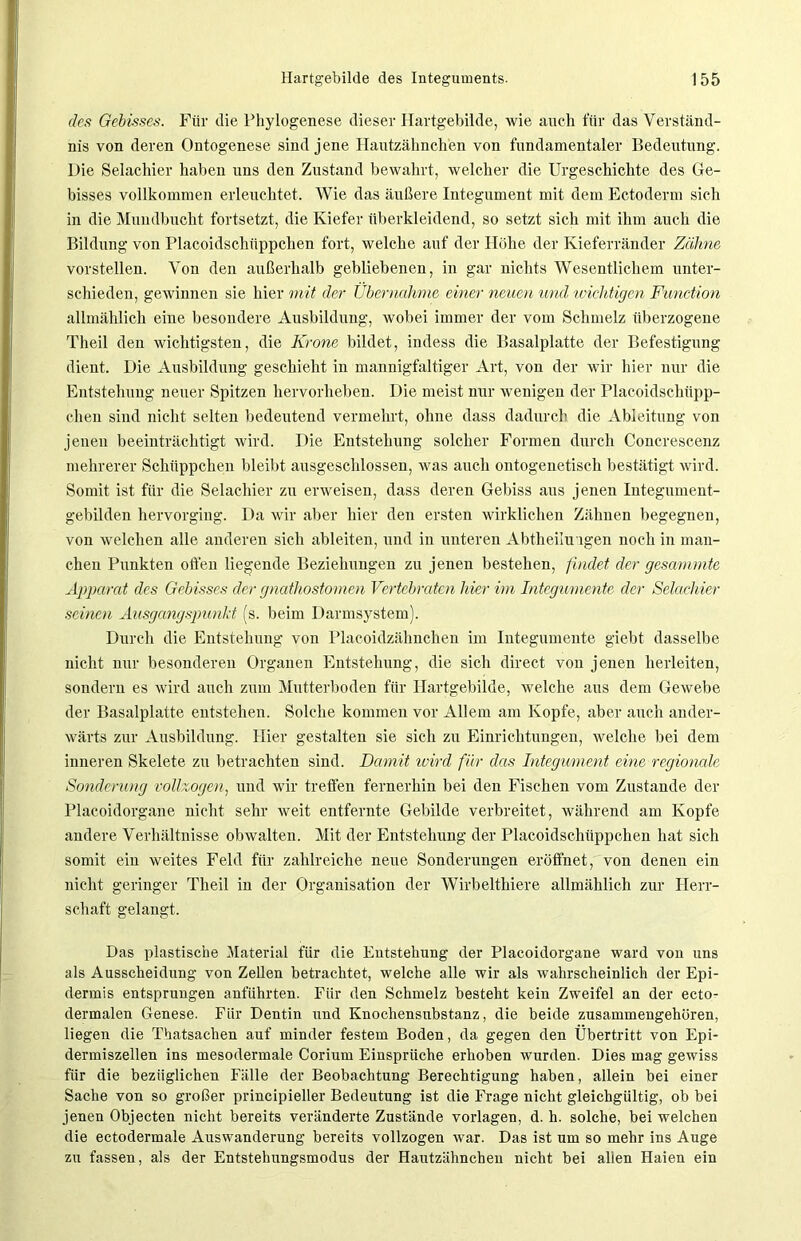 des Gebisses. Für die Phylogenese dieser Hartgebilde, wie auch für das Verständ- nis von deren Ontogenese sind jene Hautzähnch'en von fundamentaler Bedeutung. Die Selachier haben uns den Zustand bewahrt, welcher die Urgeschichte des Ge- bisses vollkommen erleuchtet. Wie das äußere Integument mit dem Ectoderm sich in die Mundbucht fortsetzt, die Kiefer überkleidend, so setzt sich mit ihm auch die Bildung von Placoidschiippchen fort, welche auf der Höhe der Kieferränder Zähne vorstellen. Von den außerhalb gebliebenen, in gar nichts Wesentlichem unter- schieden, gewinnen sie hier mit der Übernahme einer neuen und wichtigen Function allmählich eine besondere Ausbildung, wobei immer der vom Schmelz überzogene Theil den wichtigsten, die Krone bildet, indess die Basalplatte der Befestigung dient. Die Ausbildung geschieht in mannigfaltiger Art, von der wir hier nur die Entstehung neuer Spitzen hervorheben. Die meist nur wenigen der Placoidschüpp- clien sind nicht selten bedeutend vermehrt, ohne dass dadurch die Ableitung von jenen beeinträchtigt wird. Die Entstehung solcher Formen durch Concrescenz mehrerer Schüppchen bleibt ausgeschlossen, was auch ontogenetisch bestätigt wird. Somit ist für die Selachier zu erweisen, dass deren Gebiss aus jenen Integument- gebilden hervorging. Da wir aber hier den ersten wirklichen Zähnen begegnen, von welchen alle anderen sich ableiten, und in unteren Abtheilu igen noch in man- chen Punkten offen liegende Beziehungen zu jenen bestehen, findet der gesummte Apparat des Gebisses der gnathostomen Vertebraten liier im Integumente der Selachier seinem Ausgangspunkt (s. beim Darmsystem). Durch die Entstehung von Placoidzähnchen im Integumente giebt dasselbe nicht nur besonderen Organen Entstehung, die sich direct von jenen herleiten, sondern es wird auch zum Mutterboden für Hartgebilde, welche aus dem Gewebe der Basalplatte entstehen. Solche kommen vor Allem am Kopfe, aber auch ander- wärts zur Ausbildung. Hier gestalten sie sich zu Einrichtungen, welche bei dem inneren Skelete zu betrachten sind. Damit wird für das Integument eine regionale Sonderung vollzogen, und wir treffen fernerhin bei den Fischen vom Zustande der Placoidorgane nicht sehr weit entfernte Gebilde verbreitet, während am Kopfe andere Verhältnisse obwalten. Mit der Entstehung der Placoidschiippchen hat sich somit ein weites Feld für zahlreiche neue Sonderungen eröffnet, von denen ein nicht geringer Theil in der Organisation der Wirbelthiere allmählich zur Herr- schaft gelangt. Das plastische Material für die Entstehung der Placoidorgane ward von uns als Ausscheidung von Zellen betrachtet, welche alle wir als wahrscheinlich der Epi- dermis entsprungen anführten. Für den Schmelz besteht kein Zweifel an der ecto- dermalen Genese. Für Dentin und Knochensubstanz, die beide zusammengehören, liegen die Thatsachen auf minder festem Boden, da gegen den Übertritt von Epi- dermiszellen ins mesodermale Corium Einsprüche erhoben wurden. Dies mag gewiss für die bezüglichen Fälle der Beobachtung Berechtigung haben, allein bei einer Sache von so großer principieller Bedeutung ist die Frage nicht gleichgültig, ob bei jenen Objecten nicht bereits veränderte Zustände Vorlagen, d. h. solche, bei welchen die ectodermale Auswanderung bereits vollzogen war. Das ist um so mehr ins Auge zu fassen, als der Entstehungsmodus der Hautzähnchen nicht bei allen Haien ein