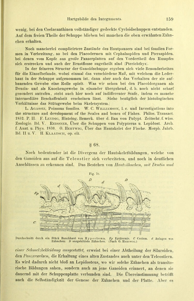 wenig, bei den Coelacanthinen vollständiger gedeckte Cycloidschuppen entstanden. Auf dem freien Tkeile der Schuppe blieben bei manchen die oben erwähnten Zähn- clien erhalten. Noch mancherlei complicirtere Zustände des Hautpanzers sind bei fossilen For- men in Verbreitung, so bei den Placodermen mit Cephalaspiden und Pteraspiden. bei denen vom Kopfe aus große Panzerplatten auf den Vordertheil des Rumpfes sich erstrecken und auch der Brustflosse zugetheilt sind (Pterichthys). In der feineren Structur der Ganoidschuppe ergeben sich viele Besonderheiten für die Einzelbefunde, wobei einmal das verschiedene Maß, mit welchem die Leder- haut in der Schuppe aufgenommen ist, dann aber auch das Verhalten der sie auf- bauenden Gewebe eine Rolle spielt. Was wir schon bei den Placoidorganen als Dentin- und als Knochengewebe in einander übergehend, d. h. noch nicht scharf gesondert antrafen, steht auch hier noch auf indifferenter Stufe, indem es manche intermediäre Beschaffenheit erscheinen lässt. (Siehe bezüglich der histologischen Verhältnisse das Stützgewebe beim Skeletsystem.) L. Agassiz, Poissons fossiles. W. C. Williamson, 1. c. und Investigations into the structure and development of the Scales and bones of Fishes. Philos. Transact. 1852. P. II. F. Leydig, Histolog. Bemerk, über d. Bau von Polypt. Zeitschr. f. wiss. Zoologie. Bd. V. Reissner, Über die Schuppen von Polypterus u. Lepidost. Arch. f. Anat. u. Phys. 1859. 0. Hertwig, Über das Hautskelet der Fische. Morph. Jahrb. Bd. II u. V. H. Klaatsch, op. eit. § 68. Noch bedeutender ist die Divergenz der Hautskeletbildungen, welche von den Ganoiden aus auf die Teleostier sich verbreiteten, und noch in deutlichen Anschlüssen zu erkennen sind. Das Bestehen von Hautzähnclien, mit Dentin und Fig. 70. Durchschnitt durch ein Stück Bauchhaut von Hypostoma. Ep Epidermis. C Corium. d Anlagen von Zähnchen. I) ausgebildete Zähnchen. (Nach 0. Hertwig.) einer Schmelzbekleidtmg ausgestattet, erweist bei einer Abtheilung der Siluroiden, den Panzerwelsen, die Erhaltung eines alten Zustandes auch unter den Teleostiern. Es wird dadurch nicht bloß an Lepidosteus, wo wir solche Zähnchen als transito- rische Bildungen sahen, sondern auch an jene Ganoiden erinnert, an denen sie dauernd mit der Schuppenplatte verbunden sind. Die Übereinstimmung betrifft auch die Selbständigkeit der Genese der Zähnchen und der Platte. Aber es